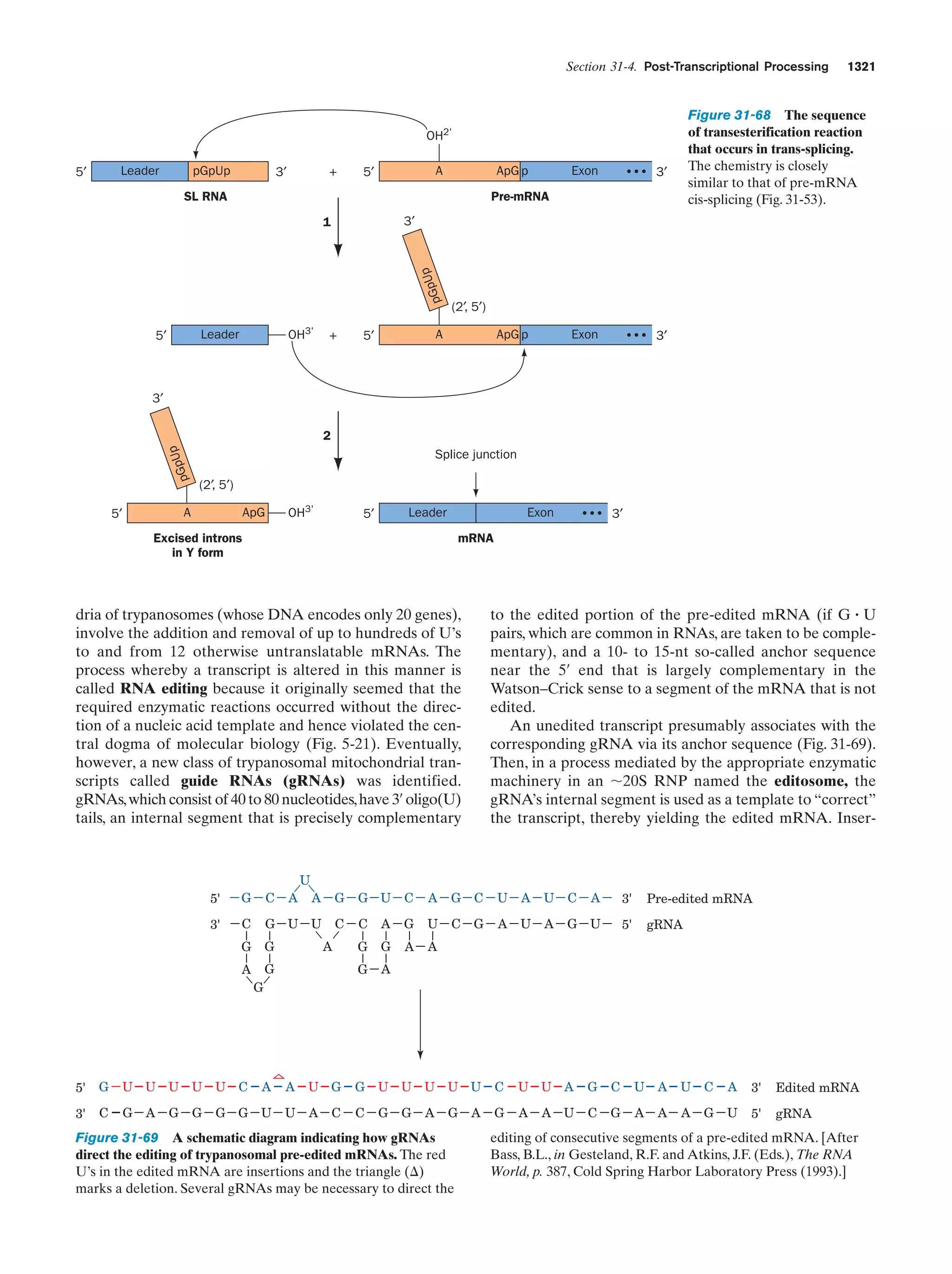 Biochemistry.4th.edition