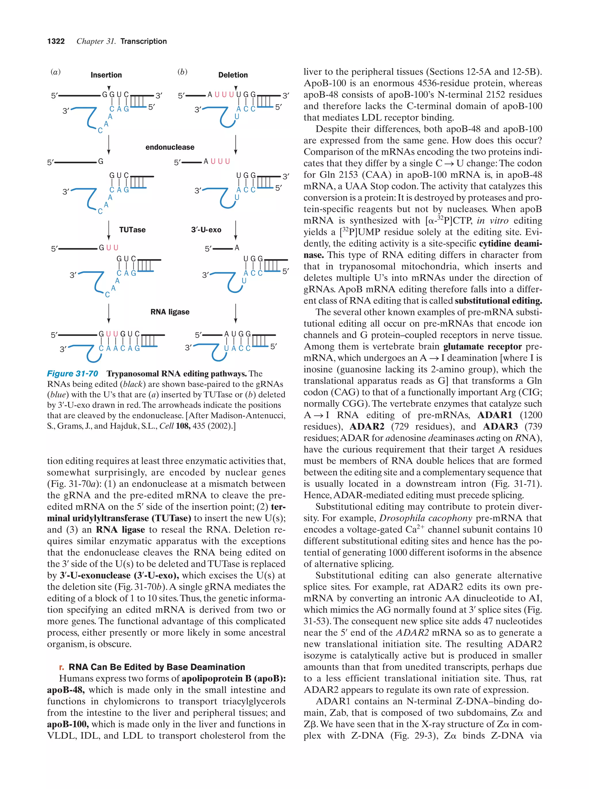 Biochemistry.4th.edition