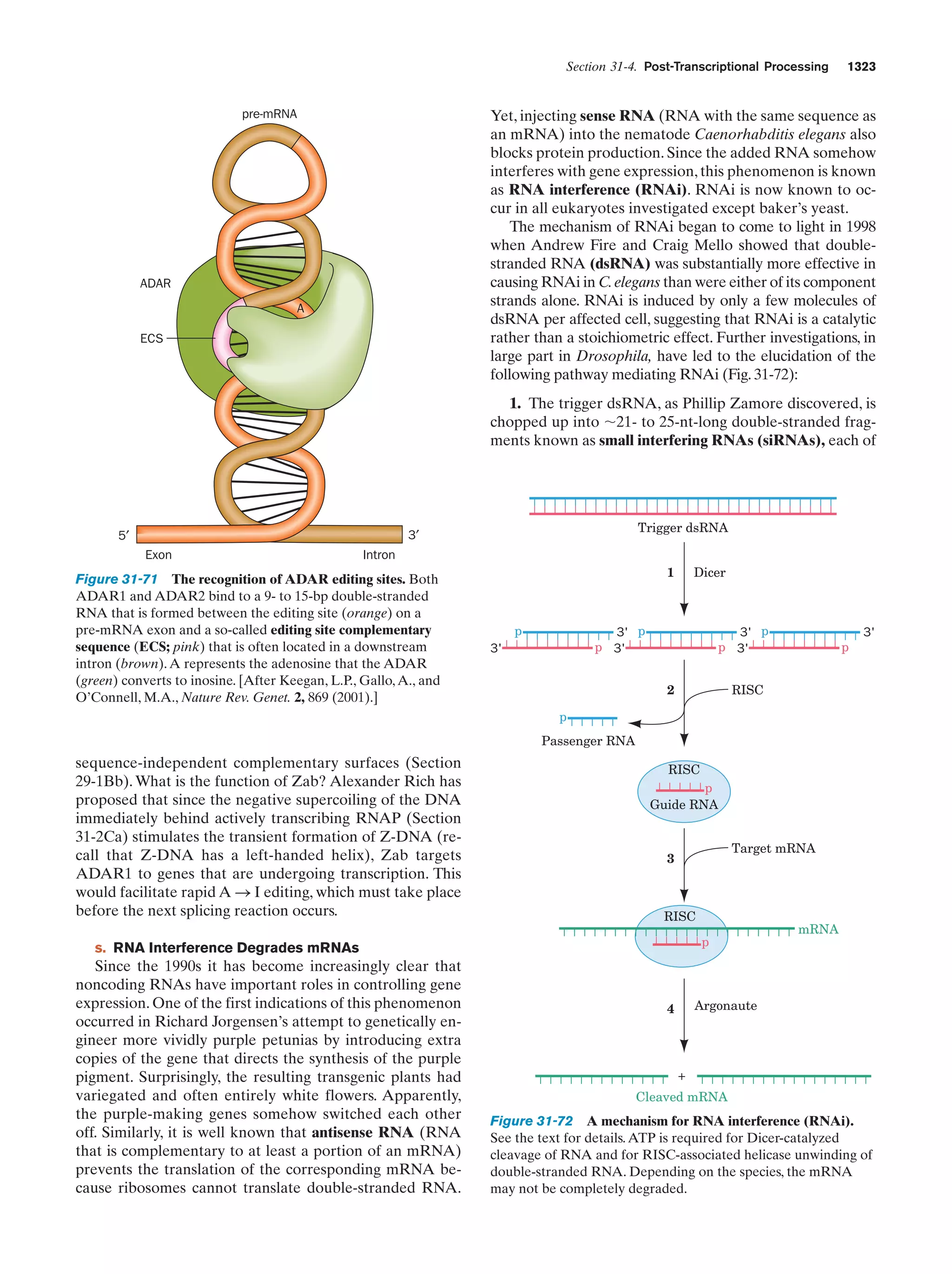 Biochemistry.4th.edition