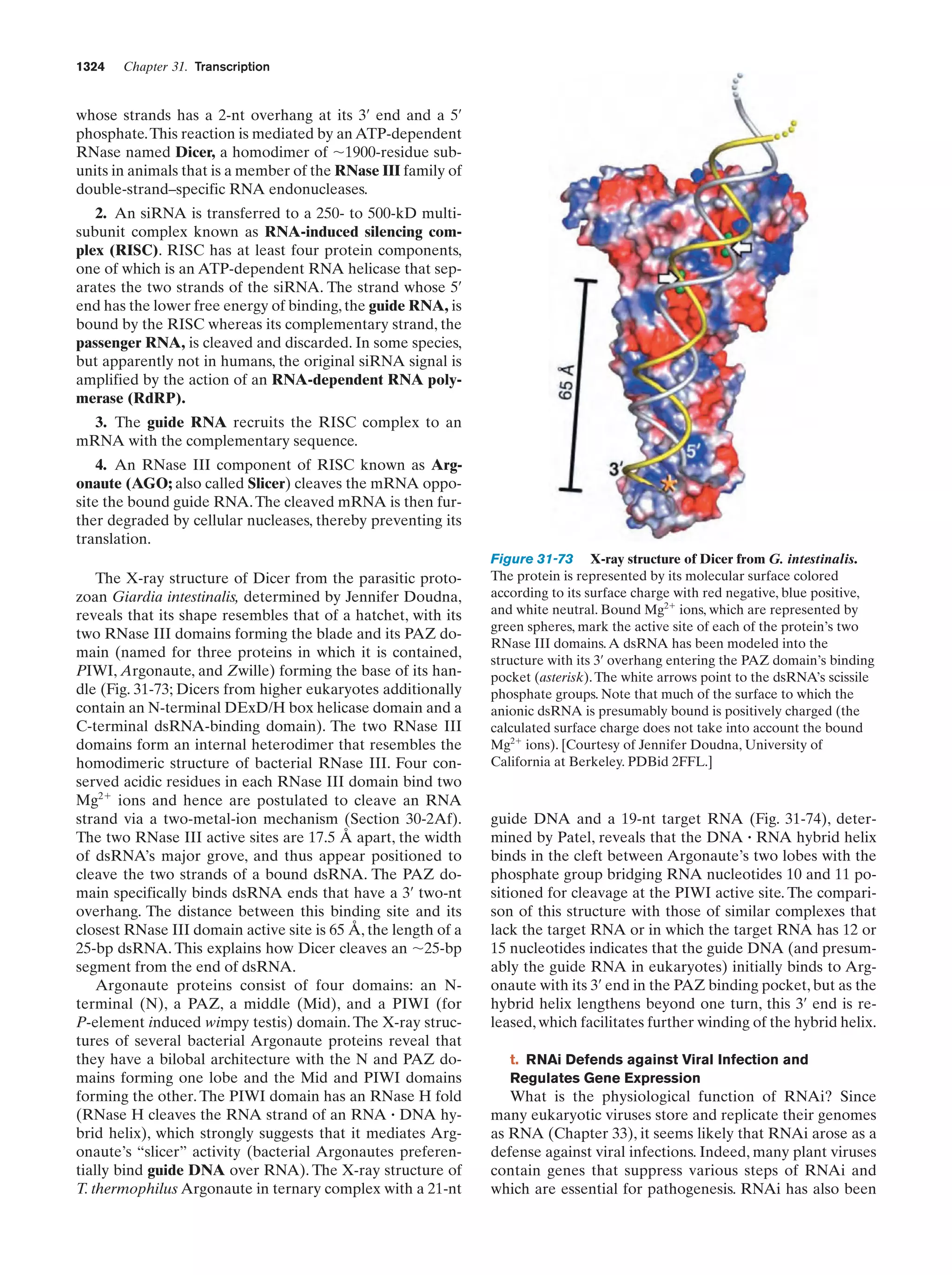 Biochemistry.4th.edition