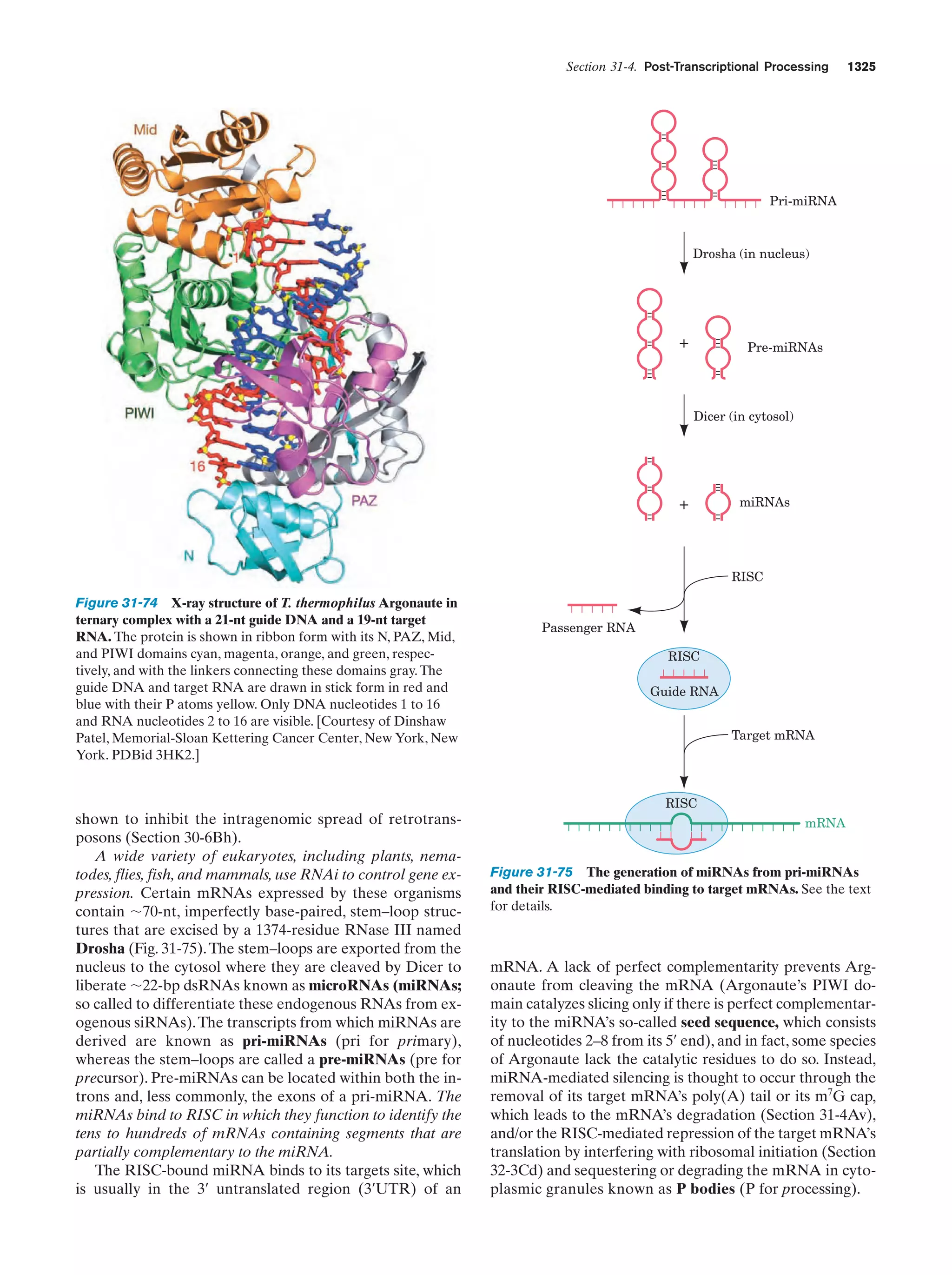 Biochemistry.4th.edition