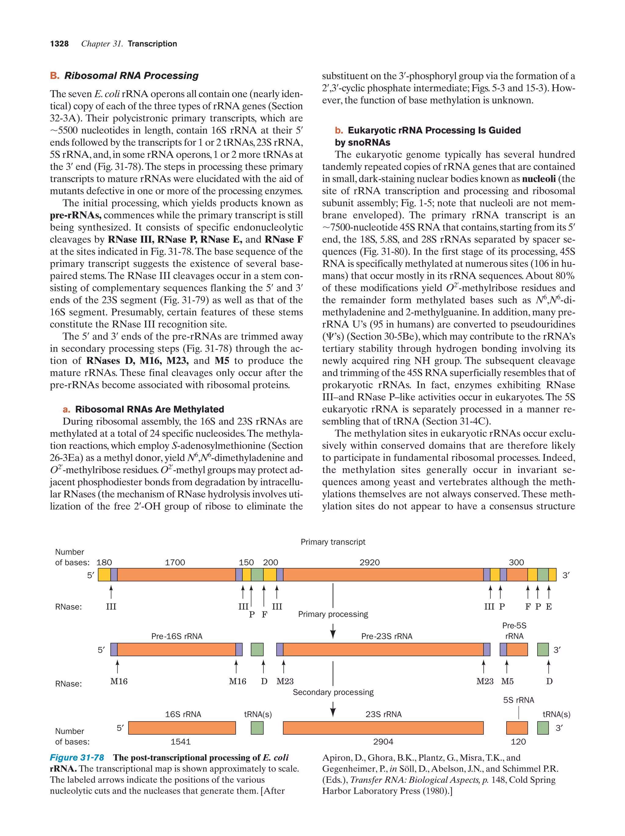 Biochemistry.4th.edition
