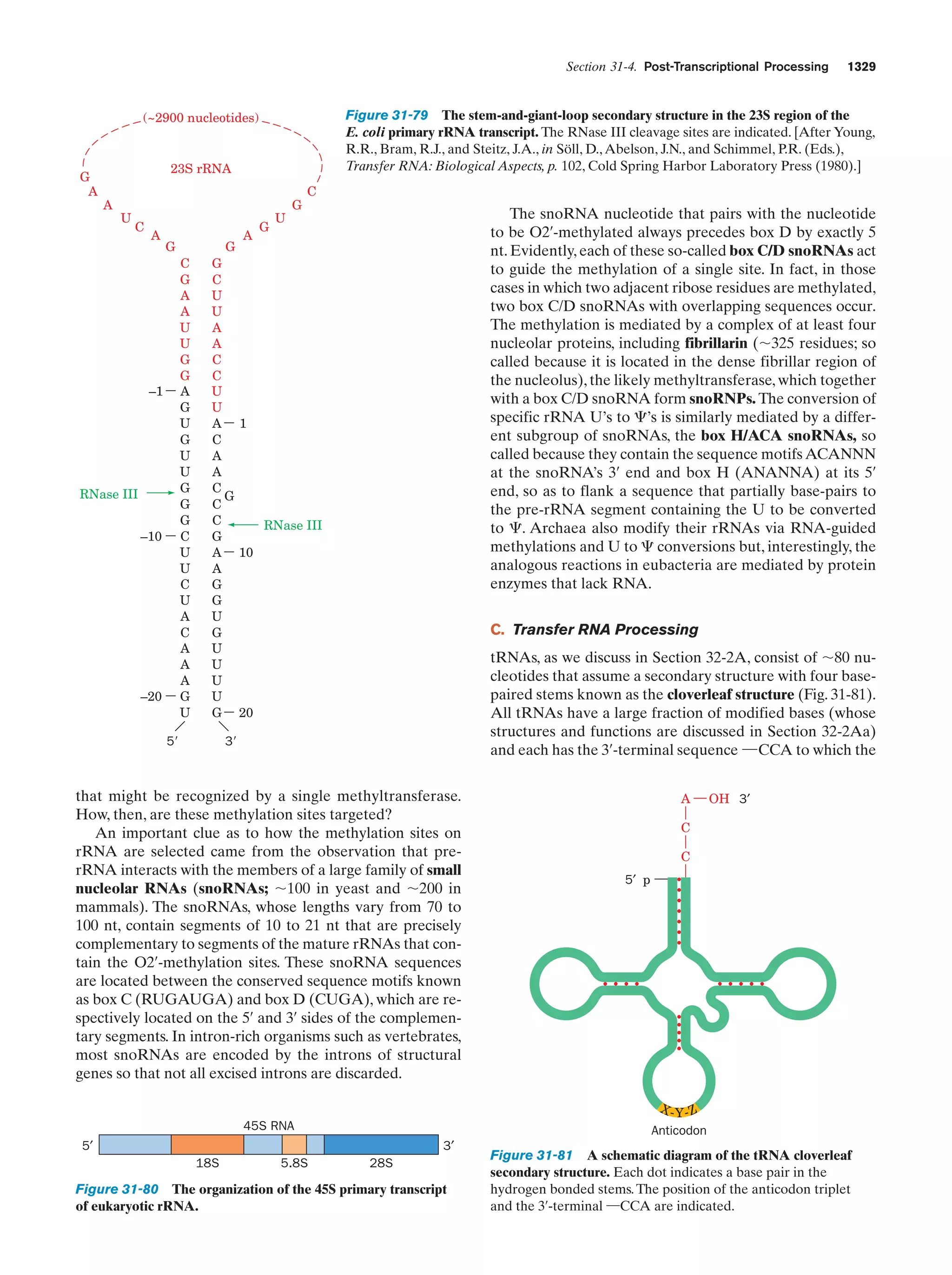 Biochemistry.4th.edition