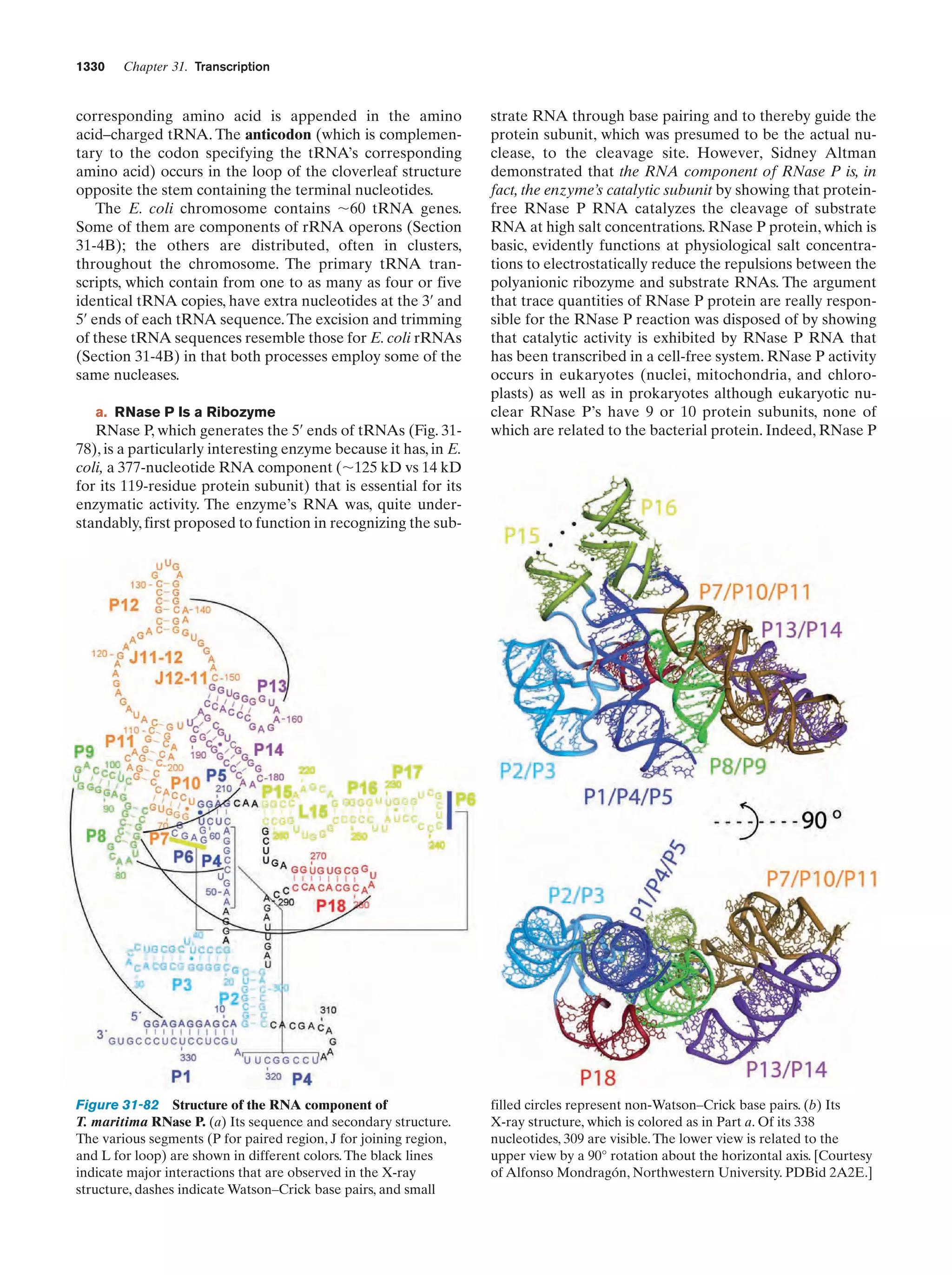 Biochemistry.4th.edition