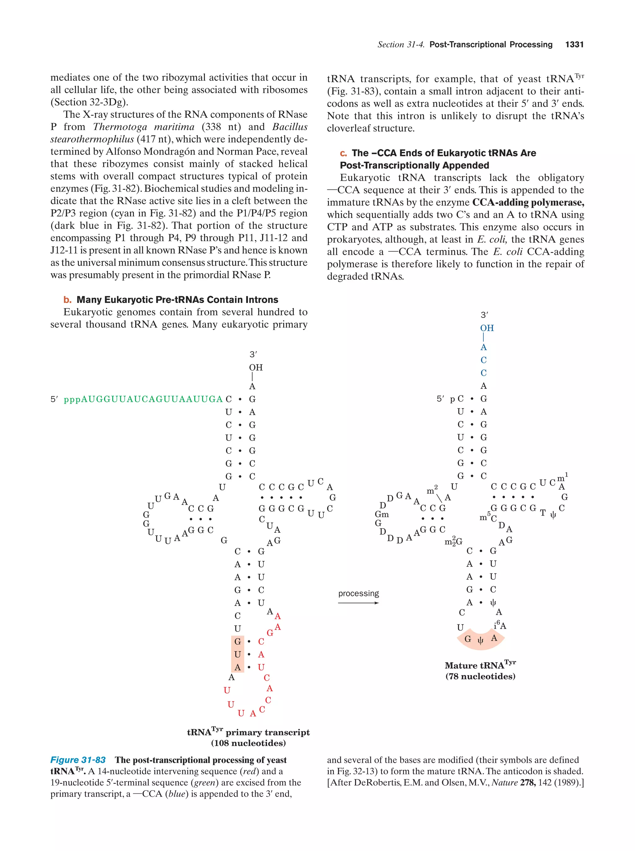 Biochemistry.4th.edition