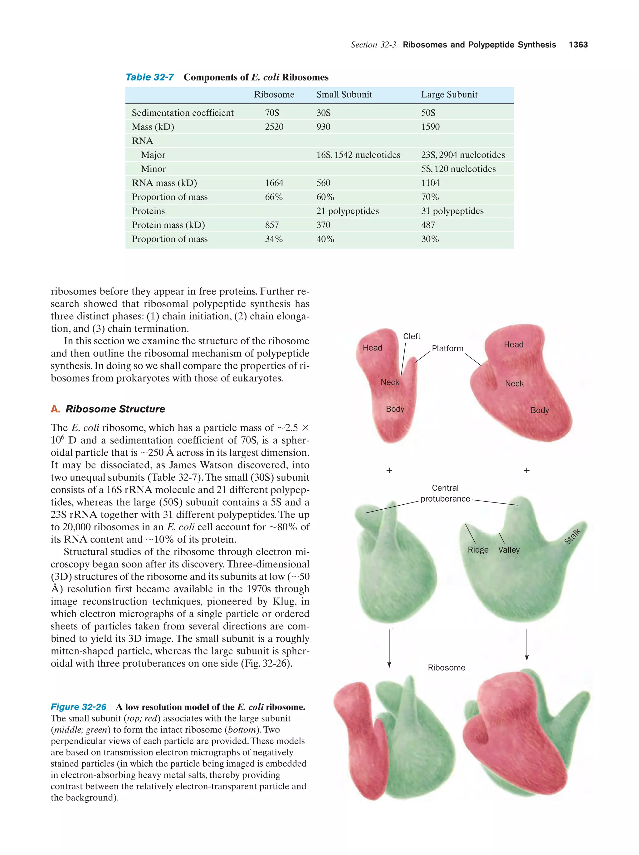 Biochemistry.4th.edition