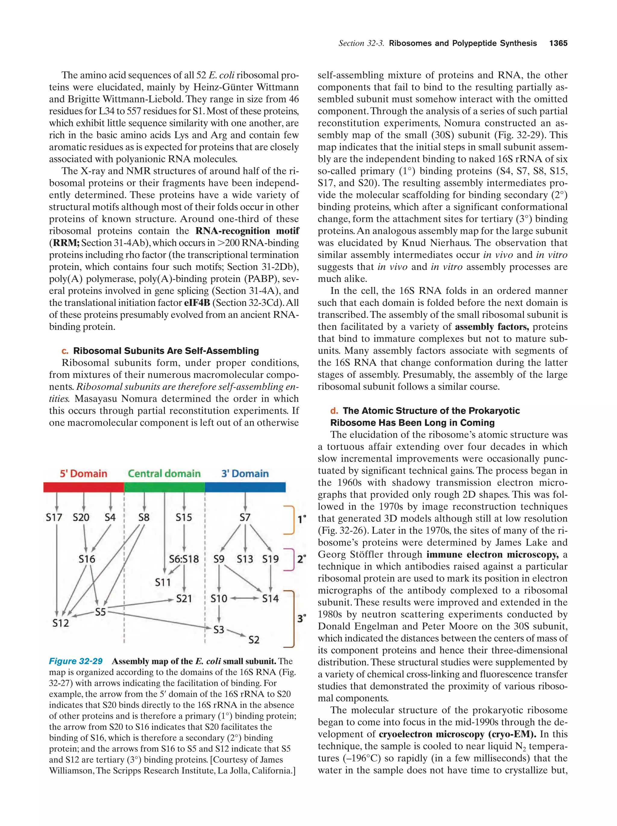 Biochemistry.4th.edition