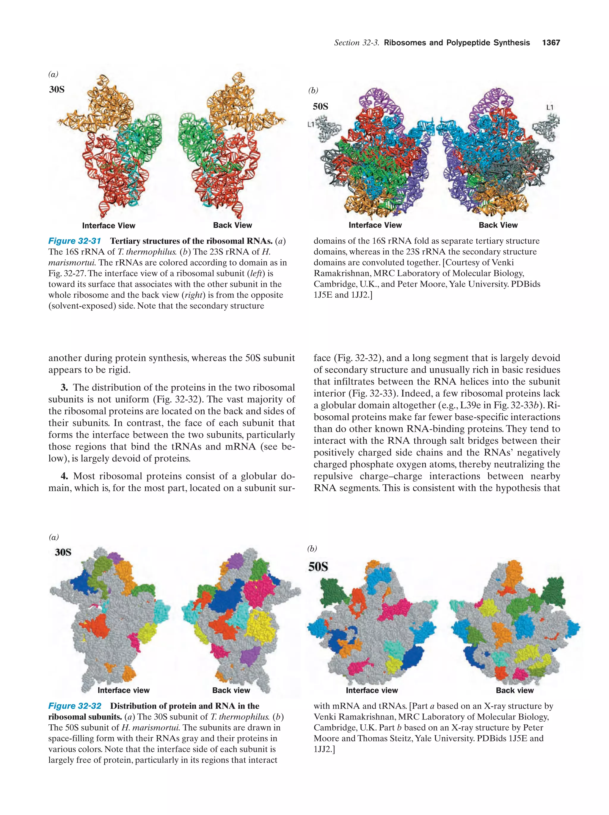 Biochemistry.4th.edition