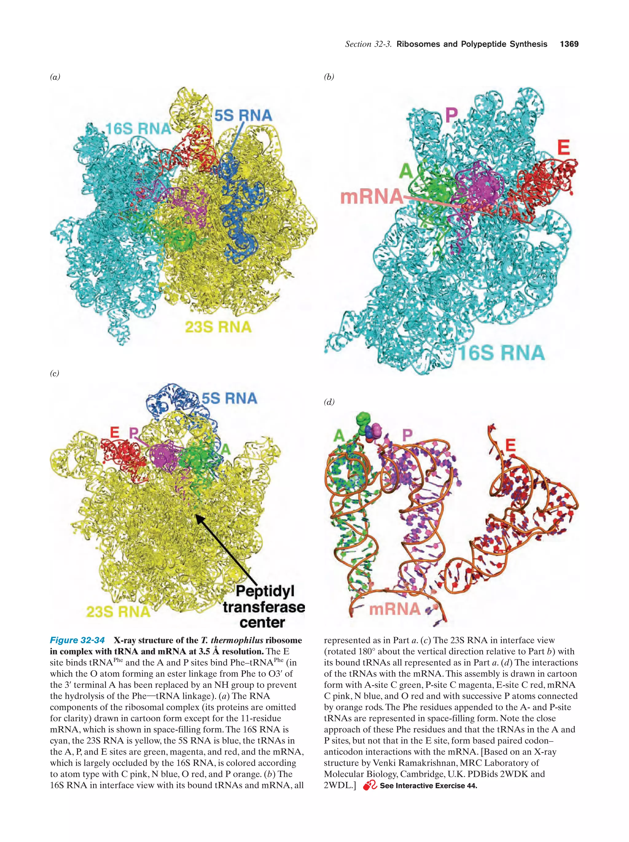 Biochemistry.4th.edition