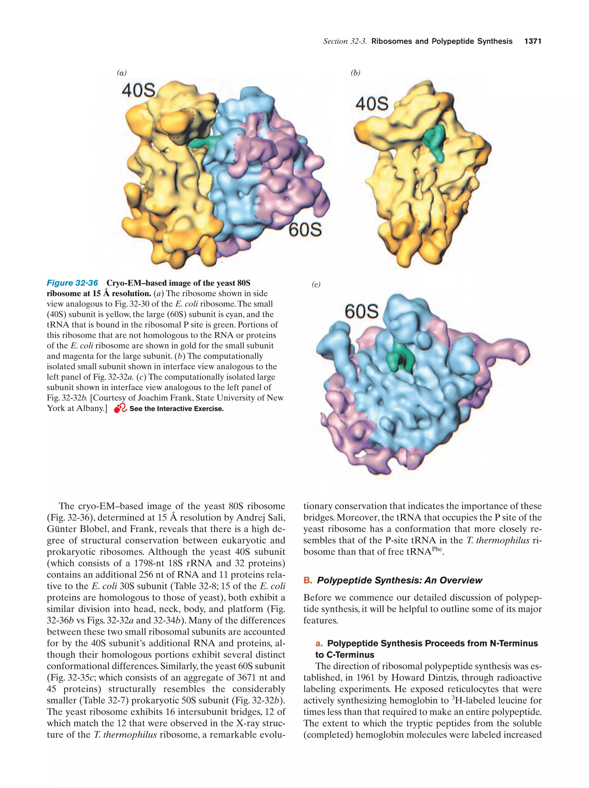 Biochemistry.4th.edition