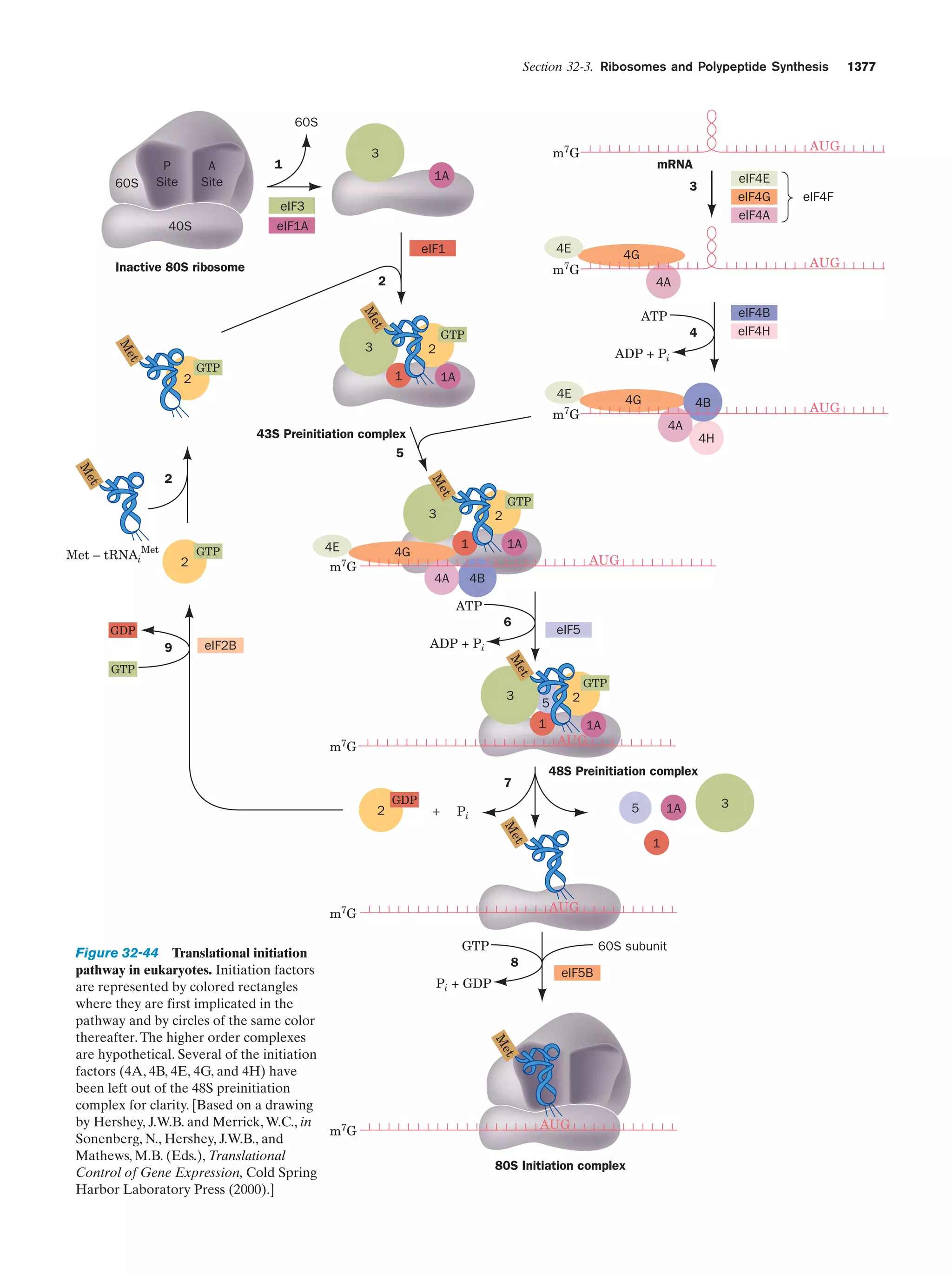 Biochemistry.4th.edition