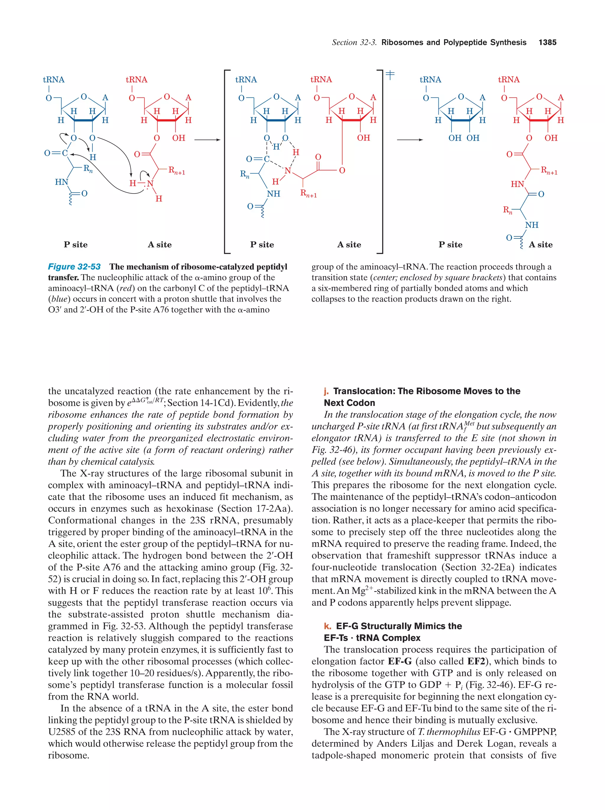 Biochemistry.4th.edition
