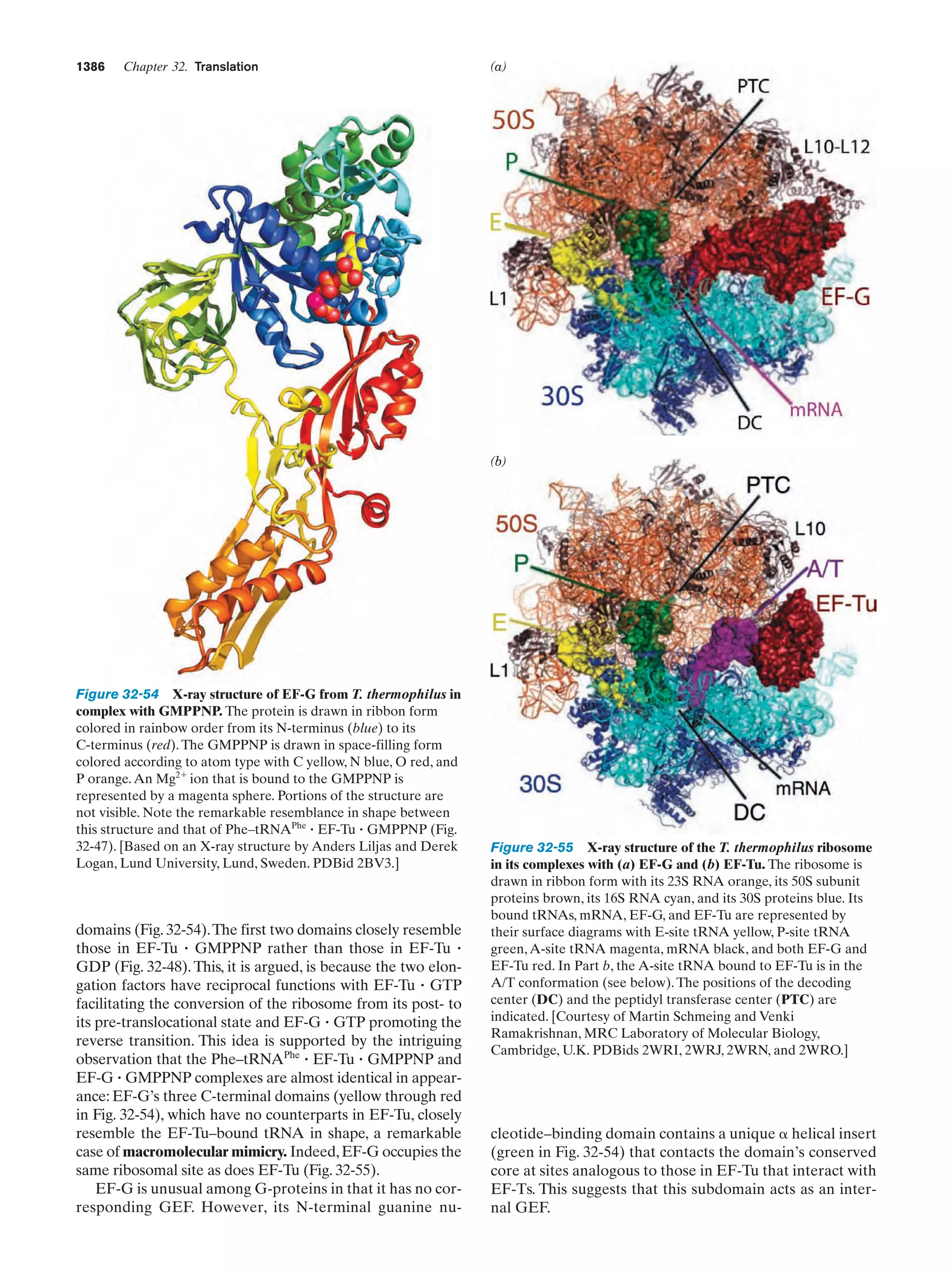Biochemistry.4th.edition