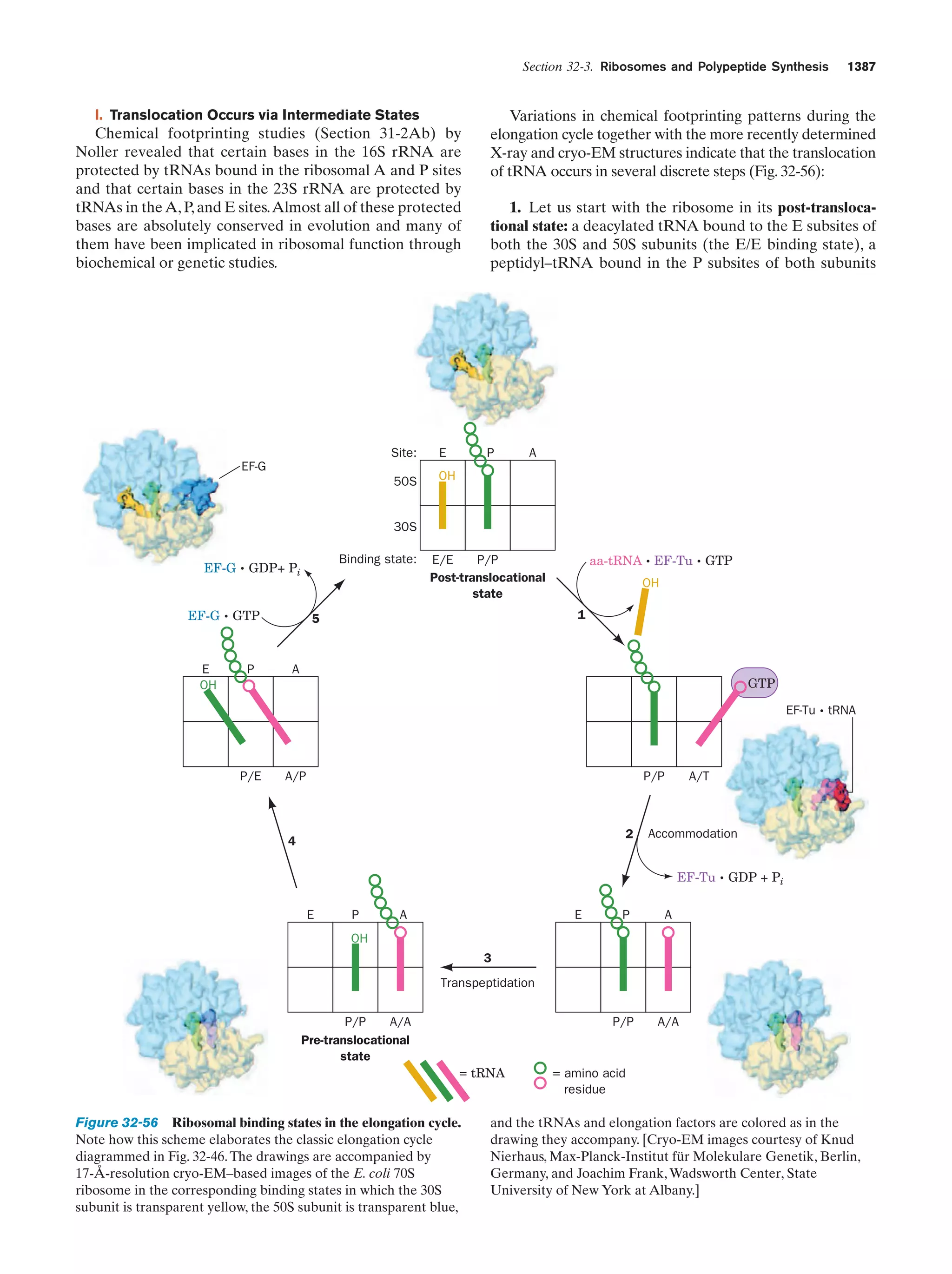 Biochemistry.4th.edition