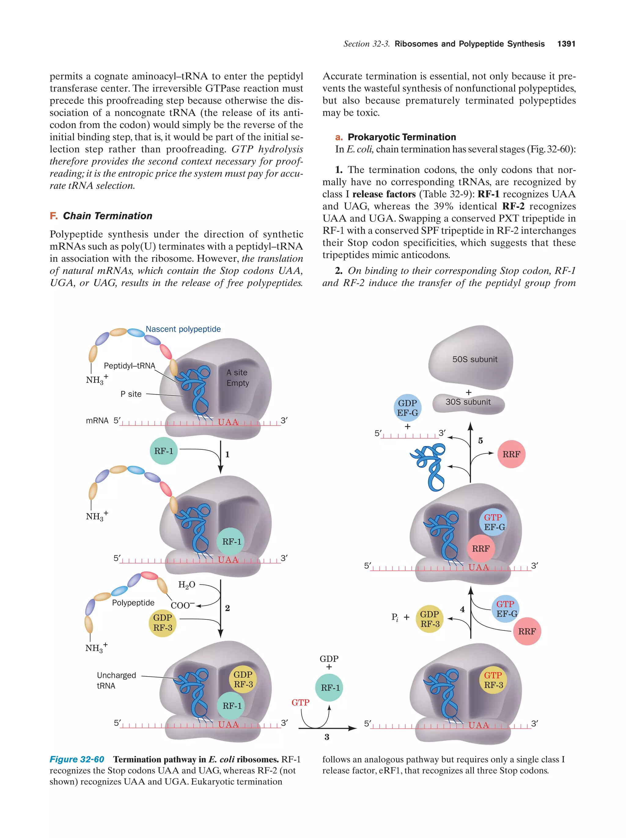 Biochemistry.4th.edition