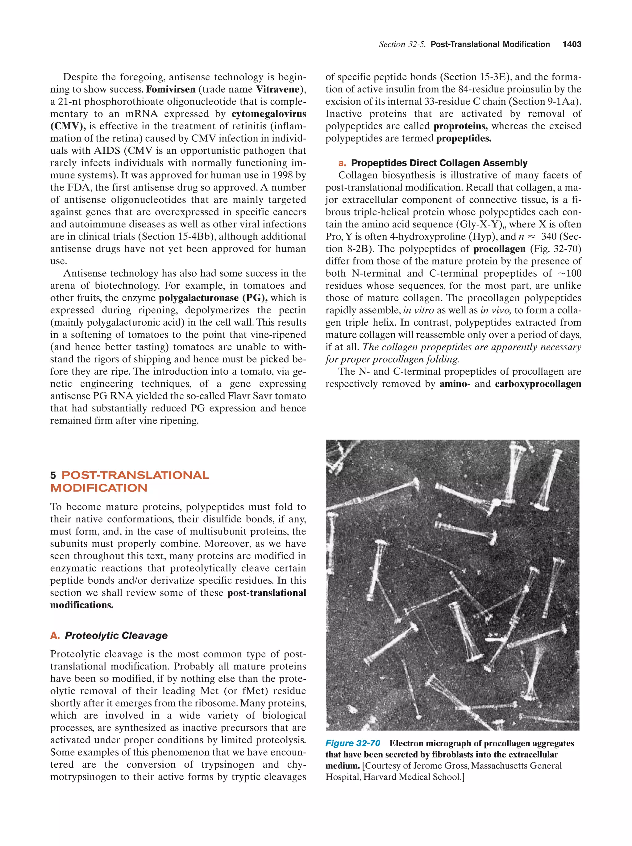 Biochemistry.4th.edition