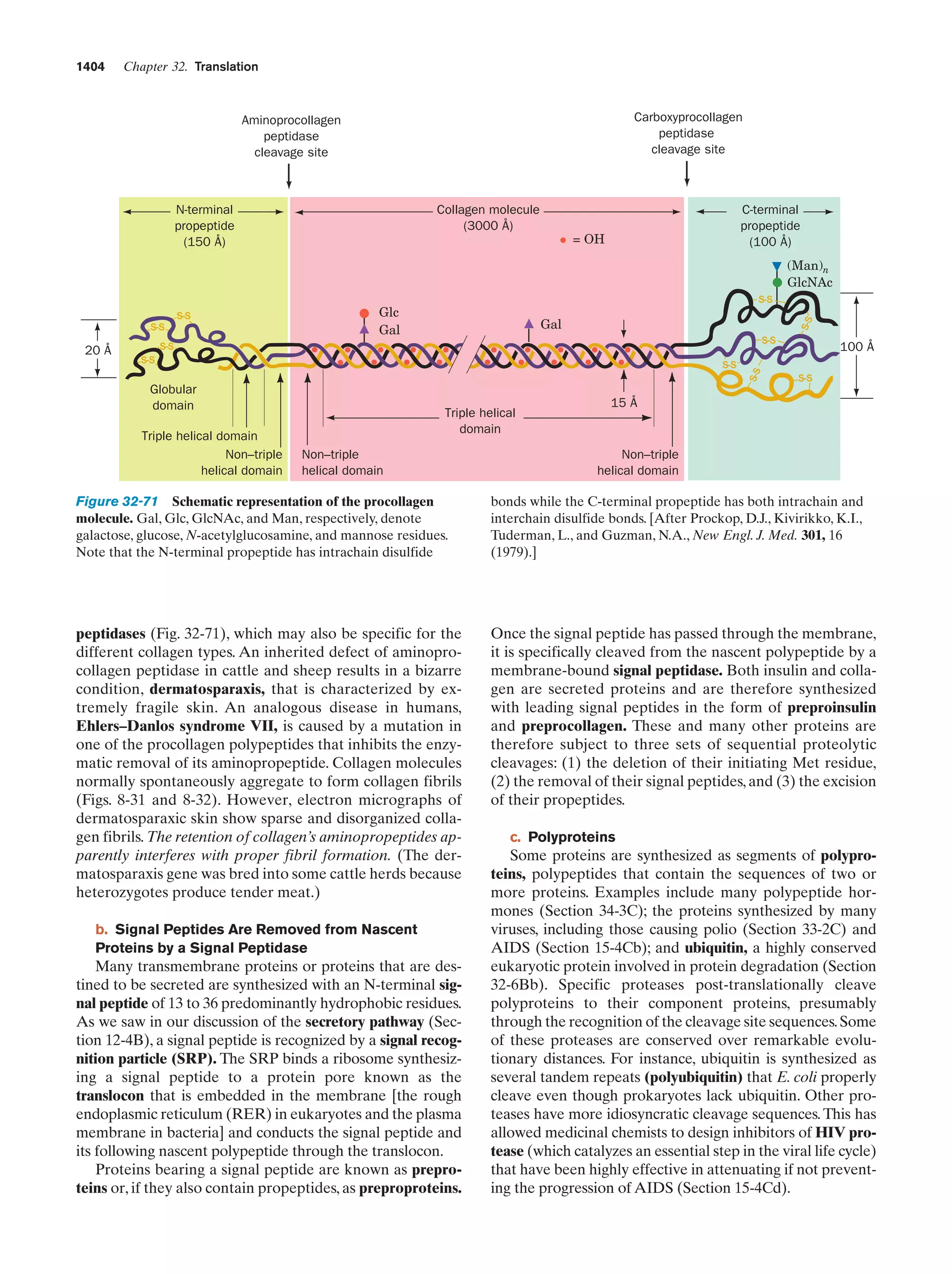 Biochemistry.4th.edition