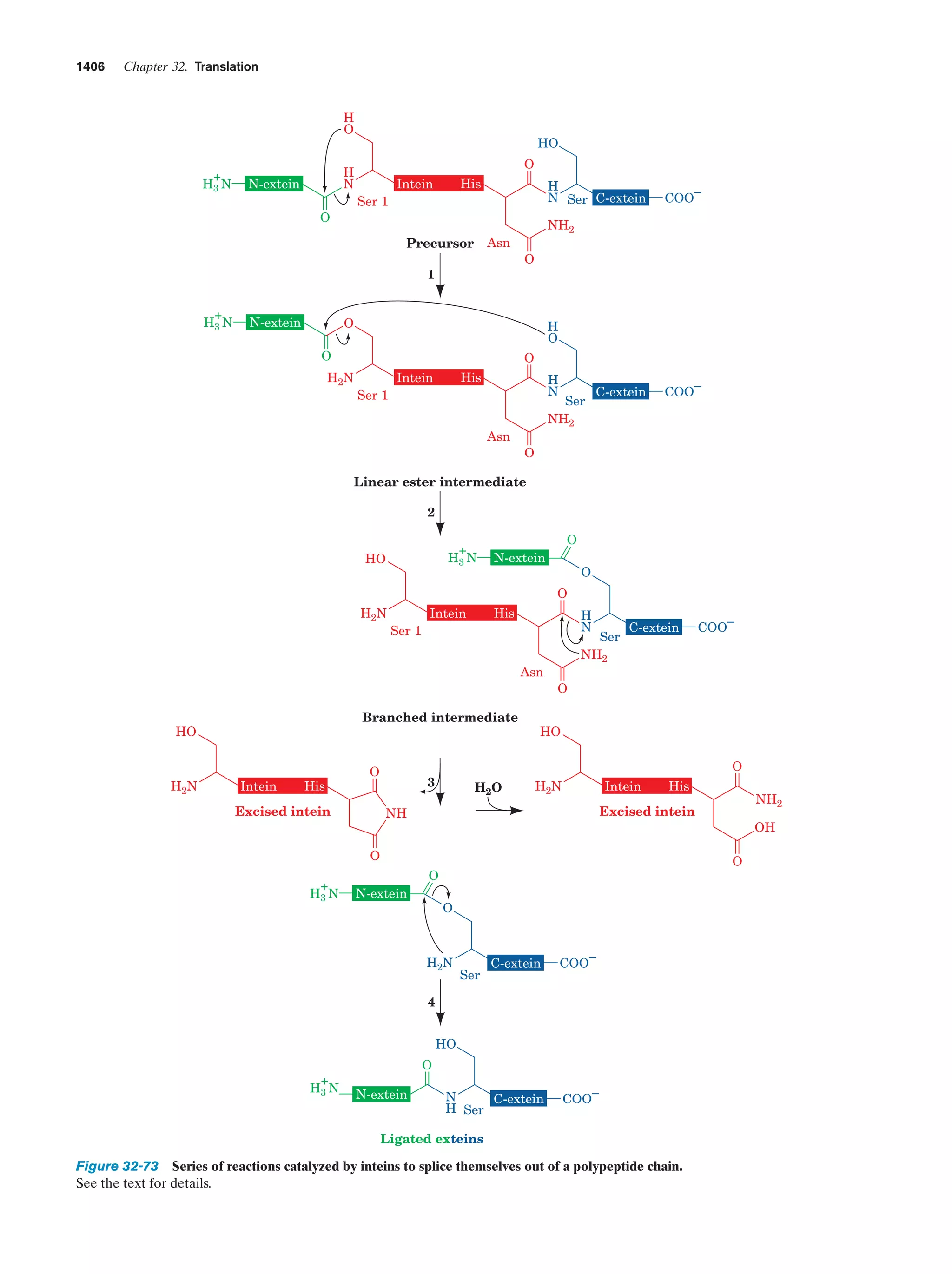 Biochemistry.4th.edition