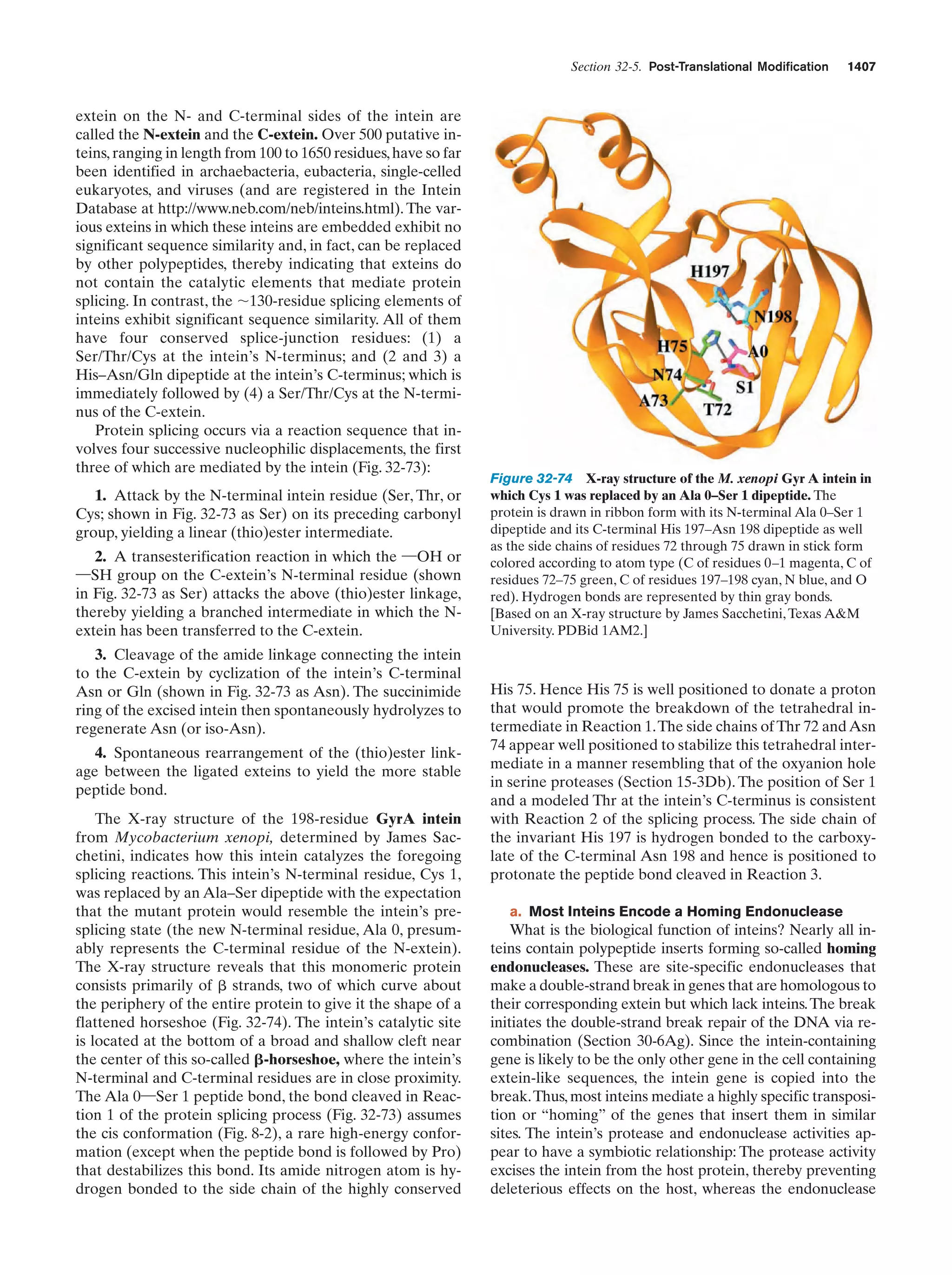 Biochemistry.4th.edition