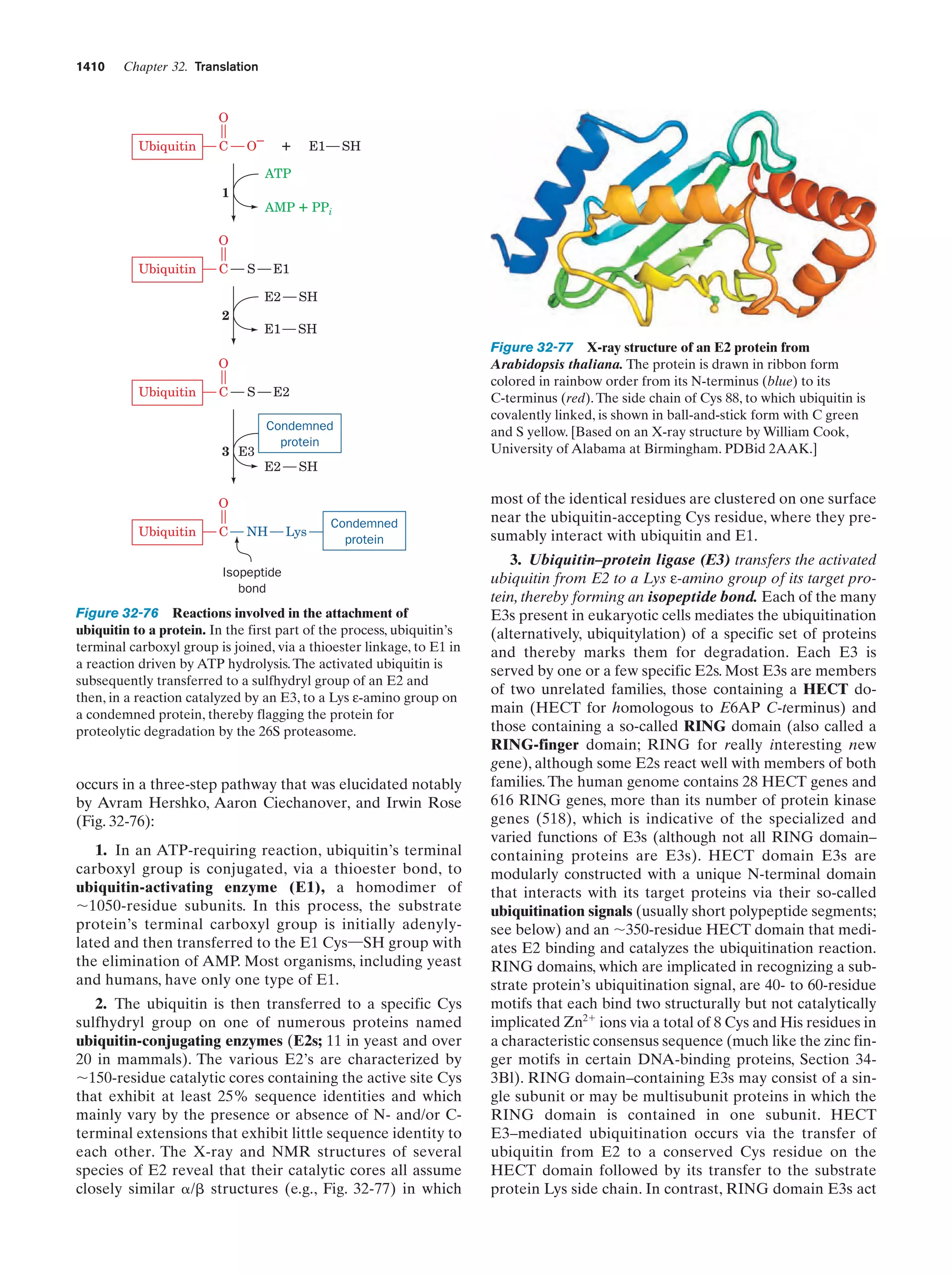 Biochemistry.4th.edition