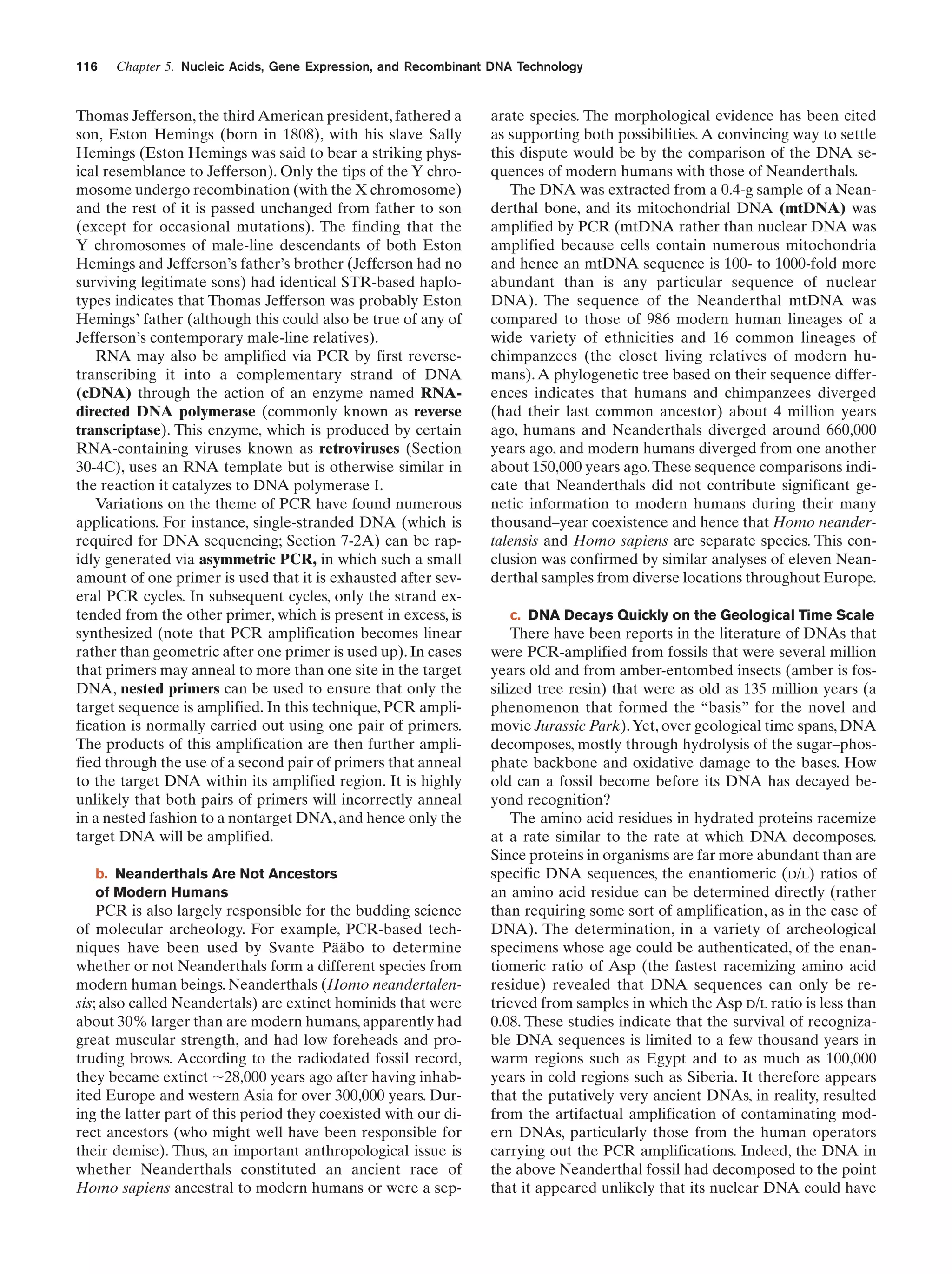 116

Chapter 5. Nucleic Acids, Gene Expression, and Recombinant DNA Technology

Thomas Jefferson, the third American president, fathered a
son, Eston Hemings (born in 1808), with his slave Sally
Hemings (Eston Hemings was said to bear a striking physical resemblance to Jefferson). Only the tips of the Y chromosome undergo recombination (with the X chromosome)
and the rest of it is passed unchanged from father to son
(except for occasional mutations). The finding that the
Y chromosomes of male-line descendants of both Eston
Hemings and Jefferson’s father’s brother (Jefferson had no
surviving legitimate sons) had identical STR-based haplotypes indicates that Thomas Jefferson was probably Eston
Hemings’ father (although this could also be true of any of
Jefferson’s contemporary male-line relatives).
RNA may also be amplified via PCR by first reversetranscribing it into a complementary strand of DNA
(cDNA) through the action of an enzyme named RNAdirected DNA polymerase (commonly known as reverse
transcriptase). This enzyme, which is produced by certain
RNA-containing viruses known as retroviruses (Section
30-4C), uses an RNA template but is otherwise similar in
the reaction it catalyzes to DNA polymerase I.
Variations on the theme of PCR have found numerous
applications. For instance, single-stranded DNA (which is
required for DNA sequencing; Section 7-2A) can be rapidly generated via asymmetric PCR, in which such a small
amount of one primer is used that it is exhausted after several PCR cycles. In subsequent cycles, only the strand extended from the other primer, which is present in excess, is
synthesized (note that PCR amplification becomes linear
rather than geometric after one primer is used up). In cases
that primers may anneal to more than one site in the target
DNA, nested primers can be used to ensure that only the
target sequence is amplified. In this technique, PCR amplification is normally carried out using one pair of primers.
The products of this amplification are then further amplified through the use of a second pair of primers that anneal
to the target DNA within its amplified region. It is highly
unlikely that both pairs of primers will incorrectly anneal
in a nested fashion to a nontarget DNA, and hence only the
target DNA will be amplified.
b. Neanderthals Are Not Ancestors
of Modern Humans

PCR is also largely responsible for the budding science
of molecular archeology. For example, PCR-based techniques have been used by Svante Pääbo to determine
whether or not Neanderthals form a different species from
modern human beings. Neanderthals (Homo neandertalensis; also called Neandertals) are extinct hominids that were
about 30% larger than are modern humans, apparently had
great muscular strength, and had low foreheads and protruding brows. According to the radiodated fossil record,
they became extinct ϳ28,000 years ago after having inhabited Europe and western Asia for over 300,000 years. During the latter part of this period they coexisted with our direct ancestors (who might well have been responsible for
their demise). Thus, an important anthropological issue is
whether Neanderthals constituted an ancient race of
Homo sapiens ancestral to modern humans or were a sep-

arate species. The morphological evidence has been cited
as supporting both possibilities. A convincing way to settle
this dispute would be by the comparison of the DNA sequences of modern humans with those of Neanderthals.
The DNA was extracted from a 0.4-g sample of a Neanderthal bone, and its mitochondrial DNA (mtDNA) was
amplified by PCR (mtDNA rather than nuclear DNA was
amplified because cells contain numerous mitochondria
and hence an mtDNA sequence is 100- to 1000-fold more
abundant than is any particular sequence of nuclear
DNA). The sequence of the Neanderthal mtDNA was
compared to those of 986 modern human lineages of a
wide variety of ethnicities and 16 common lineages of
chimpanzees (the closet living relatives of modern humans). A phylogenetic tree based on their sequence differences indicates that humans and chimpanzees diverged
(had their last common ancestor) about 4 million years
ago, humans and Neanderthals diverged around 660,000
years ago, and modern humans diverged from one another
about 150,000 years ago. These sequence comparisons indicate that Neanderthals did not contribute significant genetic information to modern humans during their many
thousand–year coexistence and hence that Homo neandertalensis and Homo sapiens are separate species. This conclusion was confirmed by similar analyses of eleven Neanderthal samples from diverse locations throughout Europe.
c. DNA Decays Quickly on the Geological Time Scale

There have been reports in the literature of DNAs that
were PCR-amplified from fossils that were several million
years old and from amber-entombed insects (amber is fossilized tree resin) that were as old as 135 million years (a
phenomenon that formed the “basis” for the novel and
movie Jurassic Park). Yet, over geological time spans, DNA
decomposes, mostly through hydrolysis of the sugar–phosphate backbone and oxidative damage to the bases. How
old can a fossil become before its DNA has decayed beyond recognition?
The amino acid residues in hydrated proteins racemize
at a rate similar to the rate at which DNA decomposes.
Since proteins in organisms are far more abundant than are
specific DNA sequences, the enantiomeric (D/L) ratios of
an amino acid residue can be determined directly (rather
than requiring some sort of amplification, as in the case of
DNA). The determination, in a variety of archeological
specimens whose age could be authenticated, of the enantiomeric ratio of Asp (the fastest racemizing amino acid
residue) revealed that DNA sequences can only be retrieved from samples in which the Asp D/L ratio is less than
0.08. These studies indicate that the survival of recognizable DNA sequences is limited to a few thousand years in
warm regions such as Egypt and to as much as 100,000
years in cold regions such as Siberia. It therefore appears
that the putatively very ancient DNAs, in reality, resulted
from the artifactual amplification of contaminating modern DNAs, particularly those from the human operators
carrying out the PCR amplifications. Indeed, the DNA in
the above Neanderthal fossil had decomposed to the point
that it appeared unlikely that its nuclear DNA could have

 