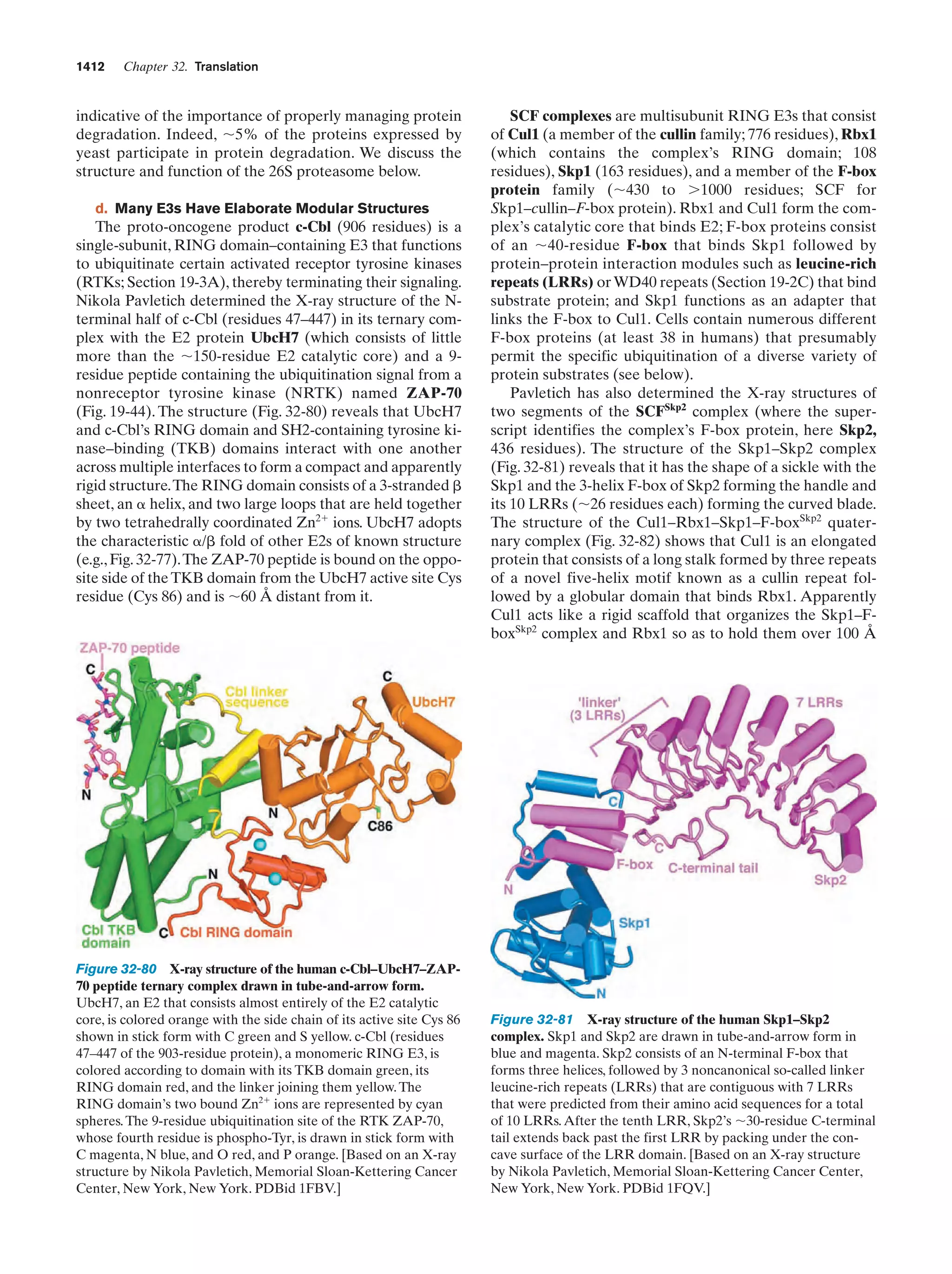 Biochemistry.4th.edition