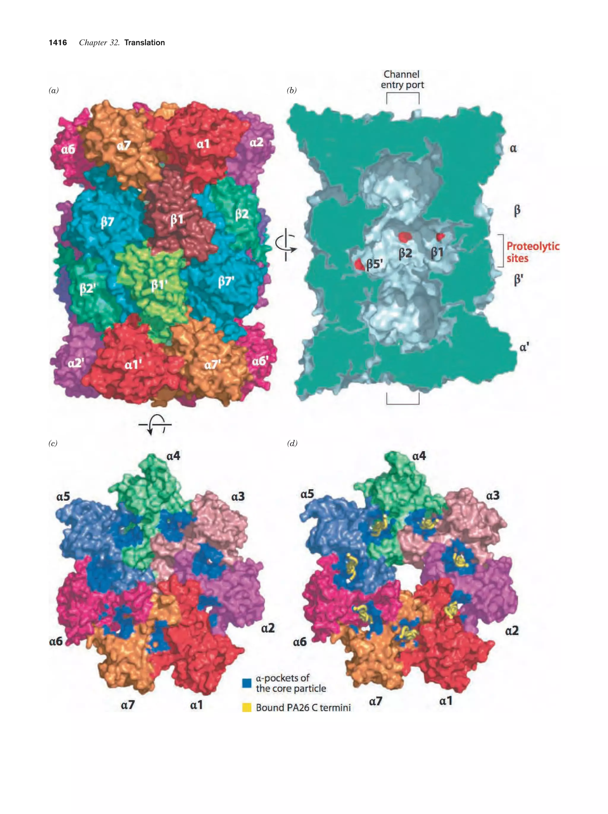 Biochemistry.4th.edition