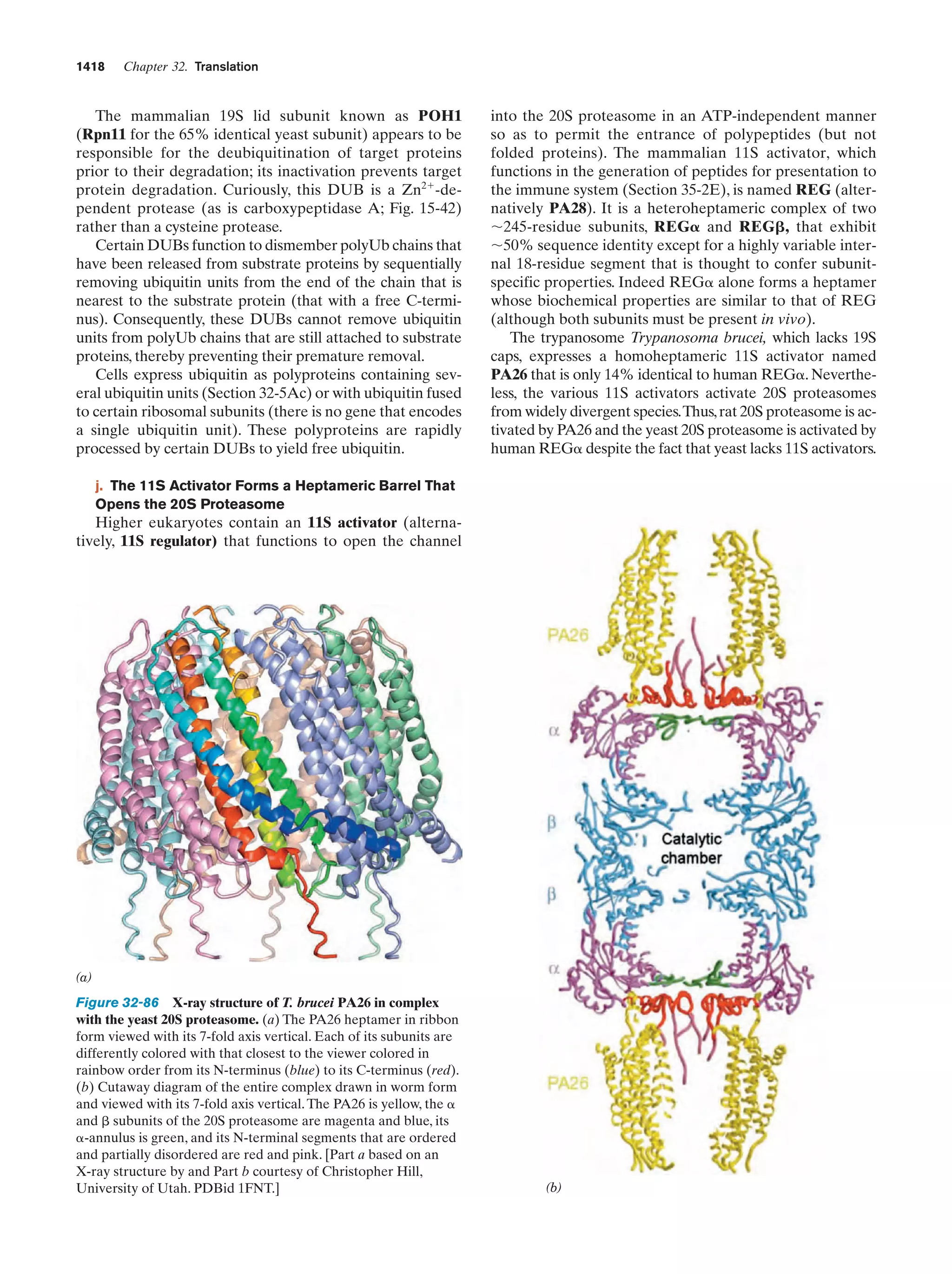 Biochemistry.4th.edition