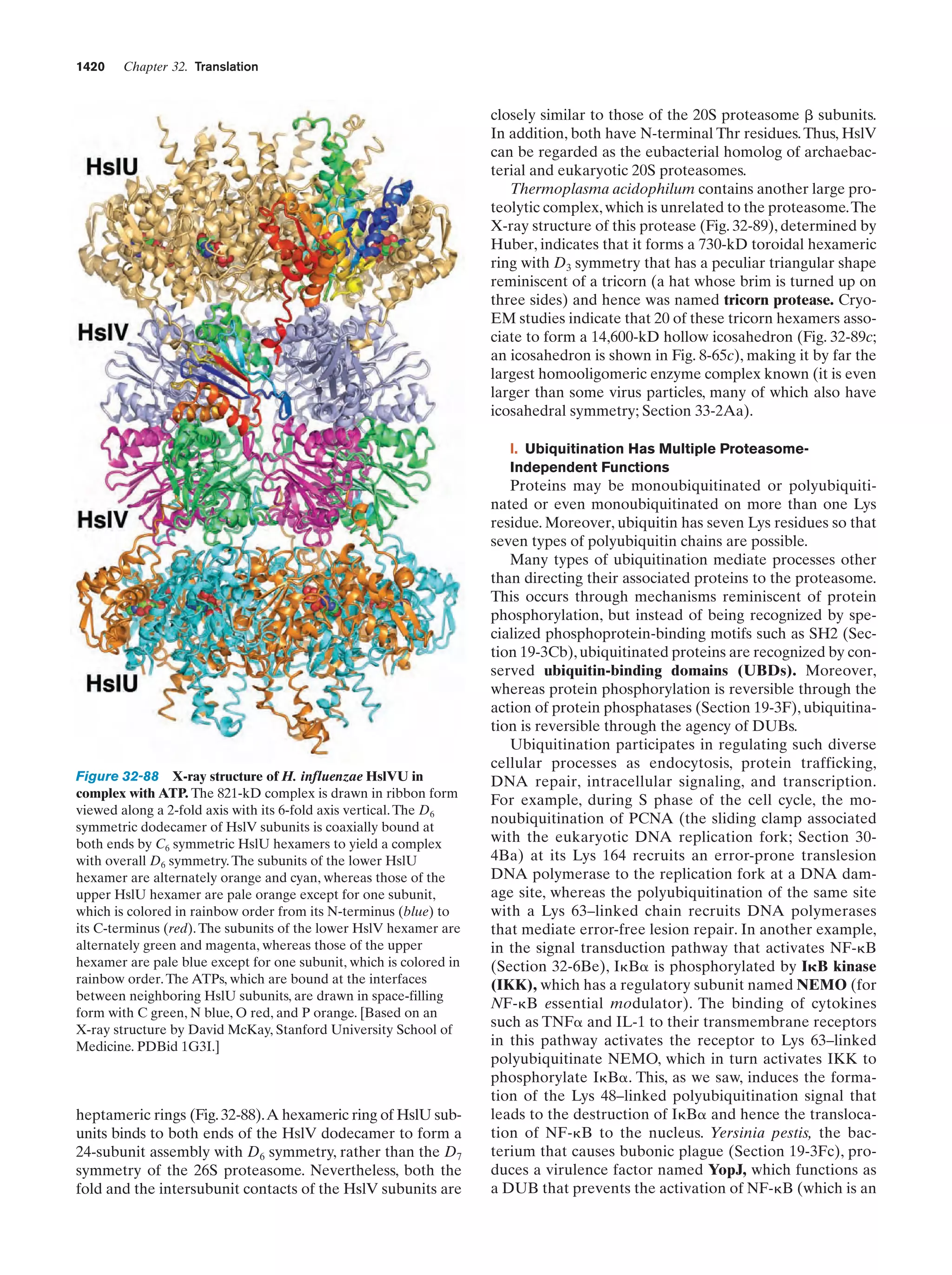 Biochemistry.4th.edition