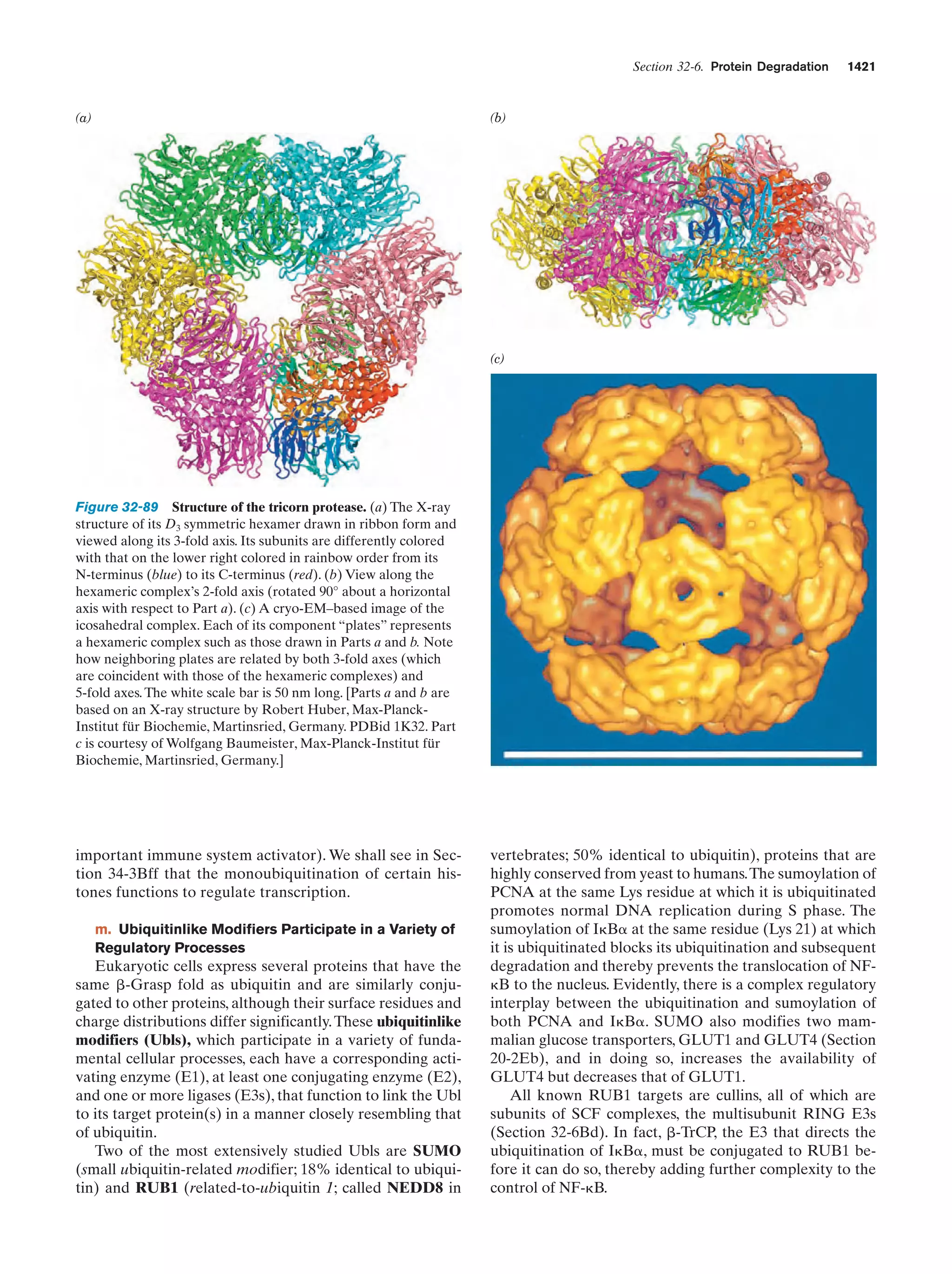 Biochemistry.4th.edition