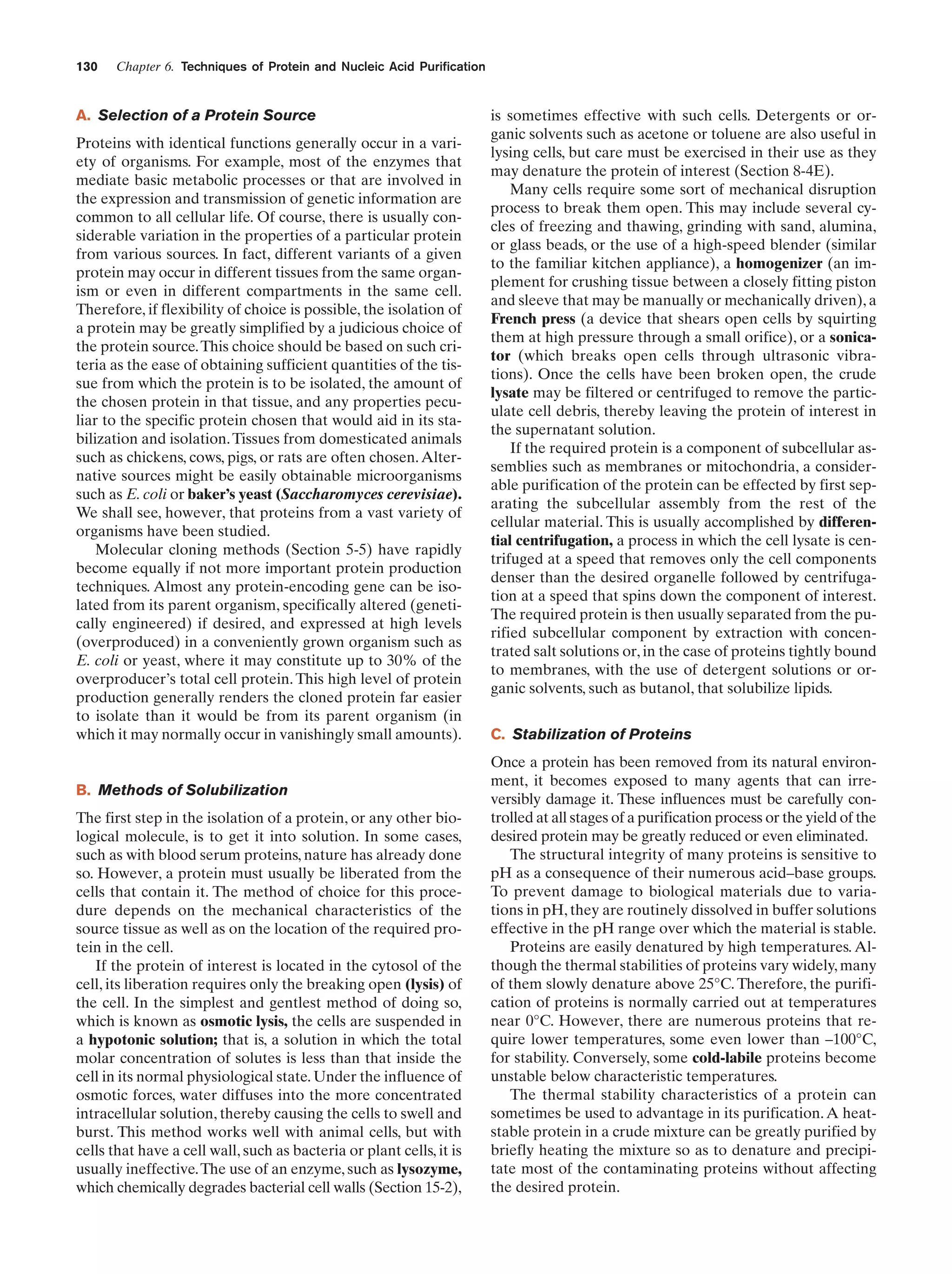 130

Chapter 6. Techniques of Protein and Nucleic Acid Purification

A. Selection of a Protein Source
Proteins with identical functions generally occur in a variety of organisms. For example, most of the enzymes that
mediate basic metabolic processes or that are involved in
the expression and transmission of genetic information are
common to all cellular life. Of course, there is usually considerable variation in the properties of a particular protein
from various sources. In fact, different variants of a given
protein may occur in different tissues from the same organism or even in different compartments in the same cell.
Therefore, if flexibility of choice is possible, the isolation of
a protein may be greatly simplified by a judicious choice of
the protein source. This choice should be based on such criteria as the ease of obtaining sufficient quantities of the tissue from which the protein is to be isolated, the amount of
the chosen protein in that tissue, and any properties peculiar to the specific protein chosen that would aid in its stabilization and isolation. Tissues from domesticated animals
such as chickens, cows, pigs, or rats are often chosen. Alternative sources might be easily obtainable microorganisms
such as E. coli or baker’s yeast (Saccharomyces cerevisiae).
We shall see, however, that proteins from a vast variety of
organisms have been studied.
Molecular cloning methods (Section 5-5) have rapidly
become equally if not more important protein production
techniques. Almost any protein-encoding gene can be isolated from its parent organism, specifically altered (genetically engineered) if desired, and expressed at high levels
(overproduced) in a conveniently grown organism such as
E. coli or yeast, where it may constitute up to 30% of the
overproducer’s total cell protein. This high level of protein
production generally renders the cloned protein far easier
to isolate than it would be from its parent organism (in
which it may normally occur in vanishingly small amounts).

B. Methods of Solubilization
The first step in the isolation of a protein, or any other biological molecule, is to get it into solution. In some cases,
such as with blood serum proteins, nature has already done
so. However, a protein must usually be liberated from the
cells that contain it. The method of choice for this procedure depends on the mechanical characteristics of the
source tissue as well as on the location of the required protein in the cell.
If the protein of interest is located in the cytosol of the
cell, its liberation requires only the breaking open (lysis) of
the cell. In the simplest and gentlest method of doing so,
which is known as osmotic lysis, the cells are suspended in
a hypotonic solution; that is, a solution in which the total
molar concentration of solutes is less than that inside the
cell in its normal physiological state. Under the influence of
osmotic forces, water diffuses into the more concentrated
intracellular solution, thereby causing the cells to swell and
burst. This method works well with animal cells, but with
cells that have a cell wall, such as bacteria or plant cells, it is
usually ineffective. The use of an enzyme, such as lysozyme,
which chemically degrades bacterial cell walls (Section 15-2),

is sometimes effective with such cells. Detergents or organic solvents such as acetone or toluene are also useful in
lysing cells, but care must be exercised in their use as they
may denature the protein of interest (Section 8-4E).
Many cells require some sort of mechanical disruption
process to break them open. This may include several cycles of freezing and thawing, grinding with sand, alumina,
or glass beads, or the use of a high-speed blender (similar
to the familiar kitchen appliance), a homogenizer (an implement for crushing tissue between a closely fitting piston
and sleeve that may be manually or mechanically driven), a
French press (a device that shears open cells by squirting
them at high pressure through a small orifice), or a sonicator (which breaks open cells through ultrasonic vibrations). Once the cells have been broken open, the crude
lysate may be filtered or centrifuged to remove the particulate cell debris, thereby leaving the protein of interest in
the supernatant solution.
If the required protein is a component of subcellular assemblies such as membranes or mitochondria, a considerable purification of the protein can be effected by first separating the subcellular assembly from the rest of the
cellular material. This is usually accomplished by differential centrifugation, a process in which the cell lysate is centrifuged at a speed that removes only the cell components
denser than the desired organelle followed by centrifugation at a speed that spins down the component of interest.
The required protein is then usually separated from the purified subcellular component by extraction with concentrated salt solutions or, in the case of proteins tightly bound
to membranes, with the use of detergent solutions or organic solvents, such as butanol, that solubilize lipids.
C. Stabilization of Proteins
Once a protein has been removed from its natural environment, it becomes exposed to many agents that can irreversibly damage it. These influences must be carefully controlled at all stages of a purification process or the yield of the
desired protein may be greatly reduced or even eliminated.
The structural integrity of many proteins is sensitive to
pH as a consequence of their numerous acid–base groups.
To prevent damage to biological materials due to variations in pH, they are routinely dissolved in buffer solutions
effective in the pH range over which the material is stable.
Proteins are easily denatured by high temperatures. Although the thermal stabilities of proteins vary widely, many
of them slowly denature above 25°C. Therefore, the purification of proteins is normally carried out at temperatures
near 0°C. However, there are numerous proteins that require lower temperatures, some even lower than –100°C,
for stability. Conversely, some cold-labile proteins become
unstable below characteristic temperatures.
The thermal stability characteristics of a protein can
sometimes be used to advantage in its purification. A heatstable protein in a crude mixture can be greatly purified by
briefly heating the mixture so as to denature and precipitate most of the contaminating proteins without affecting
the desired protein.

 