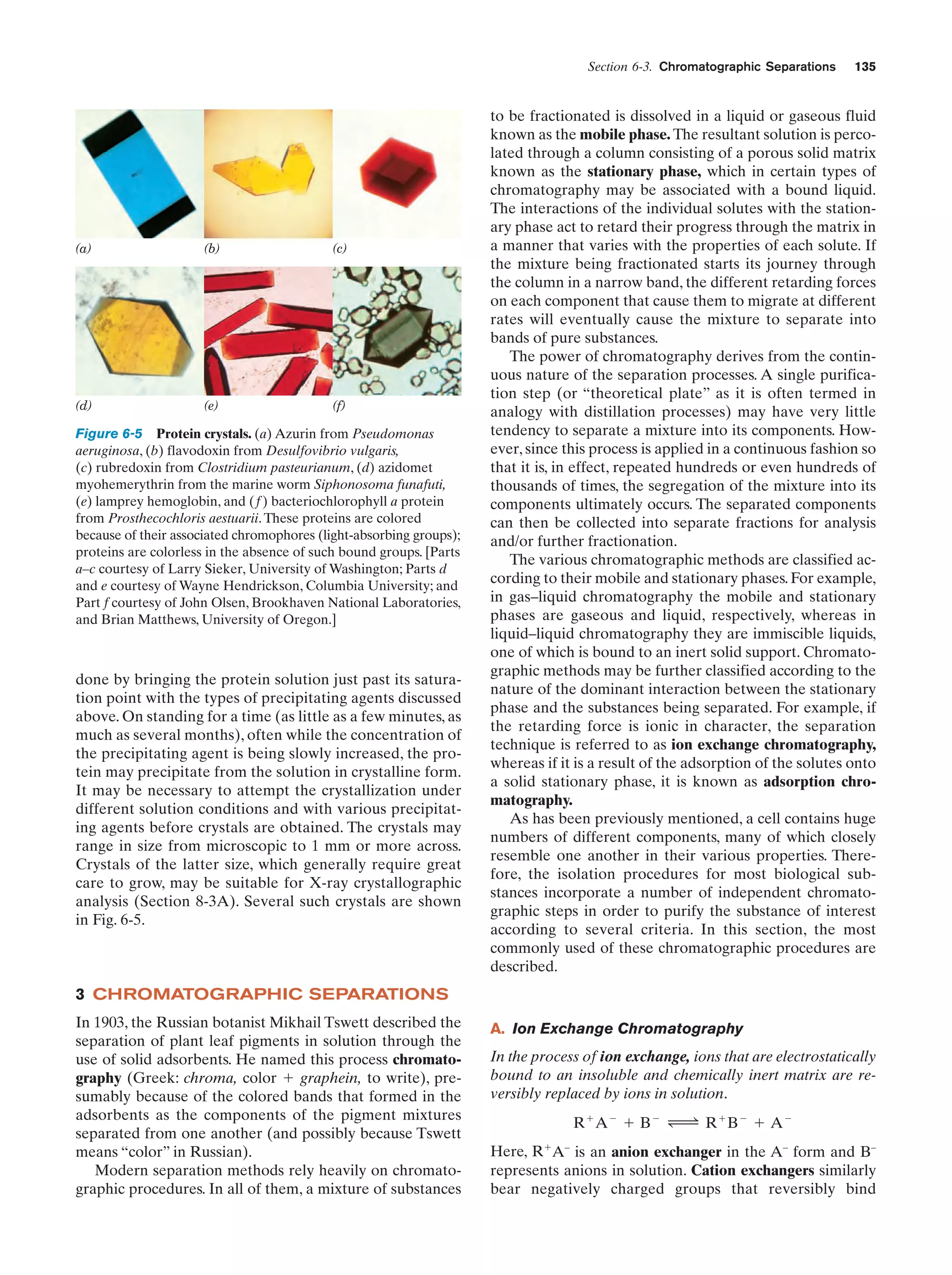 Section 6-3. Chromatographic Separations

(a)

(b)

(c)

(d)

(e)

(f)

Figure 6-5 Protein crystals. (a) Azurin from Pseudomonas
aeruginosa, (b) flavodoxin from Desulfovibrio vulgaris,
(c) rubredoxin from Clostridium pasteurianum, (d) azidomet
myohemerythrin from the marine worm Siphonosoma funafuti,
(e) lamprey hemoglobin, and ( f ) bacteriochlorophyll a protein
from Prosthecochloris aestuarii. These proteins are colored
because of their associated chromophores (light-absorbing groups);
proteins are colorless in the absence of such bound groups. [Parts
a–c courtesy of Larry Sieker, University of Washington; Parts d
and e courtesy of Wayne Hendrickson, Columbia University; and
Part f courtesy of John Olsen, Brookhaven National Laboratories,
and Brian Matthews, University of Oregon.]

done by bringing the protein solution just past its saturation point with the types of precipitating agents discussed
above. On standing for a time (as little as a few minutes, as
much as several months), often while the concentration of
the precipitating agent is being slowly increased, the protein may precipitate from the solution in crystalline form.
It may be necessary to attempt the crystallization under
different solution conditions and with various precipitating agents before crystals are obtained. The crystals may
range in size from microscopic to 1 mm or more across.
Crystals of the latter size, which generally require great
care to grow, may be suitable for X-ray crystallographic
analysis (Section 8-3A). Several such crystals are shown
in Fig. 6-5.

135

to be fractionated is dissolved in a liquid or gaseous fluid
known as the mobile phase. The resultant solution is percolated through a column consisting of a porous solid matrix
known as the stationary phase, which in certain types of
chromatography may be associated with a bound liquid.
The interactions of the individual solutes with the stationary phase act to retard their progress through the matrix in
a manner that varies with the properties of each solute. If
the mixture being fractionated starts its journey through
the column in a narrow band, the different retarding forces
on each component that cause them to migrate at different
rates will eventually cause the mixture to separate into
bands of pure substances.
The power of chromatography derives from the continuous nature of the separation processes. A single purification step (or “theoretical plate” as it is often termed in
analogy with distillation processes) may have very little
tendency to separate a mixture into its components. However, since this process is applied in a continuous fashion so
that it is, in effect, repeated hundreds or even hundreds of
thousands of times, the segregation of the mixture into its
components ultimately occurs. The separated components
can then be collected into separate fractions for analysis
and/or further fractionation.
The various chromatographic methods are classified according to their mobile and stationary phases. For example,
in gas–liquid chromatography the mobile and stationary
phases are gaseous and liquid, respectively, whereas in
liquid–liquid chromatography they are immiscible liquids,
one of which is bound to an inert solid support. Chromatographic methods may be further classified according to the
nature of the dominant interaction between the stationary
phase and the substances being separated. For example, if
the retarding force is ionic in character, the separation
technique is referred to as ion exchange chromatography,
whereas if it is a result of the adsorption of the solutes onto
a solid stationary phase, it is known as adsorption chromatography.
As has been previously mentioned, a cell contains huge
numbers of different components, many of which closely
resemble one another in their various properties. Therefore, the isolation procedures for most biological substances incorporate a number of independent chromatographic steps in order to purify the substance of interest
according to several criteria. In this section, the most
commonly used of these chromatographic procedures are
described.

3 CHROMATOGRAPHIC SEPARATIONS
In 1903, the Russian botanist Mikhail Tswett described the
separation of plant leaf pigments in solution through the
use of solid adsorbents. He named this process chromatography (Greek: chroma, color ϩ graphein, to write), presumably because of the colored bands that formed in the
adsorbents as the components of the pigment mixtures
separated from one another (and possibly because Tswett
means “color” in Russian).
Modern separation methods rely heavily on chromatographic procedures. In all of them, a mixture of substances

A. Ion Exchange Chromatography
In the process of ion exchange, ions that are electrostatically
bound to an insoluble and chemically inert matrix are reversibly replaced by ions in solution.
RϩAϪ ϩ BϪ Δ RϩBϪ ϩ AϪ
Here, RϩA– is an anion exchanger in the A– form and B–
represents anions in solution. Cation exchangers similarly
bear negatively charged groups that reversibly bind

 