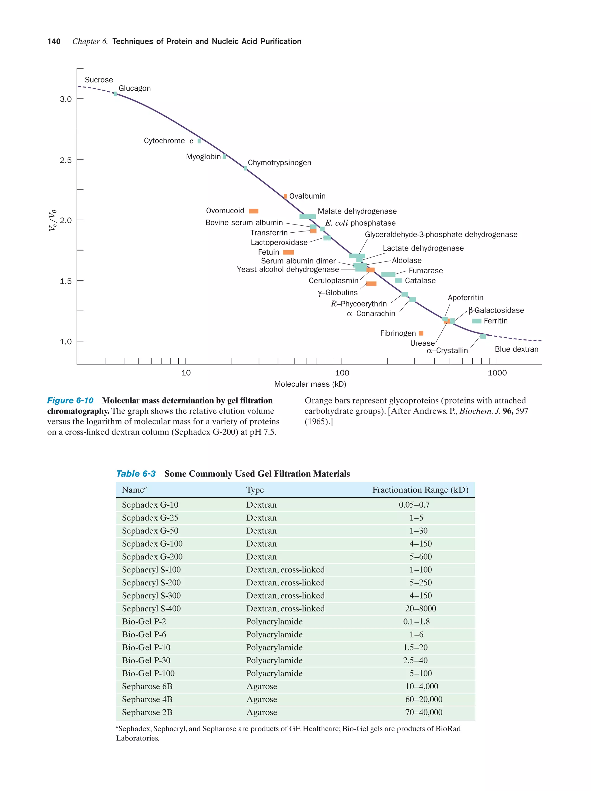 140

Chapter 6. Techniques of Protein and Nucleic Acid Purification

Sucrose
Glucagon
3.0

Cytochrome c
Myoglobin

2.5

Chymotrypsinogen

Ve / V0

Ovalbumin
Ovomucoid
Malate dehydrogenase
Bovine serum albumin
E. coli phosphatase
Transferrin
Glyceraldehyde-3-phosphate dehydrogenase
Lactoperoxidase
Lactate dehydrogenase
Fetuin
Aldolase
Serum albumin dimer
Yeast alcohol dehydrogenase
Fumarase
Ceruloplasmin
Catalase
γ−Globulins
Apoferritin
R–Phycoerythrin
β-Galactosidase
α−Conarachin
Ferritin

2.0

1.5

Fibrinogen
Urease
α−Crystallin

1.0

10

100
Molecular mass (kD)

Figure 6-10 Molecular mass determination by gel filtration
chromatography. The graph shows the relative elution volume
versus the logarithm of molecular mass for a variety of proteins
on a cross-linked dextran column (Sephadex G-200) at pH 7.5.

Table 6-3

1000

Orange bars represent glycoproteins (proteins with attached
carbohydrate groups). [After Andrews, P., Biochem. J. 96, 597
(1965).]

Some Commonly Used Gel Filtration Materials

a

Blue dextran

Name

Type

Fractionation Range (kD)

Sephadex G-10

Dextran

0.05–0.7

Sephadex G-25

Dextran

1–5

Sephadex G-50

Dextran

1–30

Sephadex G-100

Dextran

4–150

Sephadex G-200

Dextran

5–600

Sephacryl S-100

Dextran, cross-linked

1–100

Sephacryl S-200

Dextran, cross-linked

5–250

Sephacryl S-300

Dextran, cross-linked

4–150

Sephacryl S-400

Dextran, cross-linked

20–8000

Bio-Gel P-2

Polyacrylamide

0.1–1.8

Bio-Gel P-6

Polyacrylamide

1–6

Bio-Gel P-10

Polyacrylamide

1.5–20
2.5–40

Bio-Gel P-30

Polyacrylamide

Bio-Gel P-100

Polyacrylamide

Sepharose 6B

Agarose

10–4,000

Sepharose 4B

Agarose

60–20,000

Sepharose 2B

Agarose

70–40,000

5–100

a
Sephadex, Sephacryl, and Sepharose are products of GE Healthcare; Bio-Gel gels are products of BioRad
Laboratories.

 