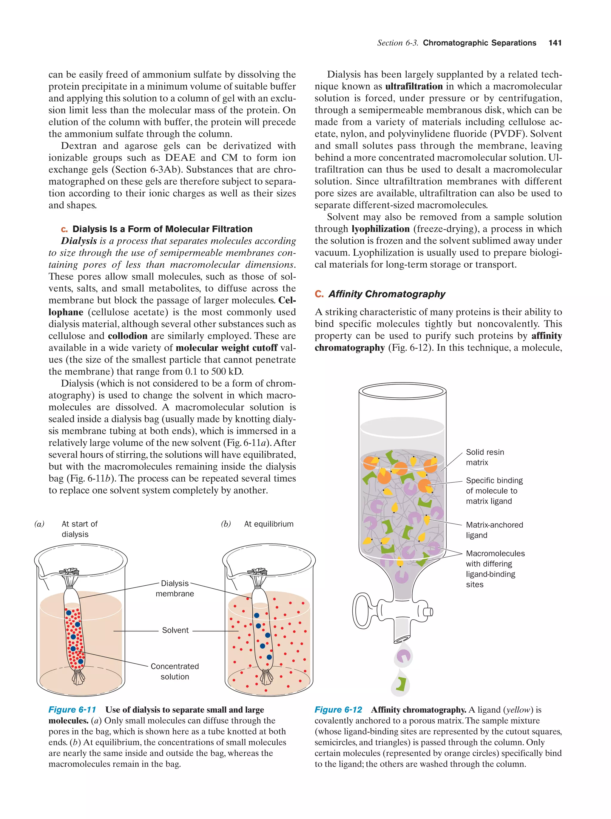 Section 6-3. Chromatographic Separations

can be easily freed of ammonium sulfate by dissolving the
protein precipitate in a minimum volume of suitable buffer
and applying this solution to a column of gel with an exclusion limit less than the molecular mass of the protein. On
elution of the column with buffer, the protein will precede
the ammonium sulfate through the column.
Dextran and agarose gels can be derivatized with
ionizable groups such as DEAE and CM to form ion
exchange gels (Section 6-3Ab). Substances that are chromatographed on these gels are therefore subject to separation according to their ionic charges as well as their sizes
and shapes.
c. Dialysis Is a Form of Molecular Filtration

Dialysis is a process that separates molecules according
to size through the use of semipermeable membranes containing pores of less than macromolecular dimensions.
These pores allow small molecules, such as those of solvents, salts, and small metabolites, to diffuse across the
membrane but block the passage of larger molecules. Cellophane (cellulose acetate) is the most commonly used
dialysis material, although several other substances such as
cellulose and collodion are similarly employed. These are
available in a wide variety of molecular weight cutoff values (the size of the smallest particle that cannot penetrate
the membrane) that range from 0.1 to 500 kD.
Dialysis (which is not considered to be a form of chromatography) is used to change the solvent in which macromolecules are dissolved. A macromolecular solution is
sealed inside a dialysis bag (usually made by knotting dialysis membrane tubing at both ends), which is immersed in a
relatively large volume of the new solvent (Fig. 6-11a). After
several hours of stirring, the solutions will have equilibrated,
but with the macromolecules remaining inside the dialysis
bag (Fig. 6-11b). The process can be repeated several times
to replace one solvent system completely by another.

(a)

At start of
dialysis

(b)

At equilibrium

Dialysis
membrane

141

Dialysis has been largely supplanted by a related technique known as ultrafiltration in which a macromolecular
solution is forced, under pressure or by centrifugation,
through a semipermeable membranous disk, which can be
made from a variety of materials including cellulose acetate, nylon, and polyvinylidene fluoride (PVDF). Solvent
and small solutes pass through the membrane, leaving
behind a more concentrated macromolecular solution. Ultrafiltration can thus be used to desalt a macromolecular
solution. Since ultrafiltration membranes with different
pore sizes are available, ultrafiltration can also be used to
separate different-sized macromolecules.
Solvent may also be removed from a sample solution
through lyophilization (freeze-drying), a process in which
the solution is frozen and the solvent sublimed away under
vacuum. Lyophilization is usually used to prepare biological materials for long-term storage or transport.
C. Affinity Chromatography
A striking characteristic of many proteins is their ability to
bind specific molecules tightly but noncovalently. This
property can be used to purify such proteins by affinity
chromatography (Fig. 6-12). In this technique, a molecule,

Solid resin
matrix
Specific binding
of molecule to
matrix ligand
Matrix-anchored
ligand
Macromolecules
with differing
ligand-binding
sites

Solvent

Concentrated
solution

Figure 6-11 Use of dialysis to separate small and large
molecules. (a) Only small molecules can diffuse through the
pores in the bag, which is shown here as a tube knotted at both
ends. (b) At equilibrium, the concentrations of small molecules
are nearly the same inside and outside the bag, whereas the
macromolecules remain in the bag.

Figure 6-12 Affinity chromatography. A ligand (yellow) is
covalently anchored to a porous matrix. The sample mixture
(whose ligand-binding sites are represented by the cutout squares,
semicircles, and triangles) is passed through the column. Only
certain molecules (represented by orange circles) specifically bind
to the ligand; the others are washed through the column.

 