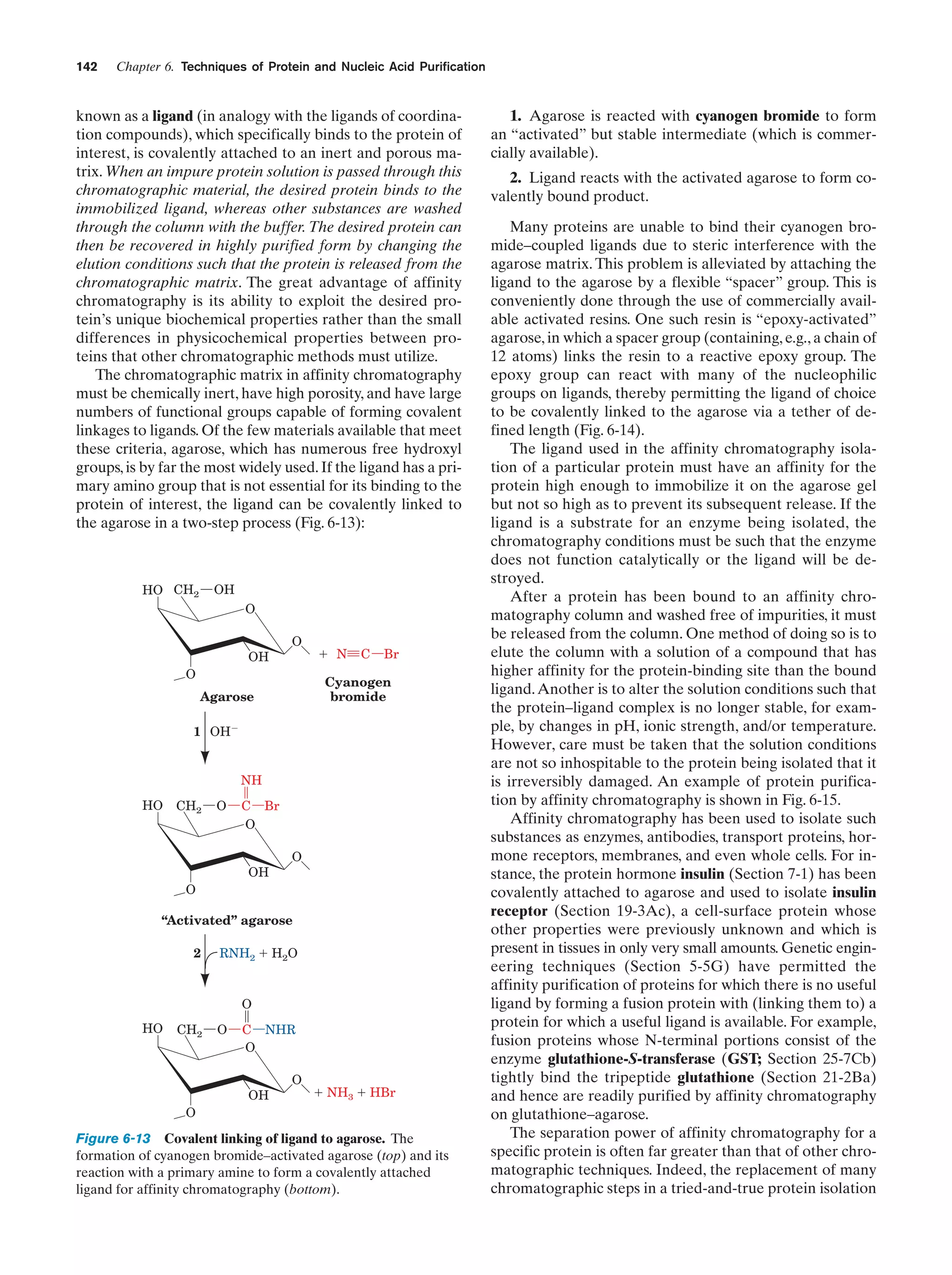 142

Chapter 6. Techniques of Protein and Nucleic Acid Purification

known as a ligand (in analogy with the ligands of coordination compounds), which specifically binds to the protein of
interest, is covalently attached to an inert and porous matrix. When an impure protein solution is passed through this
chromatographic material, the desired protein binds to the
immobilized ligand, whereas other substances are washed
through the column with the buffer. The desired protein can
then be recovered in highly purified form by changing the
elution conditions such that the protein is released from the
chromatographic matrix. The great advantage of affinity
chromatography is its ability to exploit the desired protein’s unique biochemical properties rather than the small
differences in physicochemical properties between proteins that other chromatographic methods must utilize.
The chromatographic matrix in affinity chromatography
must be chemically inert, have high porosity, and have large
numbers of functional groups capable of forming covalent
linkages to ligands. Of the few materials available that meet
these criteria, agarose, which has numerous free hydroxyl
groups, is by far the most widely used. If the ligand has a primary amino group that is not essential for its binding to the
protein of interest, the ligand can be covalently linked to
the agarose in a two-step process (Fig. 6-13):

HO CH2

OH
O
OH

O

O

ϩ N

C

Br

Cyanogen
bromide

Agarose
1 OHϪ
NH
HO

CH2

O

C Br
O
OH

O

O
“Activated” agarose
2

RNH2 ϩ H2O

O
HO

CH2

O

C NHR
O
OH

O

ϩ NH3 ϩ HBr

O

Figure 6-13 Covalent linking of ligand to agarose. The
formation of cyanogen bromide–activated agarose (top) and its
reaction with a primary amine to form a covalently attached
ligand for affinity chromatography (bottom).

1. Agarose is reacted with cyanogen bromide to form
an “activated” but stable intermediate (which is commercially available).
2. Ligand reacts with the activated agarose to form covalently bound product.
Many proteins are unable to bind their cyanogen bromide–coupled ligands due to steric interference with the
agarose matrix. This problem is alleviated by attaching the
ligand to the agarose by a flexible “spacer” group. This is
conveniently done through the use of commercially available activated resins. One such resin is “epoxy-activated”
agarose, in which a spacer group (containing, e.g., a chain of
12 atoms) links the resin to a reactive epoxy group. The
epoxy group can react with many of the nucleophilic
groups on ligands, thereby permitting the ligand of choice
to be covalently linked to the agarose via a tether of defined length (Fig. 6-14).
The ligand used in the affinity chromatography isolation of a particular protein must have an affinity for the
protein high enough to immobilize it on the agarose gel
but not so high as to prevent its subsequent release. If the
ligand is a substrate for an enzyme being isolated, the
chromatography conditions must be such that the enzyme
does not function catalytically or the ligand will be destroyed.
After a protein has been bound to an affinity chromatography column and washed free of impurities, it must
be released from the column. One method of doing so is to
elute the column with a solution of a compound that has
higher affinity for the protein-binding site than the bound
ligand. Another is to alter the solution conditions such that
the protein–ligand complex is no longer stable, for example, by changes in pH, ionic strength, and/or temperature.
However, care must be taken that the solution conditions
are not so inhospitable to the protein being isolated that it
is irreversibly damaged. An example of protein purification by affinity chromatography is shown in Fig. 6-15.
Affinity chromatography has been used to isolate such
substances as enzymes, antibodies, transport proteins, hormone receptors, membranes, and even whole cells. For instance, the protein hormone insulin (Section 7-1) has been
covalently attached to agarose and used to isolate insulin
receptor (Section 19-3Ac), a cell-surface protein whose
other properties were previously unknown and which is
present in tissues in only very small amounts. Genetic engineering techniques (Section 5-5G) have permitted the
affinity purification of proteins for which there is no useful
ligand by forming a fusion protein with (linking them to) a
protein for which a useful ligand is available. For example,
fusion proteins whose N-terminal portions consist of the
enzyme glutathione-S-transferase (GST; Section 25-7Cb)
tightly bind the tripeptide glutathione (Section 21-2Ba)
and hence are readily purified by affinity chromatography
on glutathione–agarose.
The separation power of affinity chromatography for a
specific protein is often far greater than that of other chromatographic techniques. Indeed, the replacement of many
chromatographic steps in a tried-and-true protein isolation

 