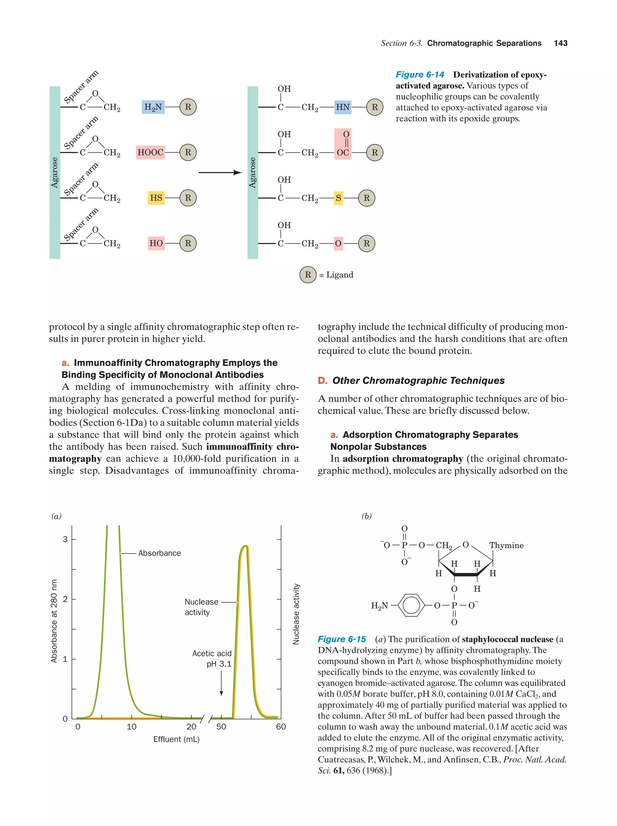 Section 6-3. Chromatographic Separations

H 2N

CH 2

Agarose
Sp
Sp
ac
ac
er
er
ar
ar
m
m

Sp
a

ce
r

ar

m

Figure 6-14 Derivatization of epoxyactivated agarose. Various types of
nucleophilic groups can be covalently
attached to epoxy-activated agarose via
reaction with its epoxide groups.

OH

O

C

R

C

R

Agarose

HOOC

CH 2

O
HS

CH 2

R

O

C

CH 2

OC

R

CH 2

S

R

CH 2

O

R

OH

R

C

Sp
ac

er

ar

m

C

HN

OH

O

C

CH 2

143

C

OH

O
HO

CH 2

R

C

R = Ligand

protocol by a single affinity chromatographic step often results in purer protein in higher yield.
a. Immunoaffinity Chromatography Employs the
Binding Specificity of Monoclonal Antibodies

A melding of immunochemistry with affinity chromatography has generated a powerful method for purifying biological molecules. Cross-linking monoclonal antibodies (Section 6-1Da) to a suitable column material yields
a substance that will bind only the protein against which
the antibody has been raised. Such immunoaffinity chromatography can achieve a 10,000-fold purification in a
single step. Disadvantages of immunoaffinity chroma-

tography include the technical difficulty of producing monoclonal antibodies and the harsh conditions that are often
required to elute the bound protein.
D. Other Chromatographic Techniques
A number of other chromatographic techniques are of biochemical value. These are briefly discussed below.
a. Adsorption Chromatography Separates
Nonpolar Substances

In adsorption chromatography (the original chromatographic method), molecules are physically adsorbed on the

(b)

(a)

O
3

–

Absorbance

O

P

O

CH2

–

O
Nuclease activity

Absorbance at 280 nm

Nuclease
activity

Acetic acid
pH 3.1

1

0
0

10

20
Effluent (mL)

50

60

Thymine

H2N

O

H

H

O

H
2

O

H

P

O

H

–

O

Figure 6-15 (a) The purification of staphylococcal nuclease (a
DNA-hydrolyzing enzyme) by affinity chromatography. The
compound shown in Part b, whose bisphosphothymidine moiety
specifically binds to the enzyme, was covalently linked to
cyanogen bromide–activated agarose. The column was equilibrated
with 0.05M borate buffer, pH 8.0, containing 0.01M CaCl2, and
approximately 40 mg of partially purified material was applied to
the column. After 50 mL of buffer had been passed through the
column to wash away the unbound material, 0.1M acetic acid was
added to elute the enzyme. All of the original enzymatic activity,
comprising 8.2 mg of pure nuclease, was recovered. [After
Cuatrecasas, P., Wilchek, M., and Anfinsen, C.B., Proc. Natl. Acad.
Sci. 61, 636 (1968).]

 