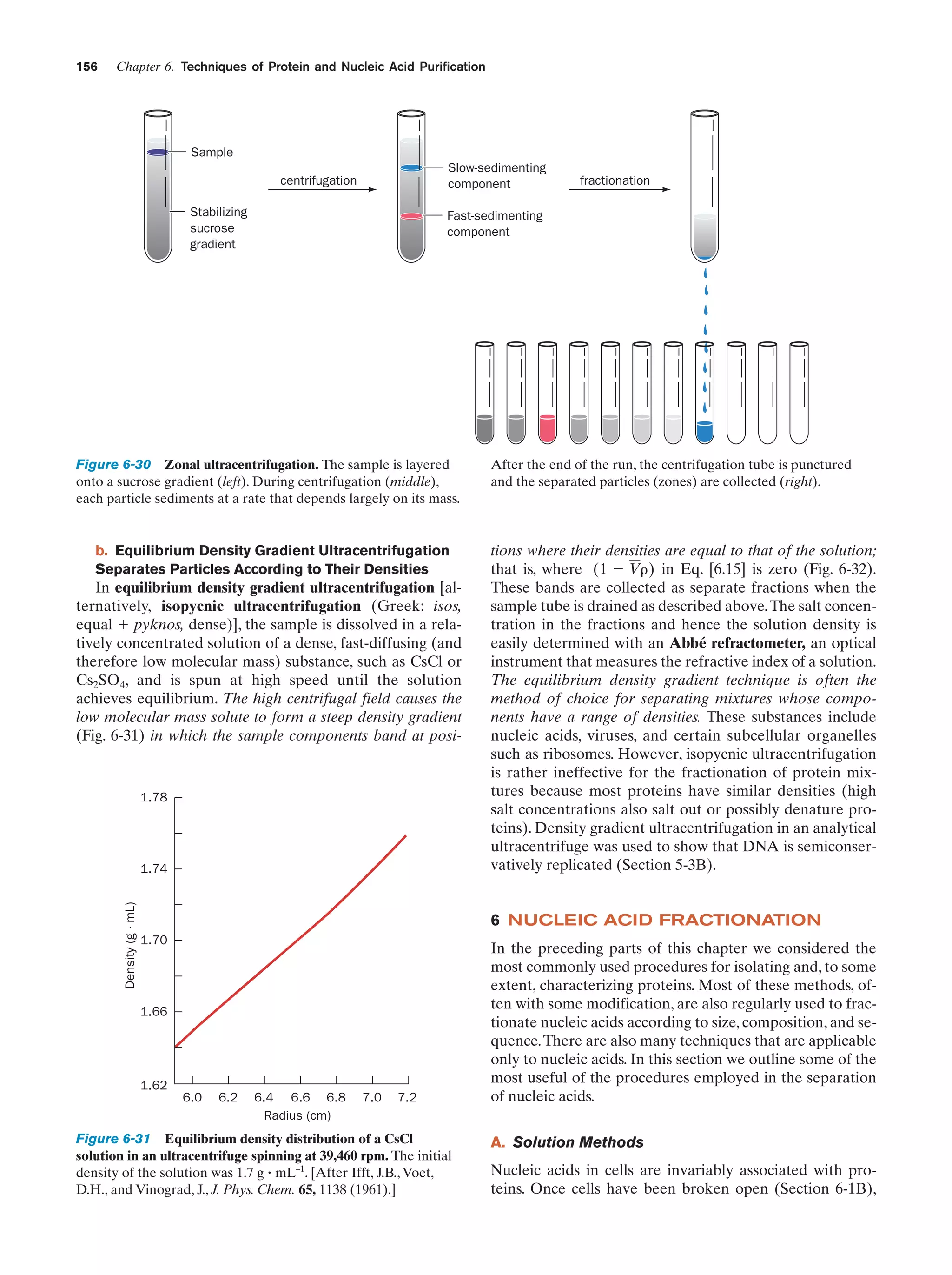 156

Chapter 6. Techniques of Protein and Nucleic Acid Purification

Sample
Slow-sedimenting
component

centrifugation
Stabilizing
sucrose
gradient

Fast-sedimenting
component

Figure 6-30 Zonal ultracentrifugation. The sample is layered
onto a sucrose gradient (left). During centrifugation (middle),
each particle sediments at a rate that depends largely on its mass.

b. Equilibrium Density Gradient Ultracentrifugation
Separates Particles According to Their Densities

In equilibrium density gradient ultracentrifugation [alternatively, isopycnic ultracentrifugation (Greek: isos,
equal ϩ pyknos, dense)], the sample is dissolved in a relatively concentrated solution of a dense, fast-diffusing (and
therefore low molecular mass) substance, such as CsCl or
Cs2SO4, and is spun at high speed until the solution
achieves equilibrium. The high centrifugal field causes the
low molecular mass solute to form a steep density gradient
(Fig. 6-31) in which the sample components band at posi-

1.78

1.74
Density (g • mL)

fractionation

After the end of the run, the centrifugation tube is punctured
and the separated particles (zones) are collected (right).

tions where their densities are equal to that of the solution;
that is, where (1 Ϫ V␳) in Eq. [6.15] is zero (Fig. 6-32).
These bands are collected as separate fractions when the
sample tube is drained as described above. The salt concentration in the fractions and hence the solution density is
easily determined with an Abbé refractometer, an optical
instrument that measures the refractive index of a solution.
The equilibrium density gradient technique is often the
method of choice for separating mixtures whose components have a range of densities. These substances include
nucleic acids, viruses, and certain subcellular organelles
such as ribosomes. However, isopycnic ultracentrifugation
is rather ineffective for the fractionation of protein mixtures because most proteins have similar densities (high
salt concentrations also salt out or possibly denature proteins). Density gradient ultracentrifugation in an analytical
ultracentrifuge was used to show that DNA is semiconservatively replicated (Section 5-3B).

6 NUCLEIC ACID FRACTIONATION
1.70

1.66

1.62

6.0

6.2

6.4 6.6 6.8
Radius (cm)

7.0

7.2

Figure 6-31 Equilibrium density distribution of a CsCl
solution in an ultracentrifuge spinning at 39,460 rpm. The initial
density of the solution was 1.7 g ؒ mL–1. [After Ifft, J.B., Voet,
D.H., and Vinograd, J., J. Phys. Chem. 65, 1138 (1961).]

In the preceding parts of this chapter we considered the
most commonly used procedures for isolating and, to some
extent, characterizing proteins. Most of these methods, often with some modification, are also regularly used to fractionate nucleic acids according to size, composition, and sequence. There are also many techniques that are applicable
only to nucleic acids. In this section we outline some of the
most useful of the procedures employed in the separation
of nucleic acids.
A. Solution Methods
Nucleic acids in cells are invariably associated with proteins. Once cells have been broken open (Section 6-1B),

 
