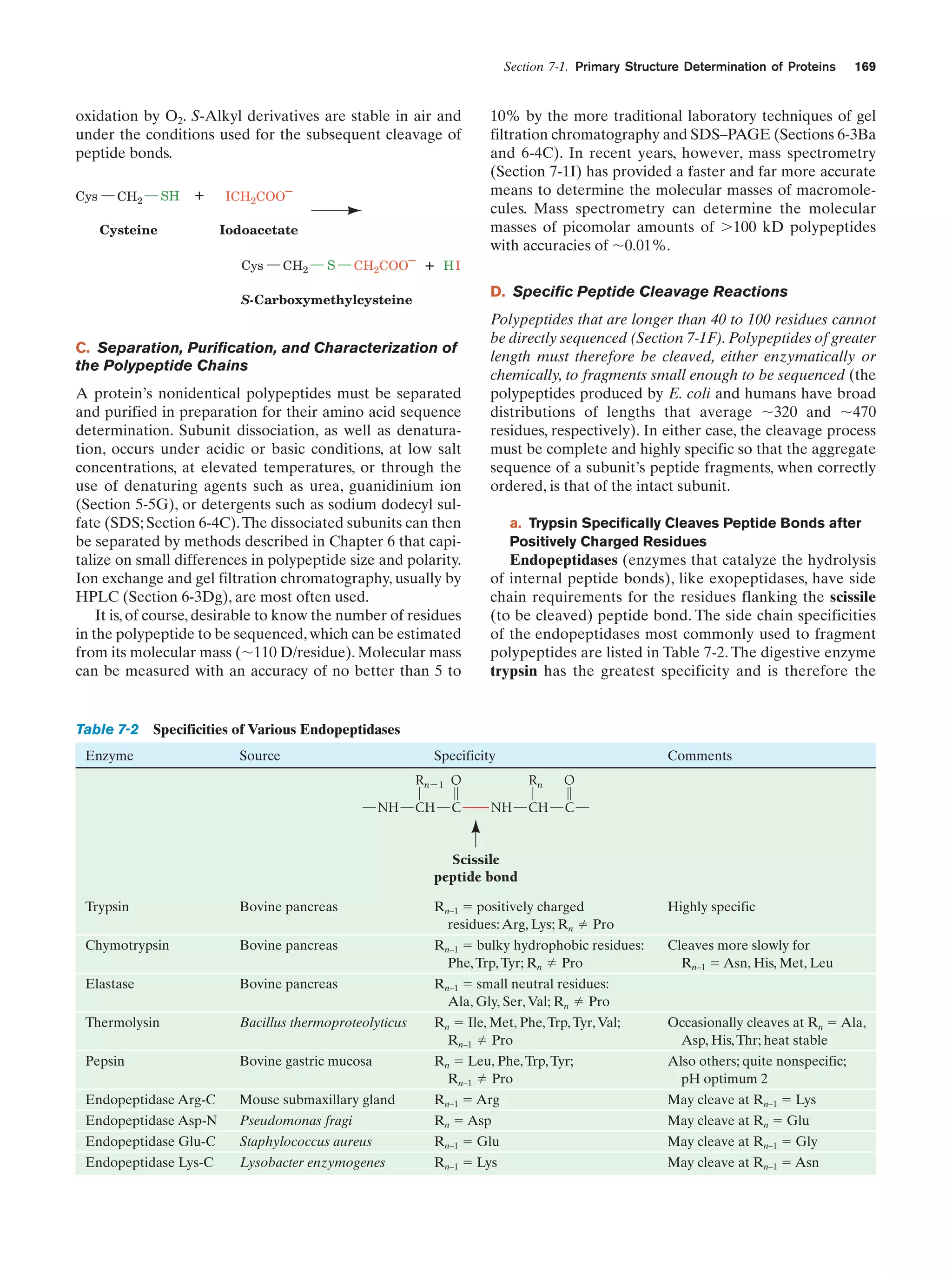 Section 7-1. Primary Structure Determination of Proteins

oxidation by O2. S-Alkyl derivatives are stable in air and
under the conditions used for the subsequent cleavage of
peptide bonds.
Cys

CH2

SH

+

Cysteine

ICH2COO–
Iodoacetate
Cys

CH2

S

CH2COO–

+

169

10% by the more traditional laboratory techniques of gel
filtration chromatography and SDS–PAGE (Sections 6-3Ba
and 6-4C). In recent years, however, mass spectrometry
(Section 7-1I) has provided a faster and far more accurate
means to determine the molecular masses of macromolecules. Mass spectrometry can determine the molecular
masses of picomolar amounts of Ͼ100 kD polypeptides
with accuracies of ϳ0.01%.

HI

D. Specific Peptide Cleavage Reactions

S-Carboxymethylcysteine

C. Separation, Purification, and Characterization of
the Polypeptide Chains
A protein’s nonidentical polypeptides must be separated
and purified in preparation for their amino acid sequence
determination. Subunit dissociation, as well as denaturation, occurs under acidic or basic conditions, at low salt
concentrations, at elevated temperatures, or through the
use of denaturing agents such as urea, guanidinium ion
(Section 5-5G), or detergents such as sodium dodecyl sulfate (SDS; Section 6-4C). The dissociated subunits can then
be separated by methods described in Chapter 6 that capitalize on small differences in polypeptide size and polarity.
Ion exchange and gel filtration chromatography, usually by
HPLC (Section 6-3Dg), are most often used.
It is, of course, desirable to know the number of residues
in the polypeptide to be sequenced, which can be estimated
from its molecular mass (ϳ110 D/residue). Molecular mass
can be measured with an accuracy of no better than 5 to

Polypeptides that are longer than 40 to 100 residues cannot
be directly sequenced (Section 7-1F). Polypeptides of greater
length must therefore be cleaved, either enzymatically or
chemically, to fragments small enough to be sequenced (the
polypeptides produced by E. coli and humans have broad
distributions of lengths that average ϳ320 and ϳ470
residues, respectively). In either case, the cleavage process
must be complete and highly specific so that the aggregate
sequence of a subunit’s peptide fragments, when correctly
ordered, is that of the intact subunit.
a. Trypsin Specifically Cleaves Peptide Bonds after
Positively Charged Residues

Endopeptidases (enzymes that catalyze the hydrolysis
of internal peptide bonds), like exopeptidases, have side
chain requirements for the residues flanking the scissile
(to be cleaved) peptide bond. The side chain specificities
of the endopeptidases most commonly used to fragment
polypeptides are listed in Table 7-2. The digestive enzyme
trypsin has the greatest specificity and is therefore the

Table 7-2 Specificities of Various Endopeptidases
Enzyme

Source

Specificity

RnϪ1 O
NH

CH

C

Comments

Rn
NH

O

CH

C

Scissile
peptide bond
Trypsin

Bovine pancreas

Rn–1 ϭ positively charged
residues: Arg, Lys; Rn Pro

Highly specific

Chymotrypsin

Bovine pancreas

Rn–1 ϭ bulky hydrophobic residues:
Phe, Trp, Tyr; Rn Pro

Cleaves more slowly for
Rn–1 ϭ Asn, His, Met, Leu

Elastase

Bovine pancreas

Rn–1 ϭ small neutral residues:
Ala, Gly, Ser, Val; Rn Pro

Thermolysin

Bacillus thermoproteolyticus

Rn ϭ Ile, Met, Phe, Trp, Tyr, Val;
Rn–1 Pro

Occasionally cleaves at Rn ϭ Ala,
Asp, His, Thr; heat stable

Pepsin

Bovine gastric mucosa

Rn ϭ Leu, Phe, Trp, Tyr;
Rn–1 Pro

Also others; quite nonspecific;
pH optimum 2

Endopeptidase Arg-C

Mouse submaxillary gland

Rn–1 ϭ Arg

May cleave at Rn–1 ϭ Lys

Endopeptidase Asp-N

Pseudomonas fragi

Rn ϭ Asp

May cleave at Rn ϭ Glu

Endopeptidase Glu-C

Staphylococcus aureus

Rn–1 ϭ Glu

May cleave at Rn–1 ϭ Gly

Endopeptidase Lys-C

Lysobacter enzymogenes

Rn–1 ϭ Lys

May cleave at Rn–1 ϭ Asn

 