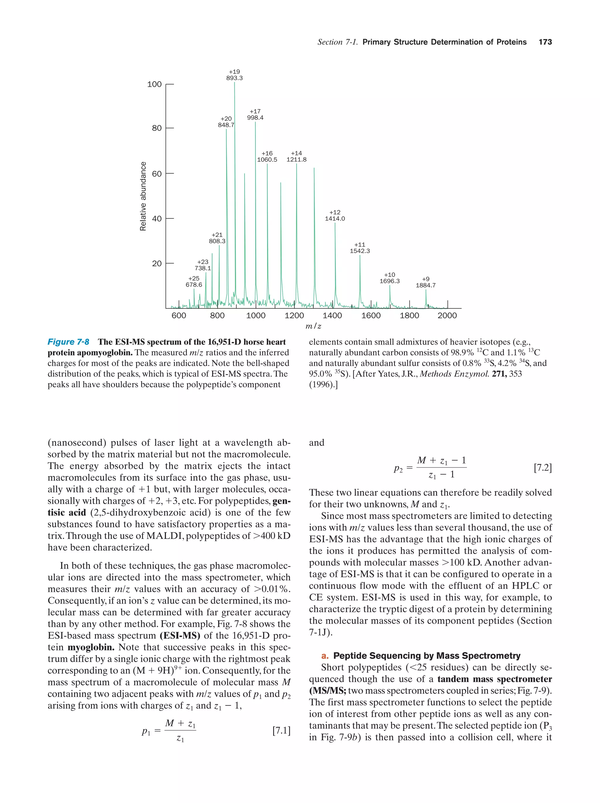 Section 7-1. Primary Structure Determination of Proteins

+19
893.3

100

+20
848.7

80

Relative abundance

173

+17
998.4

+16
1060.5

+14
1211.8

60

+12
1414.0

40
+21
808.3

+11
1542.3

+23
738.1

20

+10
1696.3

+25
678.6

600

800

1000

1200

1400

1600

+9
1884.7

1800

2000

m/z

Figure 7-8 The ESI-MS spectrum of the 16,951-D horse heart
protein apomyoglobin. The measured m/z ratios and the inferred
charges for most of the peaks are indicated. Note the bell-shaped
distribution of the peaks, which is typical of ESI-MS spectra. The
peaks all have shoulders because the polypeptide’s component

elements contain small admixtures of heavier isotopes (e.g.,
naturally abundant carbon consists of 98.9% 12C and 1.1% 13C
and naturally abundant sulfur consists of 0.8% 33S, 4.2% 34S, and
95.0% 35S). [After Yates, J.R., Methods Enzymol. 271, 353
(1996).]

(nanosecond) pulses of laser light at a wavelength absorbed by the matrix material but not the macromolecule.
The energy absorbed by the matrix ejects the intact
macromolecules from its surface into the gas phase, usually with a charge of ϩ1 but, with larger molecules, occasionally with charges of ϩ2, ϩ3, etc. For polypeptides, gentisic acid (2,5-dihydroxybenzoic acid) is one of the few
substances found to have satisfactory properties as a matrix. Through the use of MALDI, polypeptides of Ͼ400 kD
have been characterized.

and

In both of these techniques, the gas phase macromolecular ions are directed into the mass spectrometer, which
measures their m/z values with an accuracy of Ͼ0.01%.
Consequently, if an ion’s z value can be determined, its molecular mass can be determined with far greater accuracy
than by any other method. For example, Fig. 7-8 shows the
ESI-based mass spectrum (ESI-MS) of the 16,951-D protein myoglobin. Note that successive peaks in this spectrum differ by a single ionic charge with the rightmost peak
corresponding to an (M ϩ 9H)9ϩ ion. Consequently, for the
mass spectrum of a macromolecule of molecular mass M
containing two adjacent peaks with m/z values of p1 and p2
arising from ions with charges of z1 and z1 Ϫ 1,
p1 ϭ

M ϩ z1
z1

[7.1]

p2 ϭ

M ϩ z1 Ϫ 1
z1 Ϫ 1

[7.2]

These two linear equations can therefore be readily solved
for their two unknowns, M and z1.
Since most mass spectrometers are limited to detecting
ions with m/z values less than several thousand, the use of
ESI-MS has the advantage that the high ionic charges of
the ions it produces has permitted the analysis of compounds with molecular masses Ͼ100 kD. Another advantage of ESI-MS is that it can be configured to operate in a
continuous flow mode with the effluent of an HPLC or
CE system. ESI-MS is used in this way, for example, to
characterize the tryptic digest of a protein by determining
the molecular masses of its component peptides (Section
7-1J).
a. Peptide Sequencing by Mass Spectrometry

Short polypeptides (Ͻ25 residues) can be directly sequenced though the use of a tandem mass spectrometer
(MS/MS; two mass spectrometers coupled in series; Fig. 7-9).
The first mass spectrometer functions to select the peptide
ion of interest from other peptide ions as well as any contaminants that may be present.The selected peptide ion (P3
in Fig. 7-9b) is then passed into a collision cell, where it

 