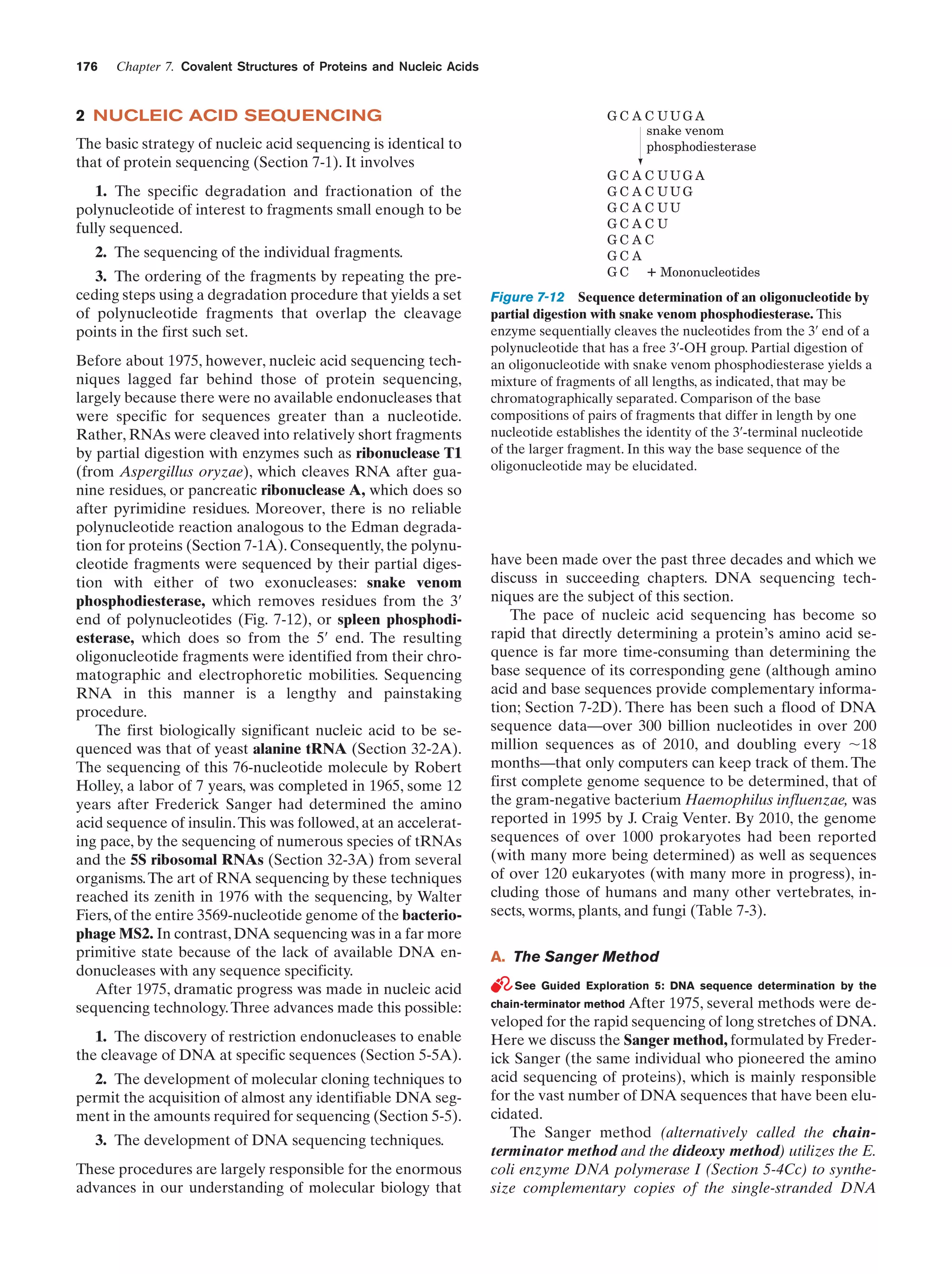 176

Chapter 7. Covalent Structures of Proteins and Nucleic Acids

2 NUCLEIC ACID SEQUENCING
The basic strategy of nucleic acid sequencing is identical to
that of protein sequencing (Section 7-1). It involves
1. The specific degradation and fractionation of the
polynucleotide of interest to fragments small enough to be
fully sequenced.
2. The sequencing of the individual fragments.
3. The ordering of the fragments by repeating the preceding steps using a degradation procedure that yields a set
of polynucleotide fragments that overlap the cleavage
points in the first such set.
Before about 1975, however, nucleic acid sequencing techniques lagged far behind those of protein sequencing,
largely because there were no available endonucleases that
were specific for sequences greater than a nucleotide.
Rather, RNAs were cleaved into relatively short fragments
by partial digestion with enzymes such as ribonuclease T1
(from Aspergillus oryzae), which cleaves RNA after guanine residues, or pancreatic ribonuclease A, which does so
after pyrimidine residues. Moreover, there is no reliable
polynucleotide reaction analogous to the Edman degradation for proteins (Section 7-1A). Consequently, the polynucleotide fragments were sequenced by their partial digestion with either of two exonucleases: snake venom
phosphodiesterase, which removes residues from the 3¿
end of polynucleotides (Fig. 7-12), or spleen phosphodiesterase, which does so from the 5¿ end. The resulting
oligonucleotide fragments were identified from their chromatographic and electrophoretic mobilities. Sequencing
RNA in this manner is a lengthy and painstaking
procedure.
The first biologically significant nucleic acid to be sequenced was that of yeast alanine tRNA (Section 32-2A).
The sequencing of this 76-nucleotide molecule by Robert
Holley, a labor of 7 years, was completed in 1965, some 12
years after Frederick Sanger had determined the amino
acid sequence of insulin. This was followed, at an accelerating pace, by the sequencing of numerous species of tRNAs
and the 5S ribosomal RNAs (Section 32-3A) from several
organisms. The art of RNA sequencing by these techniques
reached its zenith in 1976 with the sequencing, by Walter
Fiers, of the entire 3569-nucleotide genome of the bacteriophage MS2. In contrast, DNA sequencing was in a far more
primitive state because of the lack of available DNA endonucleases with any sequence specificity.
After 1975, dramatic progress was made in nucleic acid
sequencing technology. Three advances made this possible:
1. The discovery of restriction endonucleases to enable
the cleavage of DNA at specific sequences (Section 5-5A).
2. The development of molecular cloning techniques to
permit the acquisition of almost any identifiable DNA segment in the amounts required for sequencing (Section 5-5).
3. The development of DNA sequencing techniques.
These procedures are largely responsible for the enormous
advances in our understanding of molecular biology that

GC A C UUGA
snake venom
phosphodiesterase
GC A C UUGA
GC A C UUG
GC A C UU
GCACU
GCAC
GCA
G C + Mononucleotides

Figure 7-12 Sequence determination of an oligonucleotide by
partial digestion with snake venom phosphodiesterase. This
enzyme sequentially cleaves the nucleotides from the 3¿ end of a
polynucleotide that has a free 3¿-OH group. Partial digestion of
an oligonucleotide with snake venom phosphodiesterase yields a
mixture of fragments of all lengths, as indicated, that may be
chromatographically separated. Comparison of the base
compositions of pairs of fragments that differ in length by one
nucleotide establishes the identity of the 3¿-terminal nucleotide
of the larger fragment. In this way the base sequence of the
oligonucleotide may be elucidated.

have been made over the past three decades and which we
discuss in succeeding chapters. DNA sequencing techniques are the subject of this section.
The pace of nucleic acid sequencing has become so
rapid that directly determining a protein’s amino acid sequence is far more time-consuming than determining the
base sequence of its corresponding gene (although amino
acid and base sequences provide complementary information; Section 7-2D). There has been such a flood of DNA
sequence data—over 300 billion nucleotides in over 200
million sequences as of 2010, and doubling every ϳ18
months—that only computers can keep track of them. The
first complete genome sequence to be determined, that of
the gram-negative bacterium Haemophilus influenzae, was
reported in 1995 by J. Craig Venter. By 2010, the genome
sequences of over 1000 prokaryotes had been reported
(with many more being determined) as well as sequences
of over 120 eukaryotes (with many more in progress), including those of humans and many other vertebrates, insects, worms, plants, and fungi (Table 7-3).
A. The Sanger Method
See Guided Exploration 5: DNA sequence determination by the
chain-terminator method After

1975, several methods were developed for the rapid sequencing of long stretches of DNA.
Here we discuss the Sanger method, formulated by Frederick Sanger (the same individual who pioneered the amino
acid sequencing of proteins), which is mainly responsible
for the vast number of DNA sequences that have been elucidated.
The Sanger method (alternatively called the chainterminator method and the dideoxy method) utilizes the E.
coli enzyme DNA polymerase I (Section 5-4Cc) to synthesize complementary copies of the single-stranded DNA

 