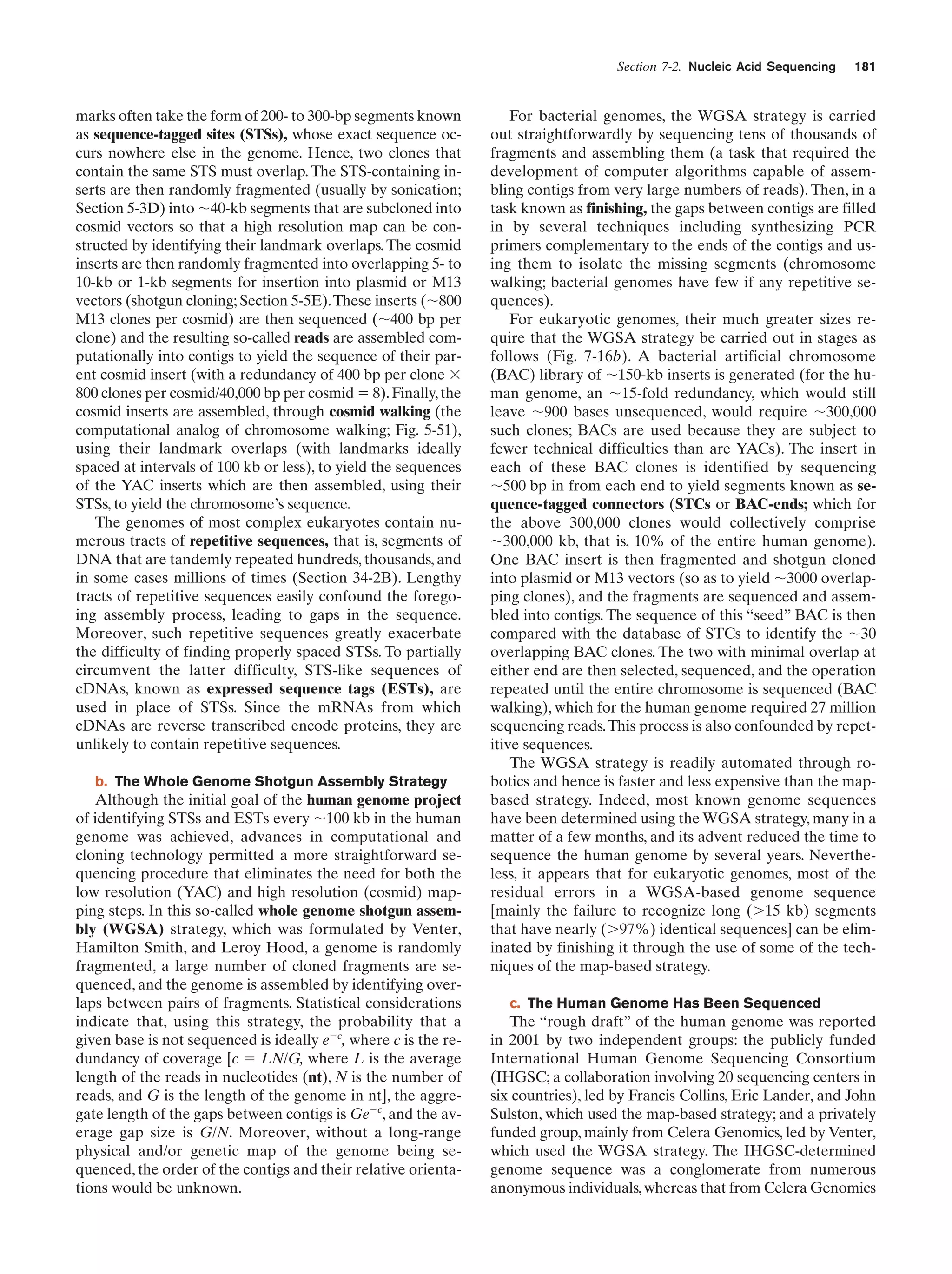 Section 7-2. Nucleic Acid Sequencing

marks often take the form of 200- to 300-bp segments known
as sequence-tagged sites (STSs), whose exact sequence occurs nowhere else in the genome. Hence, two clones that
contain the same STS must overlap. The STS-containing inserts are then randomly fragmented (usually by sonication;
Section 5-3D) into ϳ40-kb segments that are subcloned into
cosmid vectors so that a high resolution map can be constructed by identifying their landmark overlaps. The cosmid
inserts are then randomly fragmented into overlapping 5- to
10-kb or 1-kb segments for insertion into plasmid or M13
vectors (shotgun cloning; Section 5-5E). These inserts (ϳ800
M13 clones per cosmid) are then sequenced (ϳ400 bp per
clone) and the resulting so-called reads are assembled computationally into contigs to yield the sequence of their parent cosmid insert (with a redundancy of 400 bp per clone ϫ
800 clones per cosmid/40,000 bp per cosmid ϭ 8). Finally, the
cosmid inserts are assembled, through cosmid walking (the
computational analog of chromosome walking; Fig. 5-51),
using their landmark overlaps (with landmarks ideally
spaced at intervals of 100 kb or less), to yield the sequences
of the YAC inserts which are then assembled, using their
STSs, to yield the chromosome’s sequence.
The genomes of most complex eukaryotes contain numerous tracts of repetitive sequences, that is, segments of
DNA that are tandemly repeated hundreds, thousands, and
in some cases millions of times (Section 34-2B). Lengthy
tracts of repetitive sequences easily confound the foregoing assembly process, leading to gaps in the sequence.
Moreover, such repetitive sequences greatly exacerbate
the difficulty of finding properly spaced STSs. To partially
circumvent the latter difficulty, STS-like sequences of
cDNAs, known as expressed sequence tags (ESTs), are
used in place of STSs. Since the mRNAs from which
cDNAs are reverse transcribed encode proteins, they are
unlikely to contain repetitive sequences.
b. The Whole Genome Shotgun Assembly Strategy

Although the initial goal of the human genome project
of identifying STSs and ESTs every ϳ100 kb in the human
genome was achieved, advances in computational and
cloning technology permitted a more straightforward sequencing procedure that eliminates the need for both the
low resolution (YAC) and high resolution (cosmid) mapping steps. In this so-called whole genome shotgun assembly (WGSA) strategy, which was formulated by Venter,
Hamilton Smith, and Leroy Hood, a genome is randomly
fragmented, a large number of cloned fragments are sequenced, and the genome is assembled by identifying overlaps between pairs of fragments. Statistical considerations
indicate that, using this strategy, the probability that a
given base is not sequenced is ideally eϪc, where c is the redundancy of coverage [c ϭ LN/G, where L is the average
length of the reads in nucleotides (nt), N is the number of
reads, and G is the length of the genome in nt], the aggregate length of the gaps between contigs is GeϪc, and the average gap size is G/N. Moreover, without a long-range
physical and/or genetic map of the genome being sequenced, the order of the contigs and their relative orientations would be unknown.

181

For bacterial genomes, the WGSA strategy is carried
out straightforwardly by sequencing tens of thousands of
fragments and assembling them (a task that required the
development of computer algorithms capable of assembling contigs from very large numbers of reads). Then, in a
task known as finishing, the gaps between contigs are filled
in by several techniques including synthesizing PCR
primers complementary to the ends of the contigs and using them to isolate the missing segments (chromosome
walking; bacterial genomes have few if any repetitive sequences).
For eukaryotic genomes, their much greater sizes require that the WGSA strategy be carried out in stages as
follows (Fig. 7-16b). A bacterial artificial chromosome
(BAC) library of ϳ150-kb inserts is generated (for the human genome, an ϳ15-fold redundancy, which would still
leave ϳ900 bases unsequenced, would require ϳ300,000
such clones; BACs are used because they are subject to
fewer technical difficulties than are YACs). The insert in
each of these BAC clones is identified by sequencing
ϳ500 bp in from each end to yield segments known as sequence-tagged connectors (STCs or BAC-ends; which for
the above 300,000 clones would collectively comprise
ϳ300,000 kb, that is, 10% of the entire human genome).
One BAC insert is then fragmented and shotgun cloned
into plasmid or M13 vectors (so as to yield ϳ3000 overlapping clones), and the fragments are sequenced and assembled into contigs. The sequence of this “seed” BAC is then
compared with the database of STCs to identify the ϳ30
overlapping BAC clones. The two with minimal overlap at
either end are then selected, sequenced, and the operation
repeated until the entire chromosome is sequenced (BAC
walking), which for the human genome required 27 million
sequencing reads. This process is also confounded by repetitive sequences.
The WGSA strategy is readily automated through robotics and hence is faster and less expensive than the mapbased strategy. Indeed, most known genome sequences
have been determined using the WGSA strategy, many in a
matter of a few months, and its advent reduced the time to
sequence the human genome by several years. Nevertheless, it appears that for eukaryotic genomes, most of the
residual errors in a WGSA-based genome sequence
[mainly the failure to recognize long (Ͼ15 kb) segments
that have nearly (Ͼ97%) identical sequences] can be eliminated by finishing it through the use of some of the techniques of the map-based strategy.
c. The Human Genome Has Been Sequenced

The “rough draft” of the human genome was reported
in 2001 by two independent groups: the publicly funded
International Human Genome Sequencing Consortium
(IHGSC; a collaboration involving 20 sequencing centers in
six countries), led by Francis Collins, Eric Lander, and John
Sulston, which used the map-based strategy; and a privately
funded group, mainly from Celera Genomics, led by Venter,
which used the WGSA strategy. The IHGSC-determined
genome sequence was a conglomerate from numerous
anonymous individuals, whereas that from Celera Genomics

 