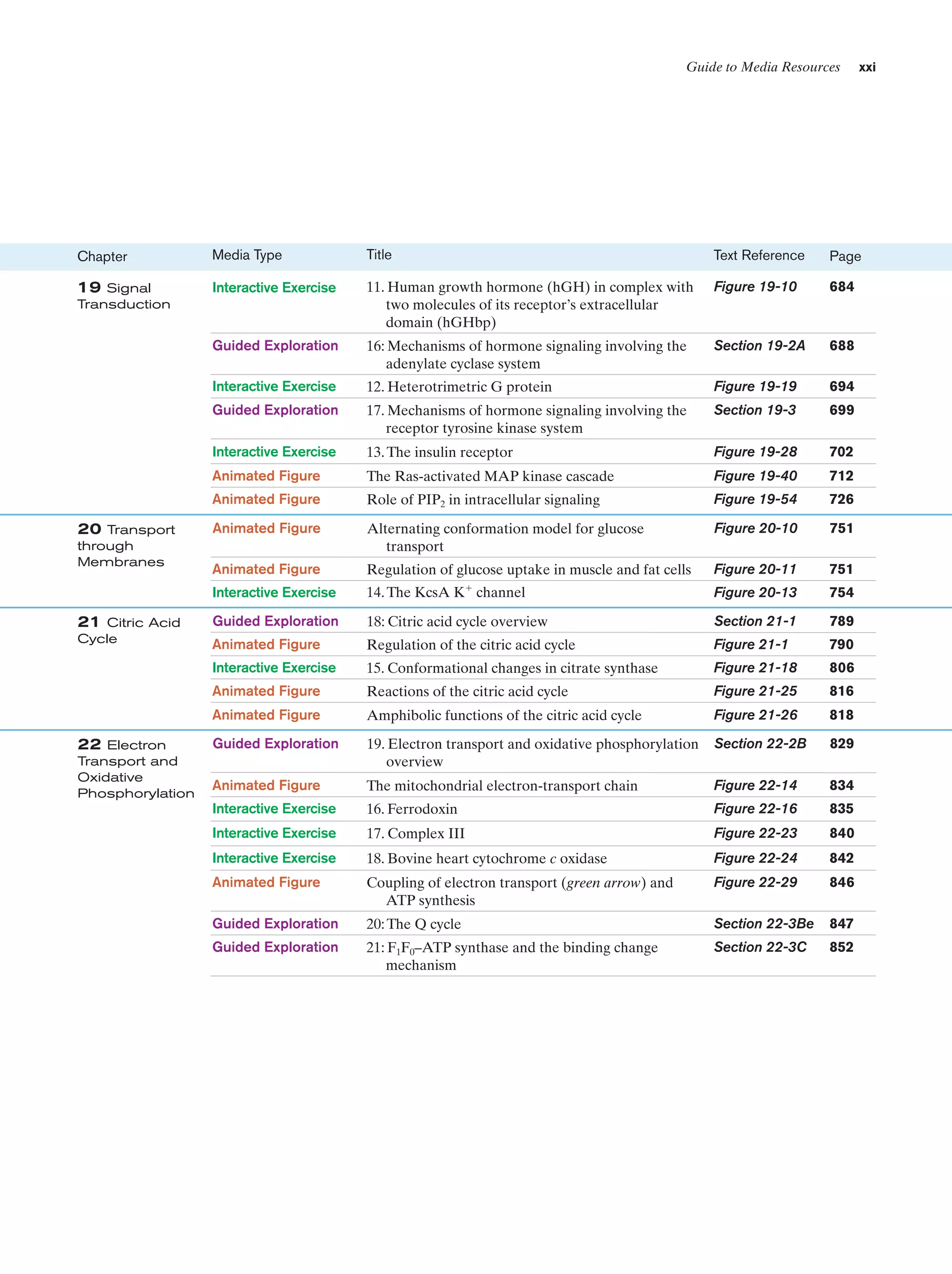 Guide to Media Resources

xxi

Chapter

Media Type

Title

Text Reference

Page

19 Signal
Transduction

Interactive Exercise

11. Human growth hormone (hGH) in complex with
two molecules of its receptor’s extracellular
domain (hGHbp)

Figure 19-10

684

Guided Exploration

16: Mechanisms of hormone signaling involving the
adenylate cyclase system

Section 19-2A

688

Interactive Exercise

12. Heterotrimetric G protein

Figure 19-19

694

Guided Exploration

17. Mechanisms of hormone signaling involving the
receptor tyrosine kinase system

Section 19-3

699

Interactive Exercise

13. The insulin receptor

Figure 19-28

702

Animated Figure

The Ras-activated MAP kinase cascade

Figure 19-40

712

Animated Figure

Role of PIP2 in intracellular signaling

Figure 19-54

726

Animated Figure

Alternating conformation model for glucose
transport

Figure 20-10

751

Animated Figure

Regulation of glucose uptake in muscle and fat cells

Figure 20-11

751

Interactive Exercise

14. The KcsA Kϩ channel

Figure 20-13

754

20 Transport
through
Membranes

21 Citric Acid
Cycle

18: Citric acid cycle overview

Section 21-1

789

Regulation of the citric acid cycle

Figure 21-1

790

Interactive Exercise

15. Conformational changes in citrate synthase

Figure 21-18

806

Animated Figure

Reactions of the citric acid cycle

Figure 21-25

816

Animated Figure

22 Electron
Transport and
Oxidative
Phosphorylation

Guided Exploration
Animated Figure

Amphibolic functions of the citric acid cycle

Figure 21-26

818

Guided Exploration

19. Electron transport and oxidative phosphorylation
overview

Section 22-2B

829

Animated Figure

The mitochondrial electron-transport chain

Figure 22-14

834

Interactive Exercise

16. Ferrodoxin

Figure 22-16

835

Interactive Exercise

17. Complex III

Figure 22-23

840

Interactive Exercise

18. Bovine heart cytochrome c oxidase

Figure 22-24

842

Animated Figure

Coupling of electron transport (green arrow) and
ATP synthesis

Figure 22-29

846

Guided Exploration

20: The Q cycle

Section 22-3Be

847

Guided Exploration

21: F1F0–ATP synthase and the binding change
mechanism

Section 22-3C

852

 