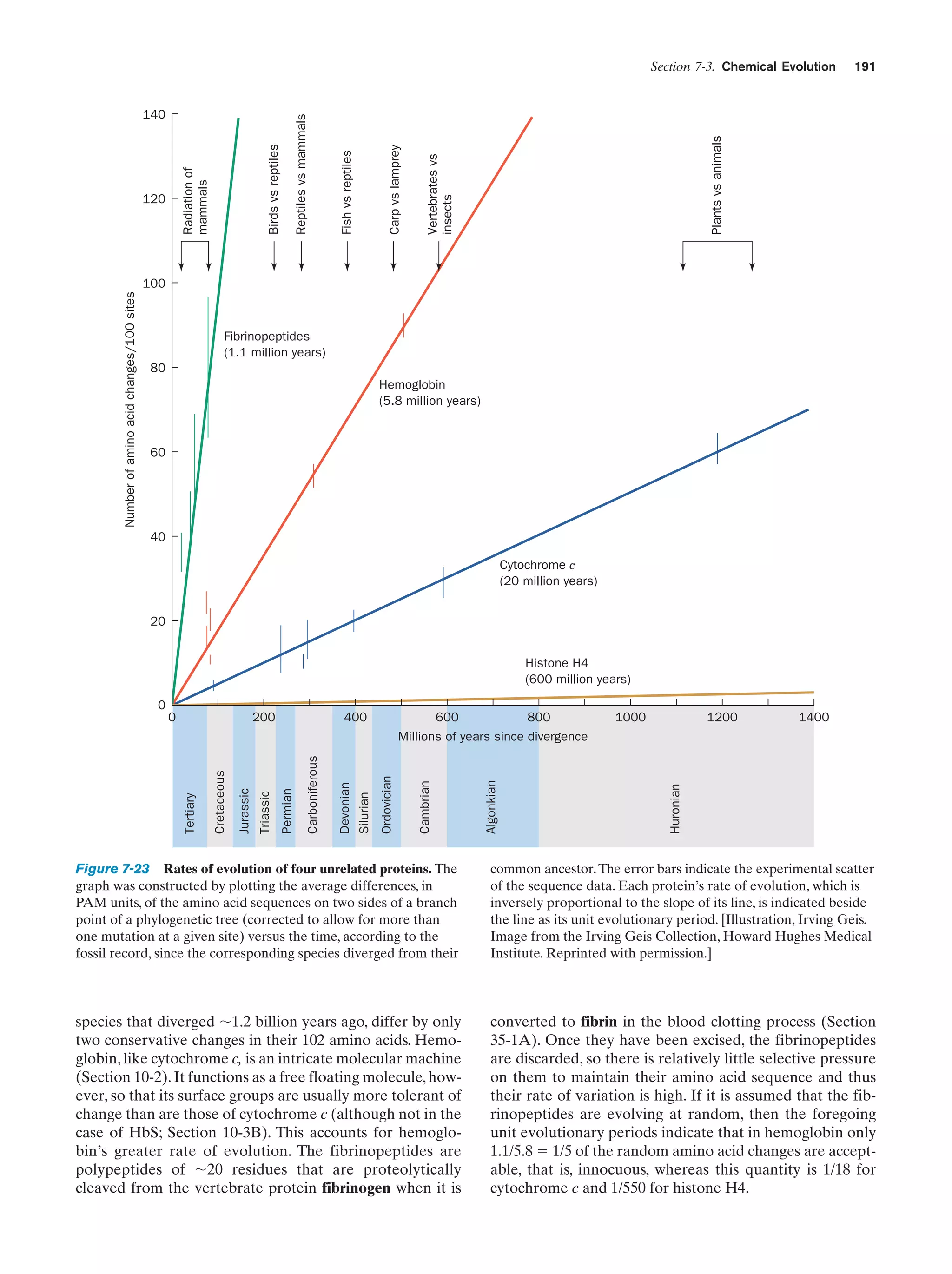 191

Plants vs animals

Vertebrates vs
insects

Carp vs lamprey

Birds vs reptiles

Radiation of
mammals

120

Reptiles vs mammals

140

Fish vs reptiles

Section 7-3. Chemical Evolution

Number of amino acid changes/100 sites

100

Fibrinopeptides
(1.1 million years)
80
Hemoglobin
(5.8 million years)

60

40
Cytochrome c
(20 million years)
20
Histone H4
(600 million years)
0
1000

1200

1400

Huronian

Algonkian

Cambrian

600
800
Millions of years since divergence

Ordovician

Devonian
Silurian

Carboniferous

400

Permian

Triassic

Jurassic

Cretaceous

200

Tertiary

0

Figure 7-23 Rates of evolution of four unrelated proteins. The
graph was constructed by plotting the average differences, in
PAM units, of the amino acid sequences on two sides of a branch
point of a phylogenetic tree (corrected to allow for more than
one mutation at a given site) versus the time, according to the
fossil record, since the corresponding species diverged from their

common ancestor. The error bars indicate the experimental scatter
of the sequence data. Each protein’s rate of evolution, which is
inversely proportional to the slope of its line, is indicated beside
the line as its unit evolutionary period. [Illustration, Irving Geis.
Image from the Irving Geis Collection, Howard Hughes Medical
Institute. Reprinted with permission.]

species that diverged ϳ1.2 billion years ago, differ by only
two conservative changes in their 102 amino acids. Hemoglobin, like cytochrome c, is an intricate molecular machine
(Section 10-2). It functions as a free floating molecule, however, so that its surface groups are usually more tolerant of
change than are those of cytochrome c (although not in the
case of HbS; Section 10-3B). This accounts for hemoglobin’s greater rate of evolution. The fibrinopeptides are
polypeptides of ϳ20 residues that are proteolytically
cleaved from the vertebrate protein fibrinogen when it is

converted to fibrin in the blood clotting process (Section
35-1A). Once they have been excised, the fibrinopeptides
are discarded, so there is relatively little selective pressure
on them to maintain their amino acid sequence and thus
their rate of variation is high. If it is assumed that the fibrinopeptides are evolving at random, then the foregoing
unit evolutionary periods indicate that in hemoglobin only
1.1/5.8 ϭ 1/5 of the random amino acid changes are acceptable, that is, innocuous, whereas this quantity is 1/18 for
cytochrome c and 1/550 for histone H4.

 