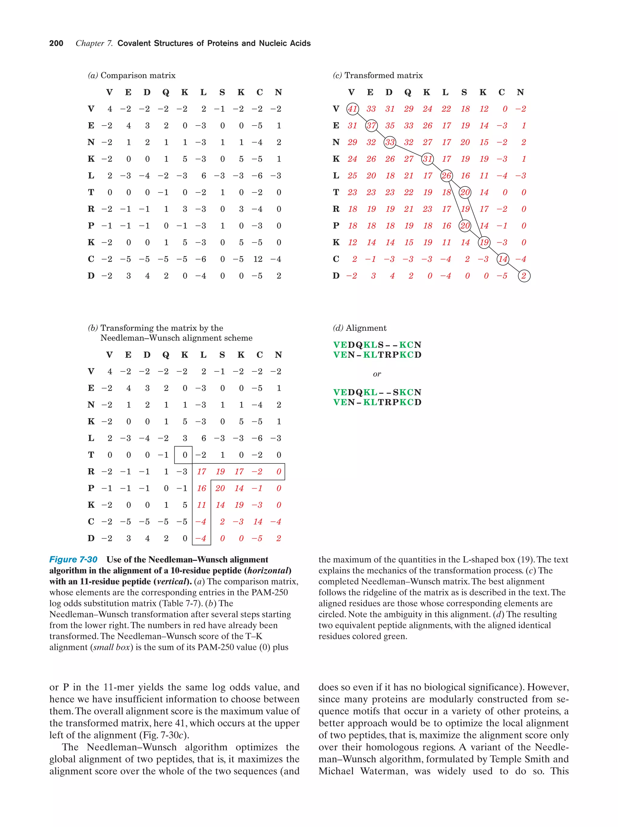 200

Chapter 7. Covalent Structures of Proteins and Nucleic Acids

(c) Transformed matrix

(a) Comparison matrix
V
V

E

D

Q

K

4 Ϫ2 Ϫ2 Ϫ2 Ϫ2

L

S

K

C

N

2 Ϫ1 Ϫ2 Ϫ2 Ϫ2

V

E

D

Q

K

L

S

K

V

41

33

31

29

24

22

18

12

C

N

0 Ϫ2

E Ϫ2

4

3

2

0 Ϫ3

0

0 Ϫ5

1

E

31

37

35

33

26

17

19

14 Ϫ3

1

N Ϫ2

1

2

1

1 Ϫ3

1

1 Ϫ4

2

N

29

32

33

32

27

17

20

15 Ϫ2

2

K Ϫ2

0

0

1

5 Ϫ3

0

5 Ϫ5

1

K

24

26

26

27

31

17

19

19 Ϫ3

1

6 Ϫ3 Ϫ3 Ϫ6 Ϫ3

L

25

20

18

21

17

26

16

11 Ϫ4 Ϫ3

L

2 Ϫ3 Ϫ4 Ϫ2 Ϫ3

T

0

0

0 Ϫ1

0 Ϫ2

1

0 Ϫ2

0

T

23

23

23

22

19

18

20

14

0

0

R Ϫ2 Ϫ1 Ϫ1

1

3 Ϫ3

0

3 Ϫ4

0

R

18

19

19

21

23

17

19

17 Ϫ2

0

P Ϫ1 Ϫ1 Ϫ1

0 Ϫ1 Ϫ3

1

0 Ϫ3

0

P

18

18

18

19

18

16

20

14 Ϫ1

0

K Ϫ2

1

0

5 Ϫ5

0

K

12

14

14

15

19

11

14

19 Ϫ3

0

12 Ϫ4

C

0

0

5 Ϫ3

C Ϫ2 Ϫ5 Ϫ5 Ϫ5 Ϫ5 Ϫ6

0 Ϫ5

D Ϫ2

0

3

4

2

0 Ϫ4

0 Ϫ5

2

V

E

D

Q

K

4 Ϫ2 Ϫ2 Ϫ2 Ϫ2

L

S

K

D Ϫ2

3

4

2

0 Ϫ4

2 Ϫ3
0

14 Ϫ4

0 Ϫ5

2

(d) Alignment

(b) Transforming the matrix by the
Needleman–Wunsch alignment scheme
V

2 Ϫ1 Ϫ3 Ϫ3 Ϫ3 Ϫ4

C

N

2 Ϫ1 Ϫ2 Ϫ2 Ϫ2

E Ϫ2

4

3

2

0 Ϫ3

0

0 Ϫ5

1

N Ϫ2

1

2

1

1 Ϫ3

1

1 Ϫ4

2

K Ϫ2

0

0

1

5 Ϫ3

0

5 Ϫ5

VEDQKLS – – KCN
VEN – KLTRPKCD
or

1

L

2 Ϫ3 Ϫ4 Ϫ2

3

T

0

0 Ϫ2

0

0 Ϫ1

VEDQKL – – S KCN
VEN – KLTRPKCD

6 Ϫ3 Ϫ3 Ϫ6 Ϫ3
1

0 Ϫ2

0

R Ϫ2 Ϫ1 Ϫ1

1 Ϫ3

17

19

17 Ϫ2

0

P Ϫ1 Ϫ1 Ϫ1

0 Ϫ1

16

20

14 Ϫ1

0

K Ϫ2

1

11

14

19 Ϫ3

0

0

0

5

C Ϫ2 Ϫ5 Ϫ5 Ϫ5 Ϫ5 Ϫ4

2 Ϫ3

D Ϫ2

0

3

4

2

0 Ϫ4

14 Ϫ4

0 Ϫ5

2

Figure 7-30 Use of the Needleman–Wunsch alignment
algorithm in the alignment of a 10-residue peptide (horizontal)
with an 11-residue peptide (vertical). (a) The comparison matrix,
whose elements are the corresponding entries in the PAM-250
log odds substitution matrix (Table 7-7). (b) The
Needleman–Wunsch transformation after several steps starting
from the lower right. The numbers in red have already been
transformed. The Needleman–Wunsch score of the T–K
alignment (small box) is the sum of its PAM-250 value (0) plus

the maximum of the quantities in the L-shaped box (19). The text
explains the mechanics of the transformation process. (c) The
completed Needleman–Wunsch matrix. The best alignment
follows the ridgeline of the matrix as is described in the text. The
aligned residues are those whose corresponding elements are
circled. Note the ambiguity in this alignment. (d) The resulting
two equivalent peptide alignments, with the aligned identical
residues colored green.

or P in the 11-mer yields the same log odds value, and
hence we have insufficient information to choose between
them. The overall alignment score is the maximum value of
the transformed matrix, here 41, which occurs at the upper
left of the alignment (Fig. 7-30c).
The Needleman–Wunsch algorithm optimizes the
global alignment of two peptides, that is, it maximizes the
alignment score over the whole of the two sequences (and

does so even if it has no biological significance). However,
since many proteins are modularly constructed from sequence motifs that occur in a variety of other proteins, a
better approach would be to optimize the local alignment
of two peptides, that is, maximize the alignment score only
over their homologous regions. A variant of the Needleman–Wunsch algorithm, formulated by Temple Smith and
Michael Waterman, was widely used to do so. This

 