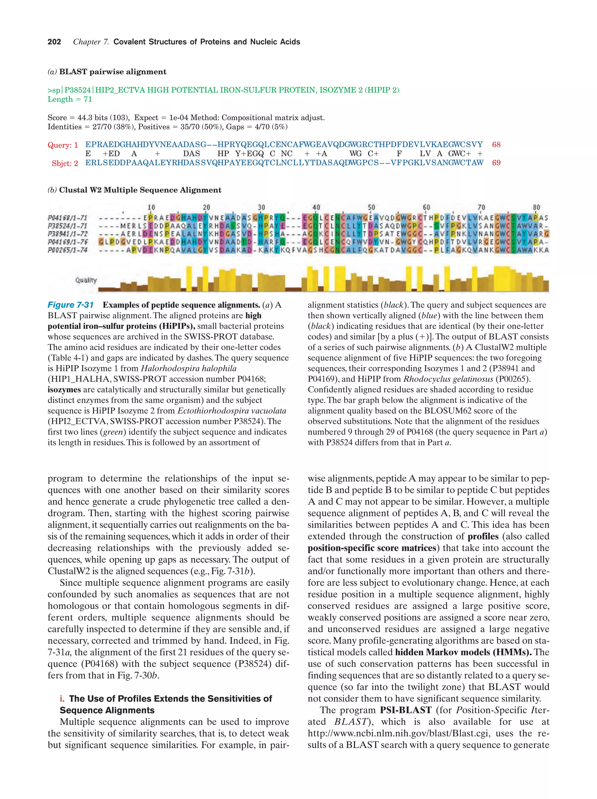 202

Chapter 7. Covalent Structures of Proteins and Nucleic Acids

(a) BLAST pairwise alignment
>sp P38524 HIP2_ECTVA HIGH POTENTIAL IRON-SULFUR PROTEIN, ISOZYME 2 (HIPIP 2)
Length ϭ 71
Score ϭ 44.3 bits (103), Expect ϭ 1e-04 Method: Compositional matrix adjust.
Identities ϭ 27/70 (38%), Positives ϭ 35/70 (50%), Gaps ϭ 4/70 (5%)
Query: 1 E P R AEDGHAHDYVNE AADA S G – – HP R YQEGQL CENC A FWGE AVQDGWGR C THPD F DE V L VKAEGWC S V Y
E ϩED A
ϩ
DA S
HP YϩEGQ C NC ϩ ϩA
WG Cϩ
F
L V A GWCϩ ϩ
Sbjct: 2 E R L S EDDP A AQA L E Y RHDA S S VQHP A Y EEGQT C LNC L L Y T DA S AQDWGP C S – – V F P GK L V S ANGWC T AW

68
69

(b) Clustal W2 Multiple Sequence Alignment

Figure 7-31 Examples of peptide sequence alignments. (a) A
BLAST pairwise alignment. The aligned proteins are high
potential iron–sulfur proteins (HiPIPs), small bacterial proteins
whose sequences are archived in the SWISS-PROT database.
The amino acid residues are indicated by their one-letter codes
(Table 4-1) and gaps are indicated by dashes. The query sequence
is HiPIP Isozyme 1 from Halorhodospira halophila
(HIP1_HALHA, SWISS-PROT accession number P04168;
isozymes are catalytically and structurally similar but genetically
distinct enzymes from the same organism) and the subject
sequence is HiPIP Isozyme 2 from Ectothiorhodospira vacuolata
(HPI2_ECTVA, SWISS-PROT accession number P38524). The
first two lines (green) identify the subject sequence and indicates
its length in residues. This is followed by an assortment of

alignment statistics (black). The query and subject sequences are
then shown vertically aligned (blue) with the line between them
(black) indicating residues that are identical (by their one-letter
codes) and similar [by a plus (ϩ)]. The output of BLAST consists
of a series of such pairwise alignments. (b) A ClustalW2 multiple
sequence alignment of five HiPIP sequences: the two foregoing
sequences, their corresponding Isozymes 1 and 2 (P38941 and
P04169), and HiPIP from Rhodocyclus gelatinosus (P00265).
Confidently aligned residues are shaded according to residue
type. The bar graph below the alignment is indicative of the
alignment quality based on the BLOSUM62 score of the
observed substitutions. Note that the alignment of the residues
numbered 9 through 29 of P04168 (the query sequence in Part a)
with P38524 differs from that in Part a.

program to determine the relationships of the input sequences with one another based on their similarity scores
and hence generate a crude phylogenetic tree called a dendrogram. Then, starting with the highest scoring pairwise
alignment, it sequentially carries out realignments on the basis of the remaining sequences, which it adds in order of their
decreasing relationships with the previously added sequences, while opening up gaps as necessary. The output of
ClustalW2 is the aligned sequences (e.g., Fig. 7-31b).
Since multiple sequence alignment programs are easily
confounded by such anomalies as sequences that are not
homologous or that contain homologous segments in different orders, multiple sequence alignments should be
carefully inspected to determine if they are sensible and, if
necessary, corrected and trimmed by hand. Indeed, in Fig.
7-31a, the alignment of the first 21 residues of the query sequence (P04168) with the subject sequence (P38524) differs from that in Fig. 7-30b.

wise alignments, peptide A may appear to be similar to peptide B and peptide B to be similar to peptide C but peptides
A and C may not appear to be similar. However, a multiple
sequence alignment of peptides A, B, and C will reveal the
similarities between peptides A and C. This idea has been
extended through the construction of profiles (also called
position-specific score matrices) that take into account the
fact that some residues in a given protein are structurally
and/or functionally more important than others and therefore are less subject to evolutionary change. Hence, at each
residue position in a multiple sequence alignment, highly
conserved residues are assigned a large positive score,
weakly conserved positions are assigned a score near zero,
and unconserved residues are assigned a large negative
score. Many profile-generating algorithms are based on statistical models called hidden Markov models (HMMs). The
use of such conservation patterns has been successful in
finding sequences that are so distantly related to a query sequence (so far into the twilight zone) that BLAST would
not consider them to have significant sequence similarity.
The program PSI-BLAST (for Position-Specific Iterated BLAST), which is also available for use at
http://www.ncbi.nlm.nih.gov/blast/Blast.cgi, uses the results of a BLAST search with a query sequence to generate

i. The Use of Profiles Extends the Sensitivities of
Sequence Alignments

Multiple sequence alignments can be used to improve
the sensitivity of similarity searches, that is, to detect weak
but significant sequence similarities. For example, in pair-

 
