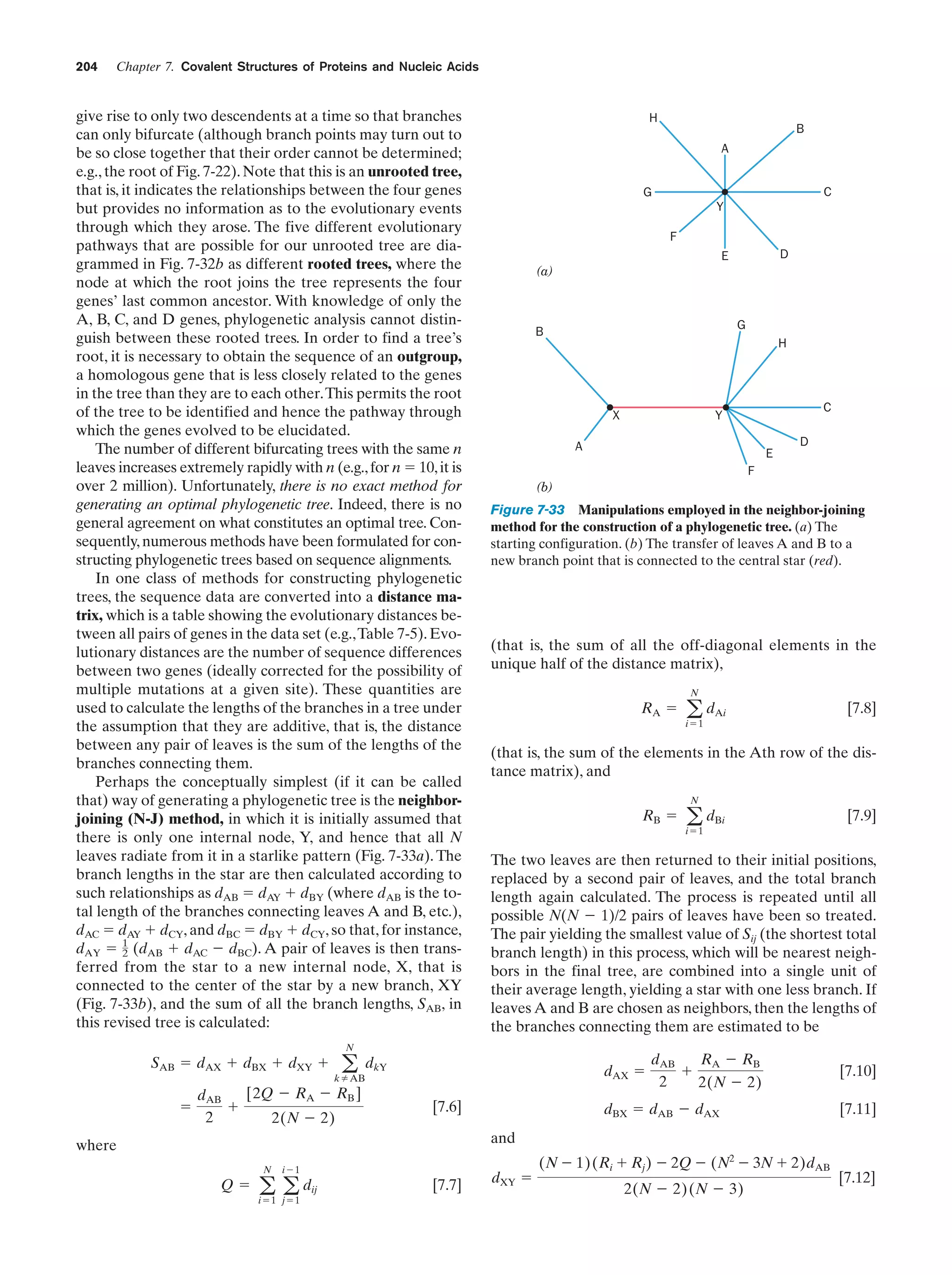 204

Chapter 7. Covalent Structures of Proteins and Nucleic Acids

give rise to only two descendents at a time so that branches
can only bifurcate (although branch points may turn out to
be so close together that their order cannot be determined;
e.g., the root of Fig. 7-22). Note that this is an unrooted tree,
that is, it indicates the relationships between the four genes
but provides no information as to the evolutionary events
through which they arose. The five different evolutionary
pathways that are possible for our unrooted tree are diagrammed in Fig. 7-32b as different rooted trees, where the
node at which the root joins the tree represents the four
genes’ last common ancestor. With knowledge of only the
A, B, C, and D genes, phylogenetic analysis cannot distinguish between these rooted trees. In order to find a tree’s
root, it is necessary to obtain the sequence of an outgroup,
a homologous gene that is less closely related to the genes
in the tree than they are to each other.This permits the root
of the tree to be identified and hence the pathway through
which the genes evolved to be elucidated.
The number of different bifurcating trees with the same n
leaves increases extremely rapidly with n (e.g., for n ϭ 10, it is
over 2 million). Unfortunately, there is no exact method for
generating an optimal phylogenetic tree. Indeed, there is no
general agreement on what constitutes an optimal tree. Consequently, numerous methods have been formulated for constructing phylogenetic trees based on sequence alignments.
In one class of methods for constructing phylogenetic
trees, the sequence data are converted into a distance matrix, which is a table showing the evolutionary distances between all pairs of genes in the data set (e.g.,Table 7-5). Evolutionary distances are the number of sequence differences
between two genes (ideally corrected for the possibility of
multiple mutations at a given site). These quantities are
used to calculate the lengths of the branches in a tree under
the assumption that they are additive, that is, the distance
between any pair of leaves is the sum of the lengths of the
branches connecting them.
Perhaps the conceptually simplest (if it can be called
that) way of generating a phylogenetic tree is the neighborjoining (N-J) method, in which it is initially assumed that
there is only one internal node, Y, and hence that all N
leaves radiate from it in a starlike pattern (Fig. 7-33a). The
branch lengths in the star are then calculated according to
such relationships as dAB ϭ dAY ϩ dBY (where dAB is the total length of the branches connecting leaves A and B, etc.),
dAC ϭ dAY ϩ dCY, and dBC ϭ dBY ϩ dCY, so that, for instance,
dAY ϭ 1 (dAB ϩ dAC Ϫ dBC). A pair of leaves is then trans2
ferred from the star to a new internal node, X, that is
connected to the center of the star by a new branch, XY
(Fig. 7-33b), and the sum of all the branch lengths, SAB, in
this revised tree is calculated:

H

Y
F
D

E
(a)

G

B

H

X

C

Y
D

A

E
F

(b)

Figure 7-33 Manipulations employed in the neighbor-joining
method for the construction of a phylogenetic tree. (a) The
starting configuration. (b) The transfer of leaves A and B to a
new branch point that is connected to the central star (red).

(that is, the sum of all the off-diagonal elements in the
unique half of the distance matrix),
N

RA ϭ a dAi

[7.8]

iϭ1

(that is, the sum of the elements in the Ath row of the distance matrix), and
N

RB ϭ a dBi

[7.9]

iϭ1

The two leaves are then returned to their initial positions,
replaced by a second pair of leaves, and the total branch
length again calculated. The process is repeated until all
possible N(N Ϫ 1)/2 pairs of leaves have been so treated.
The pair yielding the smallest value of Sij (the shortest total
branch length) in this process, which will be nearest neighbors in the final tree, are combined into a single unit of
their average length, yielding a star with one less branch. If
leaves A and B are chosen as neighbors, then the lengths of
the branches connecting them are estimated to be

N

dAX ϭ

AB

[2Q Ϫ RA Ϫ RB ]
dAB
ϭ
ϩ
2
2(N Ϫ 2)

C

G

SAB ϭ dAX ϩ dBX ϩ dXY ϩ a dkY
k

B
A

RA Ϫ RB
dAB
ϩ
2
2(N Ϫ 2)

dBX ϭ dAB Ϫ dAX

[7.6]

[7.10]
[7.11]

and

where
N

iϪ1

Q ϭ a a dij
iϭ1 jϭ1

[7.7]

dXY ϭ

(N Ϫ 1)(Ri ϩ Rj ) Ϫ 2Q Ϫ (N2 Ϫ 3N ϩ 2)dAB
2(N Ϫ 2) (N Ϫ 3)

[7.12]

 