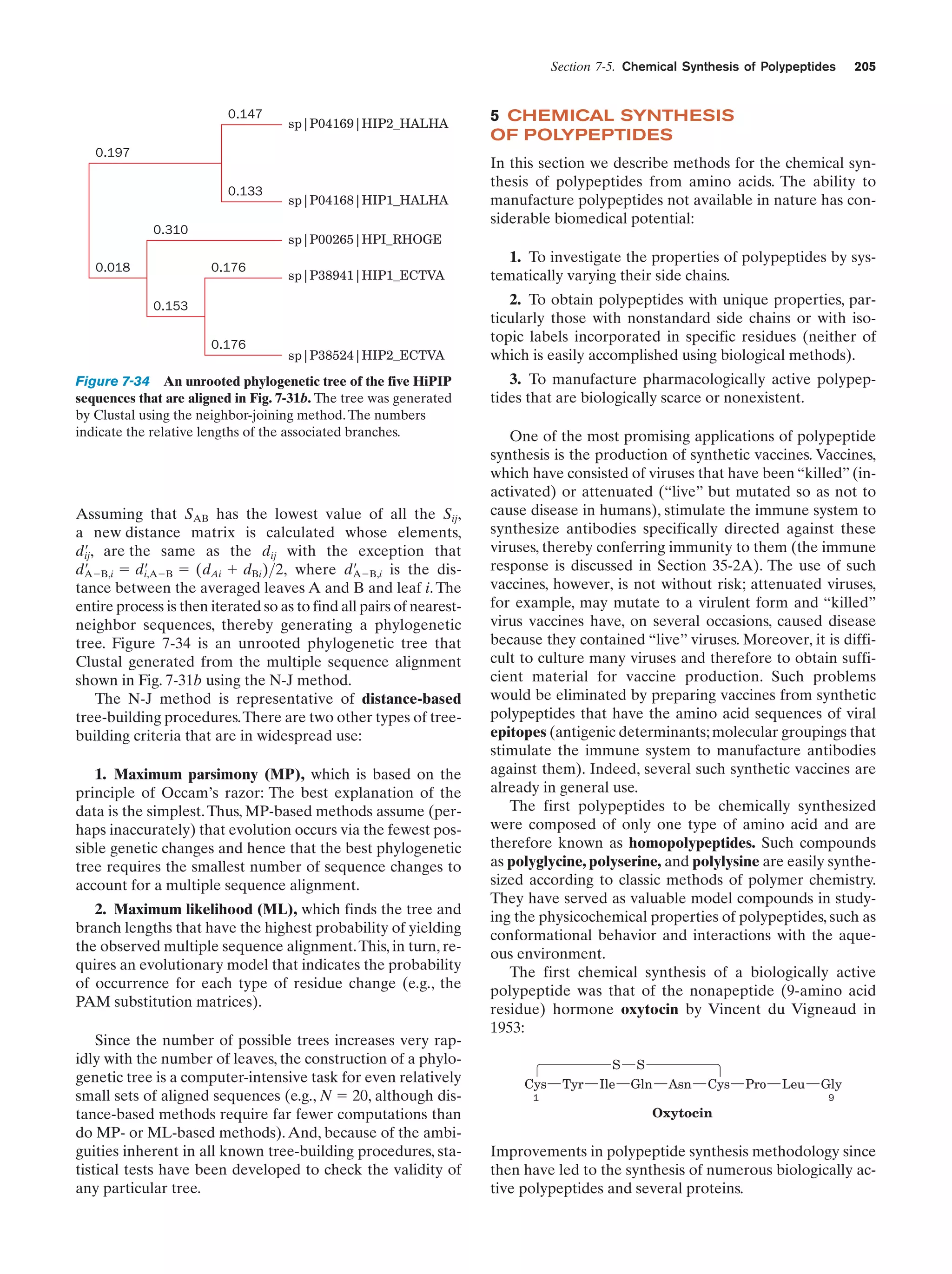 Section 7-5. Chemical Synthesis of Polypeptides
0.147

sp|P04169|HIP2_HALHA

0.197
0.133
0.310
0.018

sp|P04168|HIP1_HALHA

205

5 CHEMICAL SYNTHESIS
OF POLYPEPTIDES
In this section we describe methods for the chemical synthesis of polypeptides from amino acids. The ability to
manufacture polypeptides not available in nature has considerable biomedical potential:

sp|P00265|HPI_RHOGE
0.176

sp|P38941|HIP1_ECTVA

1. To investigate the properties of polypeptides by systematically varying their side chains.

sp|P38524|HIP2_ECTVA

2. To obtain polypeptides with unique properties, particularly those with nonstandard side chains or with isotopic labels incorporated in specific residues (neither of
which is easily accomplished using biological methods).

0.153
0.176

Figure 7-34 An unrooted phylogenetic tree of the five HiPIP
sequences that are aligned in Fig. 7-31b. The tree was generated
by Clustal using the neighbor-joining method. The numbers
indicate the relative lengths of the associated branches.

Assuming that SAB has the lowest value of all the Sij,
a new distance matrix is calculated whose elements,
d¿ , are the same as the dij with the exception that
ij
d¿
AϪB,i ϭ d¿
i,AϪB ϭ (dAi ϩ dBi )>2, where d¿
AϪB,i is the distance between the averaged leaves A and B and leaf i. The
entire process is then iterated so as to find all pairs of nearestneighbor sequences, thereby generating a phylogenetic
tree. Figure 7-34 is an unrooted phylogenetic tree that
Clustal generated from the multiple sequence alignment
shown in Fig. 7-31b using the N-J method.
The N-J method is representative of distance-based
tree-building procedures.There are two other types of treebuilding criteria that are in widespread use:
1. Maximum parsimony (MP), which is based on the
principle of Occam’s razor: The best explanation of the
data is the simplest. Thus, MP-based methods assume (perhaps inaccurately) that evolution occurs via the fewest possible genetic changes and hence that the best phylogenetic
tree requires the smallest number of sequence changes to
account for a multiple sequence alignment.
2. Maximum likelihood (ML), which finds the tree and
branch lengths that have the highest probability of yielding
the observed multiple sequence alignment. This, in turn, requires an evolutionary model that indicates the probability
of occurrence for each type of residue change (e.g., the
PAM substitution matrices).
Since the number of possible trees increases very rapidly with the number of leaves, the construction of a phylogenetic tree is a computer-intensive task for even relatively
small sets of aligned sequences (e.g., N ϭ 20, although distance-based methods require far fewer computations than
do MP- or ML-based methods). And, because of the ambiguities inherent in all known tree-building procedures, statistical tests have been developed to check the validity of
any particular tree.

3. To manufacture pharmacologically active polypeptides that are biologically scarce or nonexistent.
One of the most promising applications of polypeptide
synthesis is the production of synthetic vaccines. Vaccines,
which have consisted of viruses that have been “killed” (inactivated) or attenuated (“live” but mutated so as not to
cause disease in humans), stimulate the immune system to
synthesize antibodies specifically directed against these
viruses, thereby conferring immunity to them (the immune
response is discussed in Section 35-2A). The use of such
vaccines, however, is not without risk; attenuated viruses,
for example, may mutate to a virulent form and “killed”
virus vaccines have, on several occasions, caused disease
because they contained “live” viruses. Moreover, it is difficult to culture many viruses and therefore to obtain sufficient material for vaccine production. Such problems
would be eliminated by preparing vaccines from synthetic
polypeptides that have the amino acid sequences of viral
epitopes (antigenic determinants; molecular groupings that
stimulate the immune system to manufacture antibodies
against them). Indeed, several such synthetic vaccines are
already in general use.
The first polypeptides to be chemically synthesized
were composed of only one type of amino acid and are
therefore known as homopolypeptides. Such compounds
as polyglycine, polyserine, and polylysine are easily synthesized according to classic methods of polymer chemistry.
They have served as valuable model compounds in studying the physicochemical properties of polypeptides, such as
conformational behavior and interactions with the aqueous environment.
The first chemical synthesis of a biologically active
polypeptide was that of the nonapeptide (9-amino acid
residue) hormone oxytocin by Vincent du Vigneaud in
1953:
S
Cys

Tyr

Ile

S
Gln

Asn

Cys

1

Pro

Leu

Gly
9

Oxytocin

Improvements in polypeptide synthesis methodology since
then have led to the synthesis of numerous biologically active polypeptides and several proteins.

 