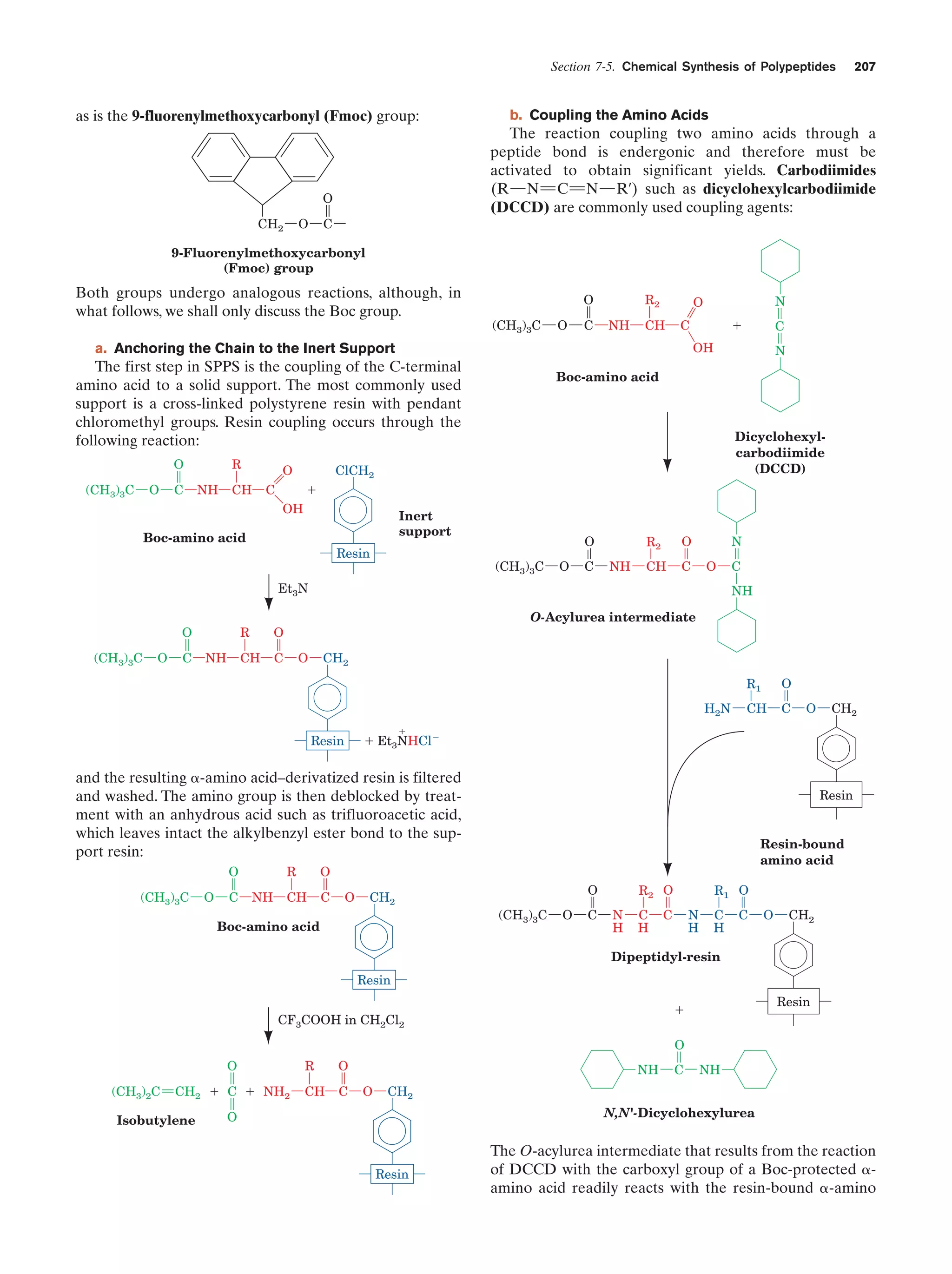 Section 7-5. Chemical Synthesis of Polypeptides

as is the 9-fluorenylmethoxycarbonyl (Fmoc) group:

b. Coupling the Amino Acids

The reaction coupling two amino acids through a
peptide bond is endergonic and therefore must be
activated to obtain significant yields. Carbodiimides
(R¬N“C“N¬R¿) such as dicyclohexylcarbodiimide
(DCCD) are commonly used coupling agents:

O
CH2

207

C

O

9-Fluorenylmethoxycarbonyl
(Fmoc) group

Both groups undergo analogous reactions, although, in
what follows, we shall only discuss the Boc group.

R2

O
(CH3)3C

O

C

NH

CH

C

The first step in SPPS is the coupling of the C-terminal
amino acid to a solid support. The most commonly used
support is a cross-linked polystyrene resin with pendant
chloromethyl groups. Resin coupling occurs through the
following reaction:
R

O

(CH3)3C

C

NH

C

Boc-amino acid

Dicyclohexylcarbodiimide
(DCCD)

ϩ
OH

Inert
support

Boc-amino acid
Resin

O
(CH3)3C

O

C

R2
NH

O

CH

C

N
O

Et3N
O
(CH3)3C

O

C

R

C
NH

O-Acylurea intermediate

O

CH

NH

C
N

ClCH2

O

CH

ϩ
OH

a. Anchoring the Chain to the Inert Support

O

N

O

C

O

CH2
R1
H2N

O

CH

C

ϩ

and the resulting ␣-amino acid–derivatized resin is filtered
and washed. The amino group is then deblocked by treatment with an anhydrous acid such as trifluoroacetic acid,
which leaves intact the alkylbenzyl ester bond to the support resin:
R

(CH3)3C

O

C

NH

C

Resin

Resin-bound
amino acid

O

CH

CH2

ϩ Et3NHClϪ

Resin

O

O

O

CH2

Boc-amino acid

O
(CH3)3C

O

C

R2 O
N
H

C
H

R1 O

C

N
H

C
H

C

O

CH2

Dipeptidyl-resin

Resin
Resin

ϩ

CF3COOH in CH2Cl2

O
O
(CH3)2C

CH2 ϩ C ϩ NH2

Isobutylene

R

O

CH

C

NH
O

C

NH

CH2
N,N'-Dicyclohexylurea

O

Resin

The O-acylurea intermediate that results from the reaction
of DCCD with the carboxyl group of a Boc-protected ␣amino acid readily reacts with the resin-bound ␣-amino

 