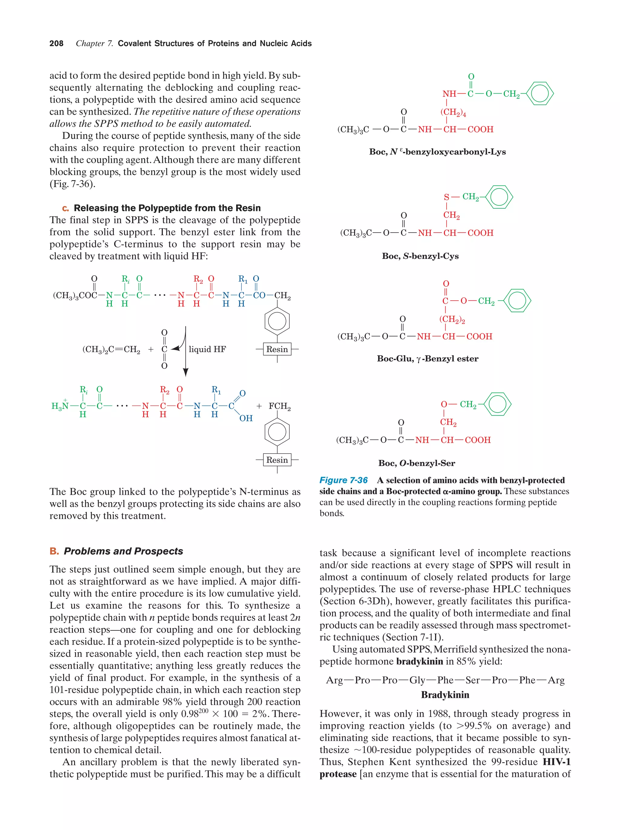208

Chapter 7. Covalent Structures of Proteins and Nucleic Acids

acid to form the desired peptide bond in high yield. By subsequently alternating the deblocking and coupling reactions, a polypeptide with the desired amino acid sequence
can be synthesized. The repetitive nature of these operations
allows the SPPS method to be easily automated.
During the course of peptide synthesis, many of the side
chains also require protection to prevent their reaction
with the coupling agent. Although there are many different
blocking groups, the benzyl group is the most widely used
(Fig. 7-36).

O
NH

O

C

NH

CH

S

O

Ri O

(CH3)3COC

N C C
H H

...

R2 O
N
H

C CO
H

(CH3)3C

O

C

NH

C

(CH 3) 3C

liquid HF

Resin

Ri
H 3N

O

C
H

C

...

R2 O
N
H

C
H

C

R1
N
H

C
H

O

C

NH

CH

O

ϩ FCH2
OH
(CH 3) 3C

The Boc group linked to the polypeptide’s N-terminus as
well as the benzyl groups protecting its side chains are also
removed by this treatment.

B. Problems and Prospects
The steps just outlined seem simple enough, but they are
not as straightforward as we have implied. A major difficulty with the entire procedure is its low cumulative yield.
Let us examine the reasons for this. To synthesize a
polypeptide chain with n peptide bonds requires at least 2n
reaction steps—one for coupling and one for deblocking
each residue. If a protein-sized polypeptide is to be synthesized in reasonable yield, then each reaction step must be
essentially quantitative; anything less greatly reduces the
yield of final product. For example, in the synthesis of a
101-residue polypeptide chain, in which each reaction step
occurs with an admirable 98% yield through 200 reaction
steps, the overall yield is only 0.98200 ϫ 100 ϭ 2%. Therefore, although oligopeptides can be routinely made, the
synthesis of large polypeptides requires almost fanatical attention to chemical detail.
An ancillary problem is that the newly liberated synthetic polypeptide must be purified. This may be a difficult

COOH

O

C

CH2

CH2

O

Resin

CH2

(CH2)2

O
C

O

Boc-Glu, γ -Benzyl ester

O

ϩ

COOH

O

CH2

O
CH2 ϩ C

CH

Boc, S-benzyl-Cys

O

(CH3)2C

CH2

CH2

O

R1 O

C C N
H
H

COOH

Boc, N ε-benzyloxycarbonyl-Lys

c. Releasing the Polypeptide from the Resin

The final step in SPPS is the cleavage of the polypeptide
from the solid support. The benzyl ester link from the
polypeptide’s C-terminus to the support resin may be
cleaved by treatment with liquid HF:

CH2

(CH2)4

O
(CH3)3C

O

C

NH

CH

COOH

Boc, O-benzyl-Ser

Figure 7-36 A selection of amino acids with benzyl-protected
side chains and a Boc-protected ␣-amino group. These substances
can be used directly in the coupling reactions forming peptide
bonds.

task because a significant level of incomplete reactions
and/or side reactions at every stage of SPPS will result in
almost a continuum of closely related products for large
polypeptides. The use of reverse-phase HPLC techniques
(Section 6-3Dh), however, greatly facilitates this purification process, and the quality of both intermediate and final
products can be readily assessed through mass spectrometric techniques (Section 7-1I).
Using automated SPPS, Merrifield synthesized the nonapeptide hormone bradykinin in 85% yield:
Arg¬Pro¬Pro¬Gly¬Phe¬Ser¬Pro¬Phe¬Arg
Bradykinin
However, it was only in 1988, through steady progress in
improving reaction yields (to Ͼ99.5% on average) and
eliminating side reactions, that it became possible to synthesize ϳ100-residue polypeptides of reasonable quality.
Thus, Stephen Kent synthesized the 99-residue HIV-1
protease [an enzyme that is essential for the maturation of

 