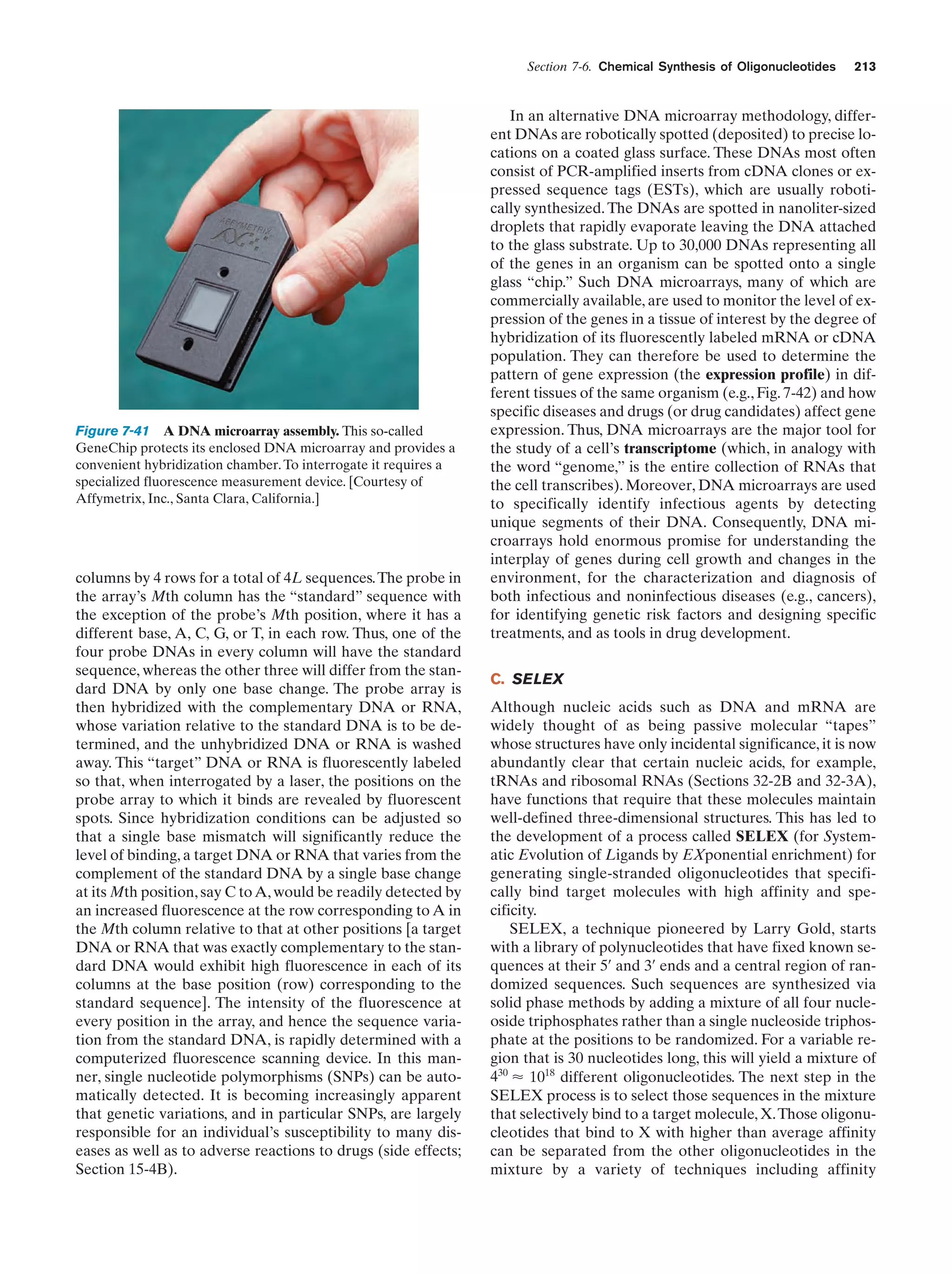 Section 7-6. Chemical Synthesis of Oligonucleotides

Figure 7-41 A DNA microarray assembly. This so-called
GeneChip protects its enclosed DNA microarray and provides a
convenient hybridization chamber. To interrogate it requires a
specialized fluorescence measurement device. [Courtesy of
Affymetrix, Inc., Santa Clara, California.]

columns by 4 rows for a total of 4L sequences. The probe in
the array’s Mth column has the “standard” sequence with
the exception of the probe’s Mth position, where it has a
different base, A, C, G, or T, in each row. Thus, one of the
four probe DNAs in every column will have the standard
sequence, whereas the other three will differ from the standard DNA by only one base change. The probe array is
then hybridized with the complementary DNA or RNA,
whose variation relative to the standard DNA is to be determined, and the unhybridized DNA or RNA is washed
away. This “target” DNA or RNA is fluorescently labeled
so that, when interrogated by a laser, the positions on the
probe array to which it binds are revealed by fluorescent
spots. Since hybridization conditions can be adjusted so
that a single base mismatch will significantly reduce the
level of binding, a target DNA or RNA that varies from the
complement of the standard DNA by a single base change
at its Mth position, say C to A, would be readily detected by
an increased fluorescence at the row corresponding to A in
the Mth column relative to that at other positions [a target
DNA or RNA that was exactly complementary to the standard DNA would exhibit high fluorescence in each of its
columns at the base position (row) corresponding to the
standard sequence]. The intensity of the fluorescence at
every position in the array, and hence the sequence variation from the standard DNA, is rapidly determined with a
computerized fluorescence scanning device. In this manner, single nucleotide polymorphisms (SNPs) can be automatically detected. It is becoming increasingly apparent
that genetic variations, and in particular SNPs, are largely
responsible for an individual’s susceptibility to many diseases as well as to adverse reactions to drugs (side effects;
Section 15-4B).

213

In an alternative DNA microarray methodology, different DNAs are robotically spotted (deposited) to precise locations on a coated glass surface. These DNAs most often
consist of PCR-amplified inserts from cDNA clones or expressed sequence tags (ESTs), which are usually robotically synthesized. The DNAs are spotted in nanoliter-sized
droplets that rapidly evaporate leaving the DNA attached
to the glass substrate. Up to 30,000 DNAs representing all
of the genes in an organism can be spotted onto a single
glass “chip.” Such DNA microarrays, many of which are
commercially available, are used to monitor the level of expression of the genes in a tissue of interest by the degree of
hybridization of its fluorescently labeled mRNA or cDNA
population. They can therefore be used to determine the
pattern of gene expression (the expression profile) in different tissues of the same organism (e.g., Fig. 7-42) and how
specific diseases and drugs (or drug candidates) affect gene
expression. Thus, DNA microarrays are the major tool for
the study of a cell’s transcriptome (which, in analogy with
the word “genome,” is the entire collection of RNAs that
the cell transcribes). Moreover, DNA microarrays are used
to specifically identify infectious agents by detecting
unique segments of their DNA. Consequently, DNA microarrays hold enormous promise for understanding the
interplay of genes during cell growth and changes in the
environment, for the characterization and diagnosis of
both infectious and noninfectious diseases (e.g., cancers),
for identifying genetic risk factors and designing specific
treatments, and as tools in drug development.
C. SELEX
Although nucleic acids such as DNA and mRNA are
widely thought of as being passive molecular “tapes”
whose structures have only incidental significance, it is now
abundantly clear that certain nucleic acids, for example,
tRNAs and ribosomal RNAs (Sections 32-2B and 32-3A),
have functions that require that these molecules maintain
well-defined three-dimensional structures. This has led to
the development of a process called SELEX (for Systematic Evolution of Ligands by EXponential enrichment) for
generating single-stranded oligonucleotides that specifically bind target molecules with high affinity and specificity.
SELEX, a technique pioneered by Larry Gold, starts
with a library of polynucleotides that have fixed known sequences at their 5¿ and 3¿ ends and a central region of randomized sequences. Such sequences are synthesized via
solid phase methods by adding a mixture of all four nucleoside triphosphates rather than a single nucleoside triphosphate at the positions to be randomized. For a variable region that is 30 nucleotides long, this will yield a mixture of
430 Ϸ 1018 different oligonucleotides. The next step in the
SELEX process is to select those sequences in the mixture
that selectively bind to a target molecule, X. Those oligonucleotides that bind to X with higher than average affinity
can be separated from the other oligonucleotides in the
mixture by a variety of techniques including affinity

 